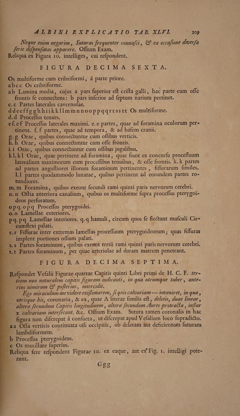 Neque enim negarim, Suturas frequenter connafci , & ea occafione diverfa ferle difpenfatas apparere. Oflium Exam. Reliqua ex Figura io. intelliges, cui reipondent. FIGURA DECIMA SEXTA. Os multiforme cum cribriformi, a parte priore. abcc Os cribriforme. ab Lamina media, cujus a pars fuperior eft crifta galli, hac parte cum offe frontis fe connedens: b pars inferior ad feptum narium pertinet. c. c Partes laterales cavernofae. ddeeffgghhiikkllmmnnooppqqrrsstt Os multiforme. d. d Proceffus tenues. ef. ef Proceffus laterales maximi, e. e partes, quae ad foramina oculorum per¬ tinent. f. f partes, quae ad tempora, & ad bafem cranii. g. g Orae, quibus conneduntur cum offibus verticis. h. h Orae, quibus conneduntur cum offe frontis. i. i Orae, quibus conneduntur cum offibus jugalibus. kl.kl Orae, quae pertinent ad foramina, quae fiunt ex concurfu procefluum lateralium maximorum cum proceffibus tenuibus, & offe frontis, k. k partes ad partes anguftiores illorum foraminum pertinentes , fi Aurarum fimiles. 1.1 partes quodammodo lunatae, quibus pertinent ad eorundem partes ro¬ tundiores. m. m Foramina, quibus exeunt fecundi rami quinti paris nervorum cerebri. n. n Oftia anteriora canalium, quibus os multiforme fupra proceffus pterygoi¬ deos perforatum. o p q. o p q Proceffus pterygoidei. o. o Lamellae exteriores. pq.pq Lamellae interiores, q.q hamuli, circum quos fe fledunt mufculi Cir¬ cumflexi palati. r. r Fiffurae inter extremas lamellas proceffuum pterygoideorum,- quas fiffuras implent portiones oflium palati. s. s Partes foraminum, quibus exeunt tertii rami quinti paris nervorum cerebri. 1.1 Partes foraminum, per quae arteriolae ad duram matrem penetrant. FIGURA DECIMA SEPTIMA. Refpondet Vefalii Figurae quartae Capitis quinti Libri primi de H. C. F. ter¬ tiam non naturalem capitis figuram Indicanti, In qua utrumque tuber, ante¬ rius nimirum & pofierius, Intercidit. Ego miraculum me videre exlflimarem, fi quis calvariam — Inveniret, In qua, utrisque his, coronaria, & ea, quae A literae fimilis eft, deletis, duae lineae, altera fecundum Capitis longitudinem, altera fecundum Aures protraBa, Infiar x calvariam interfecant. &c. Oflium Exam. Sutura tamen coronalis in hac figura non diferepat a confueta, ut diferepat apud Vefalium loco fupradido. a a Offa verticis continuata ofli occipitis, ob deletam aut deficientem futuram lambdiformem. b Proceflus pterygoideus. c Os maxillare fiiperius. Reliqua fere refpondent Figurae io. ex eaque, aut ex#Fig. i. intelligi pote¬ runt. Ggg