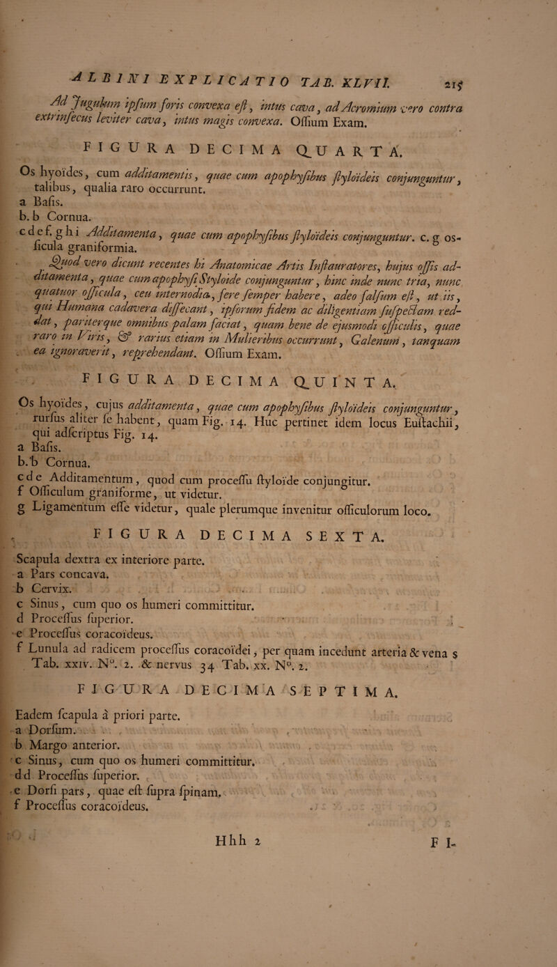 Ad Jugulum ipfum foris convexa efi, intus cava, adAcromium vero contra extrinjecus leviter cava, intus magis convexa. OlTium Exam. FIGURA DECIMA Q.UARTA. Os hyoides, cum additamentis, quae cum apophyftbm fiyloideis conjunguntur talibus, qualia raro occurrunt, a Bafis. b. b Cornua. c d e f. g li i Additamenta, quae cum apophyfibus jl Adi deis conjunguntur. c. g os- licula graniformia. - ‘ D vero dicunt recentes hi Anatomicae Artis Inflauratores, hujus offis ad¬ ditamenta , quae cum apoph^fi Styloide conjunguntur, hinc mde nunc tria, nunc quatuor officula , ceu internodia* ,fere femper habere, adeo falfum eft, ut iis, qui Humana cadavera diffecant , ipforum fidem ac diligentiam fufpedlam red¬ dat ^ par iter que omnibus palam faciat , quam bene de ejusmodi ojjicuhs , quae raro in Hiris , A rarius etiam m Adulter ibus occurrunt , Galenum , t an quam ea ignoraverit, reprehendant. Offium Exam. figura DECIMA Q.UINTA, Os hyoides , cujus additamenta, quae cum apophqfibus ftyloideis conjunguntur, ruiJus alit ei fe habent, quam Fig. 14. Huc pertinet idem locus Euftachii, qui adfcriptus Fig. 14. a Bafis. b.'b Cornua. ede Additamentum, quod cum proceflu ftyloide conjungitur, f Oificulum graniforme, ut videtur. g Ligamentum effe videtur, quale plerumque invenitur olficulorum loco. FIGURA DECIMA SEXTA. Scapula dextra ex interiore parte, a Pars concava, b Cervix. c Sinus, cum quo os humeri committitur. d ProcefTus fuperior. ' ] e Proceffus coracoideus. f Lunula ad radicem proceffus coracoidei, per quam incedunt arteria & vena s Tab. xxiv. N°. 2. & nervus 34 Tab. xx. N°. 2. FIGURA DECIMA SEPTIMA. Eadem fcapula a priori parte, a Dorium. , b Margo anterior. c Sinus, cum quo os humeri committitur, dd Procellus fuperior. e Dorfi pars, quae eft fiipra fpinam.c • , • f Proceffus coracoideus. ✓ vi