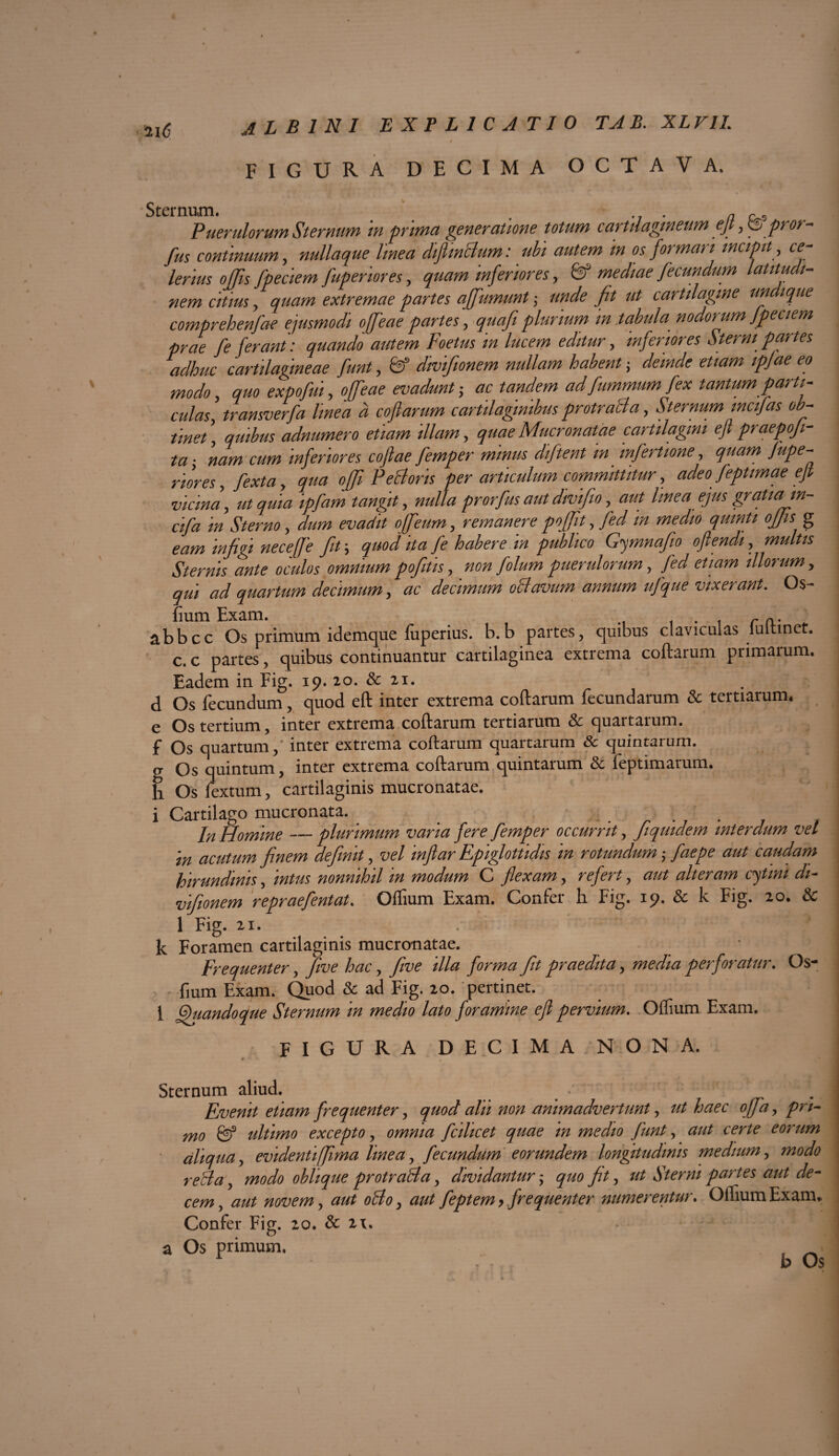 t FIGURA DECIMA OCTAVA. Sternum. a Puerulorum Sternum in prima generatione totum cartilagineumejt y^pror- fus continuum, nullaque linea diflmdum : ubi autem tn os formati incipit, ce lerius offis fpeciem fuperiores , quam inferiores y & mediae fecundum latitudi¬ nem citius , quam extremae partes affumunt-y unde fit ut cartilagine undique comprehenfae ejusmodi offeae partes, quafi plurium in tabula nodorum fpeciem prae fe ferant: quando autem Foetus in lucem editur, inferiores Sterni partes adhuc cartilagineae funt, 6? divifionem nullam habent5 M ipjae eo modo, quo expofui y offeae evadunt-y ac tandem ad fummum fex tantum parti¬ culas] transverf a linea d cofiarum cartilaginibus protrada, Sternum incifas ob¬ tinet quibus adnumero etiam illam, quae Mucronatae cartilagini efl praepoji- to . cofiaefemper minus diftent m infert'tone, quam fupe¬ riores, fexta y qua offi Pedoris per articulum committitur, adeo feptimae ejt vicina , ut quia ipfam tangit, prorfus aut divifeo, 00/ linea ejus gratia in- cifa in Sterno , dW evadit offeum, remanere poffit y fed in medio quinti offis g eam infigi neceffe fit\ quod ita fe habere in publico Gymnafio ofiendi, Sternis ante oculos omnium pofiitis , non folum puerulorum, fed etiam illorum y qui ad quartum decimum, tfc decimum odavum annum ufque vixerant. Os- fium Exam. r a. abbcc Os primum idemque fuperius. b.b partes, quibus claviculas iultinet. c. c partes, quibus continuantur cartilaginea extrema coftarum primarum. Eadem in Fig. 19. 20. & 21. I d Os fecundum, quod eft inter extrema coftarum fecundarum & tertiarum. e Os tertium, inter extrema coftarum tertiarum & quartarum, f Os quartum,' inter extrema coftarum quartarum & quintarum, g Os quintum, inter extrema coftarum quintarum & feptimarum. h Os fextum, cartilaginis mucronatae. 1 i Cartilago mucronata. . . . , //z Homine —plurimum varia fere femper occurrit, fiquidem interdum vel in acutum finem definit, infiar Epiglottidis in rotundum y faepe aut caudam hirundinis, nonnihil in modum C flexam, ^ alteram cytini di¬ vifionem repraefentat. Olfium Exam. Confer h Fig. 19. & k Fig. 20. & 1 Fig. 21. 1 } 1 k Foramen cartilaginis mucronatae. • Frequenter, jfoe hac, flve illa forma fit praedita, media perforatur. Os- fium Exam. Quod & ad Fig. 20. pertinet. | 1 Quandoque Sternum in medio lato foramine efl pervium. Offium Exam. i FIGURA DECIMA NONA. Sternum aliud. Evenit etiam frequenter, quod alii non animadvertunt, offay pri¬ mo & ultimo excepto, omnia fcilicet quae m medio funt, c^r/e eorum aliqua y evidentiffima linea, fecundum eorundem longitudinis medium, 77W0 , /#0^/0 oblique protrada, dividantur y quo fit, Sterni partes aut de¬ cem , 00/ #02^/», odo y aut feptem > frequenter numerentur. Ollium Exam* Confer Fig. 20. & 2\. a Os primum, , . h Os