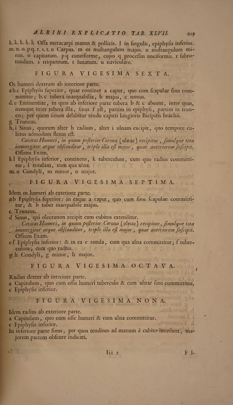 / ALBINI EXPLICATIO TAB. XLV11. 219 k. k. k. k. k Ofla metacarpi manus & pollicis. 1 in fingulis, epiphyfis inferior, ni.n.o.pq, r. s.t.u Carpus, m os multangulum majus. 11 multangulum mi¬ nus. o capitatum, pq cuneiforme, cujus q proceffus unciformis. r fubro- tundum. s triquetrum, t lunatum, u naviculare. FIGURA VIGESIMA SEXTA. \ Os humeri dextrum ab interiore parte. abc Epiphyfis fuperior, quae continet a caput, quo cum fcapulae finu com¬ mittitur • b. c tubera inaequabilia, b majus, c minus, d.e Eminentiae, in quas ab inferiore parte tubera b & c abeunt, inter quas, itemque inter tubera illa, fmus f eft , partim in epiphyfi, partim in trun¬ co ,• per quem linum delabitur tendo capitis longioris Bicipitis brachii, g Truncus. h. i Sinus, quorum alter h radium, alter i ulnam excipit, quo tempore cu¬ bitus admodum flexus eft. Cavitas Humer t, in quam pojlenor Corona (ulnae) recipitur, fimulque tota immergitur atque ab f conditur, triplo illa ejl major, quae anteriorem fufcipit. Oftium Exam. kl Epiphyfis inferior, continens, k tuberculum, cum quo radius committi¬ tur ; 1 rotulam, cum qua ulna, m. n Condyli, m minor, n major. ■v -> * 7 4 f r ■ \ y ' ' 5 rf • FIGURA VIGESIMA SEPTIMA. t <hm + N r» * 0 * r i f - . . Idem os humeri ab exteriore parte. * ab Fpiphyfis fuperior; in eaque a caput, quo cum finu fcapulae committi¬ tur 5 Se b tuber inaequabile majus, c Truncus. • r T * : d Sinus, qui olecranon recipit cum cubitus extenditur. Cavitas Humeri, in quam pojlenor Corona (ulnae) recipitur, fimulque tota immergitur atque abjconditur, triplo illa ejl major, quae anteriorem fufcipiU O ilium Exam. ef Epiphyfis inferior: & in ea e rotula, cum qua ulna committitur 5 f tuber¬ culum , cum quo radius, g. h Condyli, g minor, h major. FIGURA VIGESIMA OCTAVA. Radius dexter ab interiore parte. a Capitulum, quo cum offis humeri tuberculo & cum ulnae finu committitur, c Epiphyfis inferior. F I G U it A VIGESIMA NONA. Idem radius ab exteriore parte. a Capitulum, quo cum olfe humeri Se cum ulna committitur, c Epiphyfis inferior. . * : In inferiore parte finus, per quos tendines ad manum a cubito* incedunt, ma¬ jorem partem obfcure indicati.