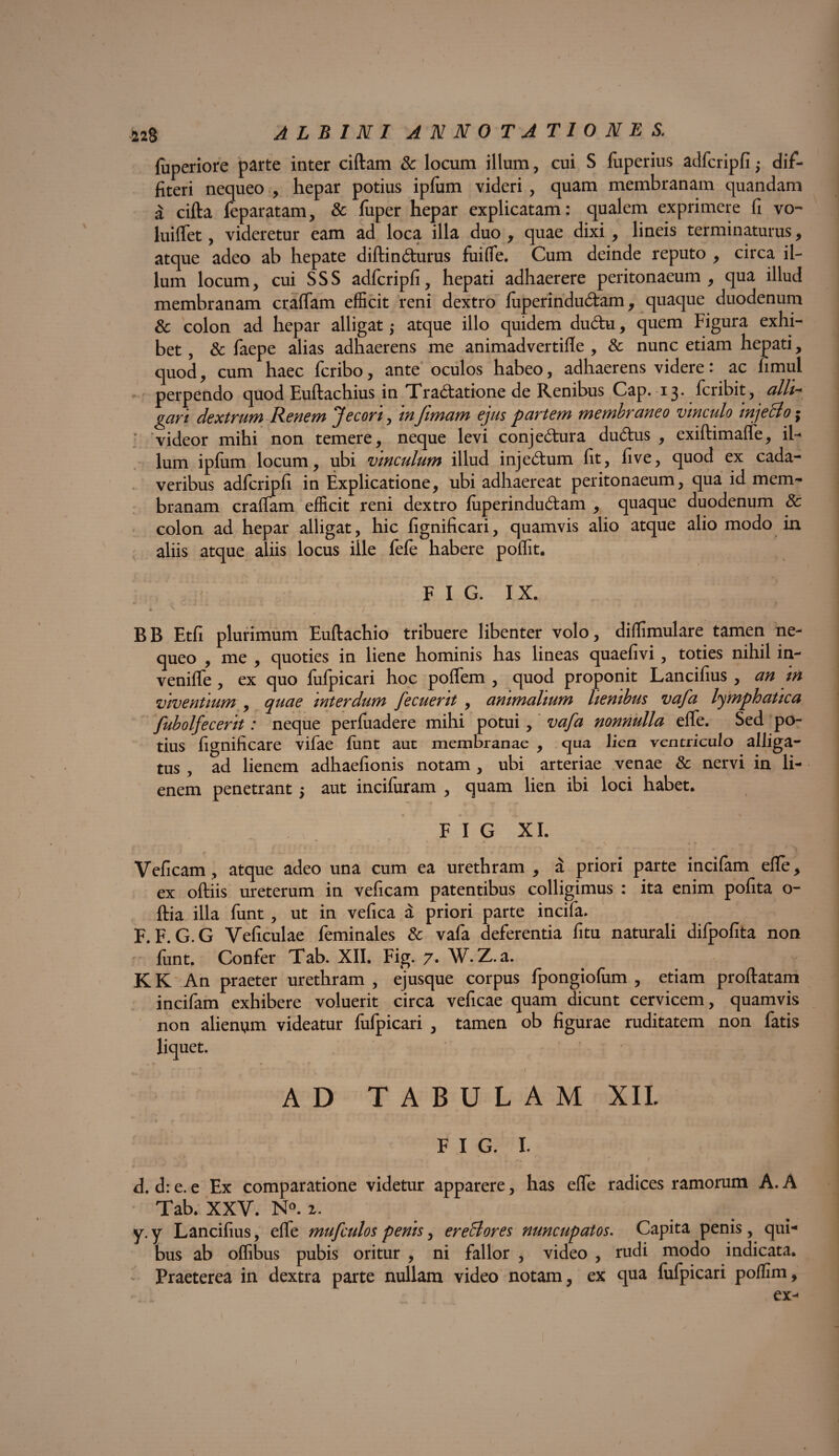 {uperiore parte inter ciftam & locum illum, cui S fuperius adfcripfi; dif¬ fiteri nequeo, hepar potius ipfum videri, quam membranam quandam a cifta feparatam, & fuper hepar explicatam: qualem exprimere fi vo- luiffet, videretur eam ad loca illa duo , quae dixi , lineis terminaturus, atque adeo ab hepate diftindurus fuifle. Cum deinde reputo , circa il¬ lum locum, cui SSS adfcripfi, hepati adhaerere peritonaeum, qua illud membranam crafiam efficit reni dextro fiiperindudam, quaque duodenum & colon ad hepar alligat ,• atque illo quidem dudu, quem Figura exhi¬ bet , & faepe alias adhaerens me animadvertifle , & nunc etiam hepati, quod, cum haec fcribo, ante oculos habeo, adhaerens videre: ac limul perpendo quod Euftachius in Tractatione de Renibus Cap. 13* fcribit, alli-+ gari dextrum Renem Jecori, infimam ejus partem membraneo vinculo injeci0; ■ videor mihi non temere, neque levi conjedura dudus , exiftimaffe, il¬ lum iplum locum, ubi vinculum illud injedum fit, five, quod ex cada¬ veribus adfcripfi in Explicatione, ubi adhaereat peritonaeum, qua id mem¬ branam craffam efficit reni dextro fiiperindudam , quaque duodenum 8c colon ad hepar alligat, hic fignificari, quamvis alio atque alio modo in aliis atque aliis locus ille fefe habere poffit. F I G. IX. i 1 BB Etfi plurimum Euftachio tribuere libenter volo, diffimulare tamen ne¬ queo , me , quoties in liene hominis has lineas quaefivi, toties nihil in- venilfe , ex quo fufpicari hoc poffem , quod proponit Lancifius , an in viventium , quae interdum fecuerit , animalium lienibus vafa lymphatica fubolfecerit: neque perfuadere mihi potui, vafa nonnulla elfe. Sed po¬ tius fignificare vifae fiint aut membranae , qua lien ventriculo alliga¬ tus , ad lienem adhaefionis notam , ubi arteriae venae & nervi in li¬ enem penetrant; aut incifuram , quam lien ibi loci habet. F I G XI. , , r . * *. ^ * *■ t Veficam, atque adeo una cum ea urethram , a priori parte incifam efle, ex oftiis ureterum in veficam patentibus colligimus : ita enim pofita o- ftia illa funt , ut in vefica a priori parte incifa. F. F. G.G Veficulae feminales & vafa deferentia fitu naturali difpofita non fiint. Confer Tab. XII. Fig. 7. W. Z.a. KK An praeter urethram , ejusque corpus fpongiolum , etiam proflatam incifam exhibere voluerit circa veficae quam dicunt cervicem, quamvis non alienum videatur fufpicari , tamen ob figurae ruditatem non fatis liquet. > - * J f' I - AD TABULAM XII. FIG. I. d. d: e. e Ex comparatione videtur apparere, has effe radices ramorum A. A Tab. XXV. N°. z. y.y Lancifius, elfe mufculos penis, ereBores nuncupatos. Capita penis, qui¬ bus ab offibus pubis oritur , ni fallor , video , rudi modo indicata. Praeterea in dextra parte nullam video notam, ex qua fufpicari poflim, ex-