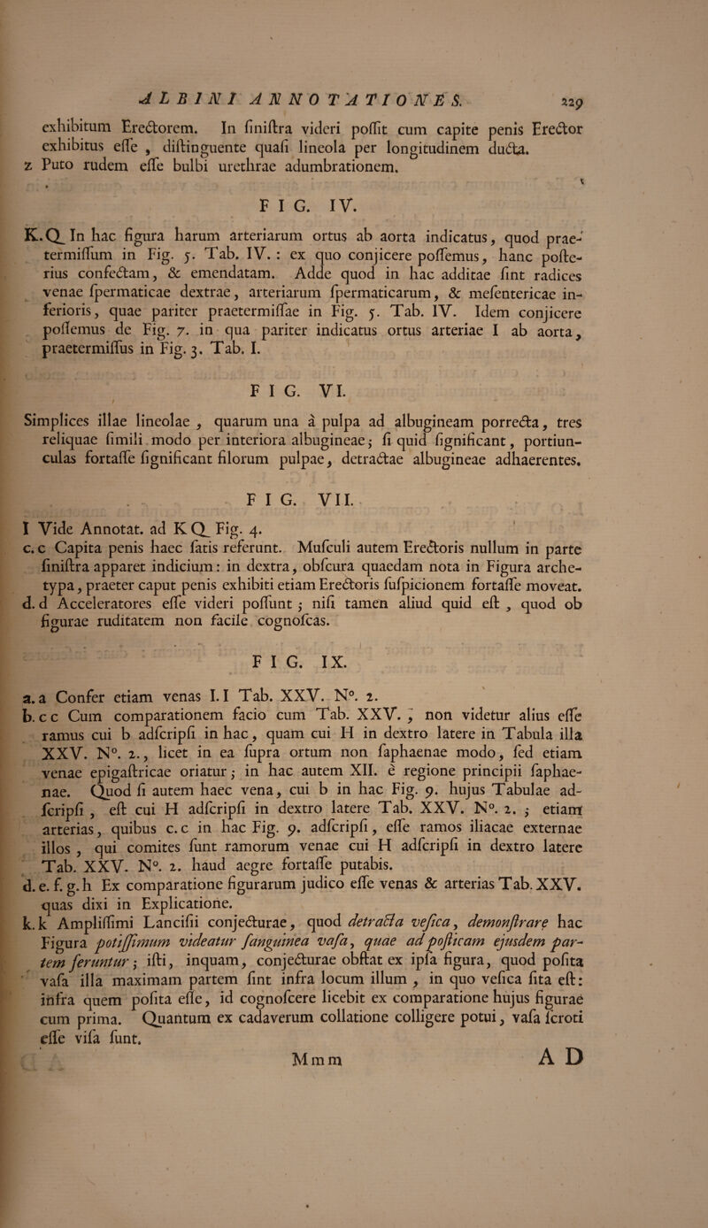 exhibitum Eredorem. In finiftra videri poffit cum capite penis Eredor exhibitus elfe , diftinguente quafi lineola per longitudinem dudla. z Puto rudem elfe bulbi urethrae adumbrationem. * F I G. IV. K.CL In hac figura harum arteriarum ortus ab aorta indicatus, quod prae- termilfum in Fig. y. Tab, IV.: ex quo conjicere polfemus, hanc pofte- rius confedam, & emendatam. Adde quod in hac additae fint radices venae fpermaticae dextrae, arteriarum fpermaticarum, & mefentericae in¬ ferioris, quae pariter praetermilfae in Fig. y. Tab. IV. Idem conjicere pollemus de Fig. 7. in qua pariter indicatus ortus arteriae I ab aorta, praetermilfus in Fig. 3. Tab. I. F I G. VI. Simplices illae lineolae , quarum una a pulpa ad albugineam porreda, tres reliquae fimili modo per interiora albugineae $ fi quid fignificant, portiun¬ culas fortalTe fignificant filorum pulpae, detradae albugineae adhaerentes, ,y o 1 w * f • ^ • . FI G. VII. I Vide Annotat, ad K (X Fig. 4. c. c Capita penis haec fatis referunt. Mufculi autem Ere&oris nullum in parte finiftra apparet indicium: in dextra, obfcura quaedam nota in Figura arche¬ typa , praeter caput penis exhibiti etiam Eredboris fufpicionem fortalfe moveat. d. d Acceleratores elfe videri polfunt ,- nili tamen aliud quid eft , quod ob figurae ruditatem non facile cognofcas. F I G. IX. a. a Confer etiam venas 1.1 Tab. XXV. N°. 2. b. cc Cum comparationem facio cum Tab. XXV. , non videtur alius elfe ramus cui b adfcripfi in hac, quam cui H in dextro latere in Tabula illa XXV. N°. 2., licet in ea fupra ortum non faphaenae modo, fed etiam venae epigaftricae oriatur,- in hac autem XII. e regione principii faphae¬ nae. Quod fi autem haec vena, cui b in hac Fig. 9. hujus Tabulae ad¬ fcripfi , eft cui H adfcripfi in dextro latere Tab. XXV. N°. 2. etiam arterias, quibus c. c in hac Fig. 9. adfcripfi, elfe ramos iliacae externae illos , qui comites lunt ramorum venae cui H adfcripfi in dextro latere Tab. XXV. N°. 2. haud aegre fortalfe putabis. d. e. f. g. h Ex comparatione figurarum judico elfe venas & arterias Tab. XXV. quas dixi in Explicatione. k.k Amplilfimi Lancifii conjedurae, quod detraffa vefica, demonflrare hac Figura potiffimum videatur [anguinea vafa, quae ad pojlicam ejusdem par¬ tem feruntur; ifti, inquam, conjedurae obftat ex ipla figura, quod pofita vafa illa maximam partem fint infra locum illum , in quo vefica fita eft: infra quem pofita elle, id cognofcere licebit ex comparatione hujus figurae cum prima. Quantum ex cadaverum collatione colligere potui, vafa lcroti dfe vifa funt. Mmm A D