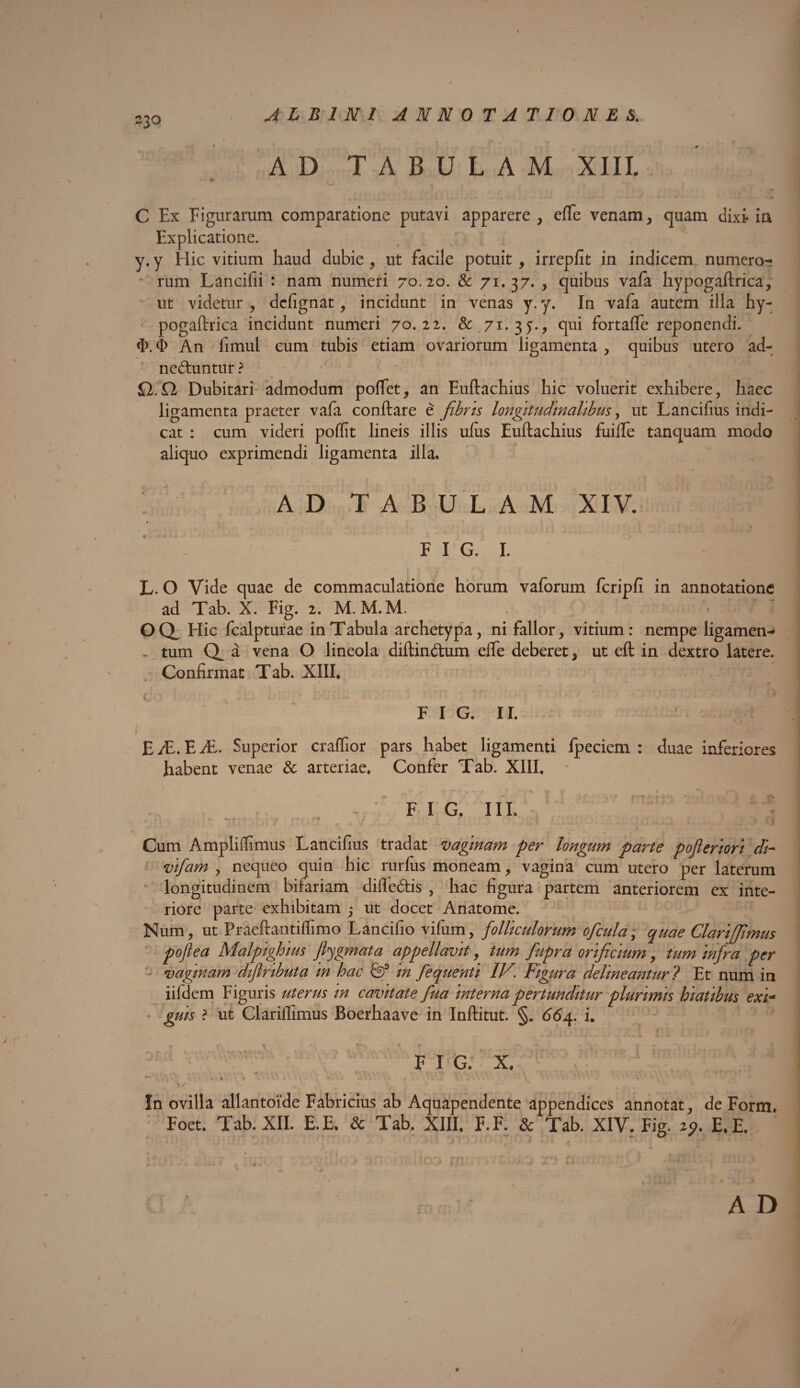 A D TABULAM XIII. C Ex Figurarum comparatione putavi apparere , effe venam, quam dixi- in Explicatione. y. y Hic vitium haud dubie , ut facile potuit , irrepfit in indicem numeron rum Lancifii : nam numeri 70.20. & 71. 37. , quibus vafa hypogaftrica, ut videtur , defignat, incidunt in venas y. y. In vafa autem illa hy¬ pogaftrica incidunt numeri 70.22. & 71.35., qui fortafte reponendi. 3>. 4> An fimul cum tubis etiam ovariorum ligamenta , quibus utero ad- ne&untur ? 12.12 Dubitari admodum poftet, an Euftachius hic voluerit exhibere, haec ligamenta praeter vafa conftare e fibris longitudinalibus, ut Lancifius indi¬ cat : cum videri poffit lineis illis ufus Euftachius fuiffe tanquam modo aliquo exprimendi ligamenta illa. * » \ AD TABULAM XIV. F I G. I. L. O Vide quae de commaculatione horum vaforum fcripfi in annotatione ad Tab. X. Fig. 2. M.M.M. - OCX Hic fcalpturae in Tabula archetypa, ni fallor, vitium: nempe ligamen-» . tum a a vena O lineola cliitinctuin efle deberet, ut eft in dextro latere. Confirmat Tab. XIII. - * mt • ^ f i g. ir. EiE. Ei£. Superior craffior pars habet ligamenti fpeciem : duae inferiores habent venae & arteriae. Confer Tab. XIII. - r r ' • * T 1 V v * . F I G. III. Cum Ampliffimus Lancifius tradat vaginam per longum parte pofleriori di- vifam , nequeo quin hic rurlus moneam, vagina cum utero per laterum longitudinem bifariam difledtis , hac figura partem anteriorem ex inte¬ riore parte exhibitam 5 ut docet Anatome. Num, ut Praeftantifiimo Lancifio vifum, folliculorum ofctda, quae Clarijfimus poflea Malpighius flygmata appellavit, tum fupra orificium, tum infra per vaginam diflnbuta m hac fe3 in fequenti IV. Figura delineantur ? Et num in iifdem Figuris uterus in cavitate fua interna pertunditur plurimis hiatibus exi- gms ? ut Clariffimus Boerhaave in Inftitut. §. 664. i. FI G. X, r>/' ' ■ , ^ I ' In ovilla allantoide Fabricius ab Aquapendente appendices annotat, de Form. Foet. Tab. XII. E. E. & Tab. XIII. F. F. & Tab. XIV. Fig. 2 <?. E. E. ' A D I