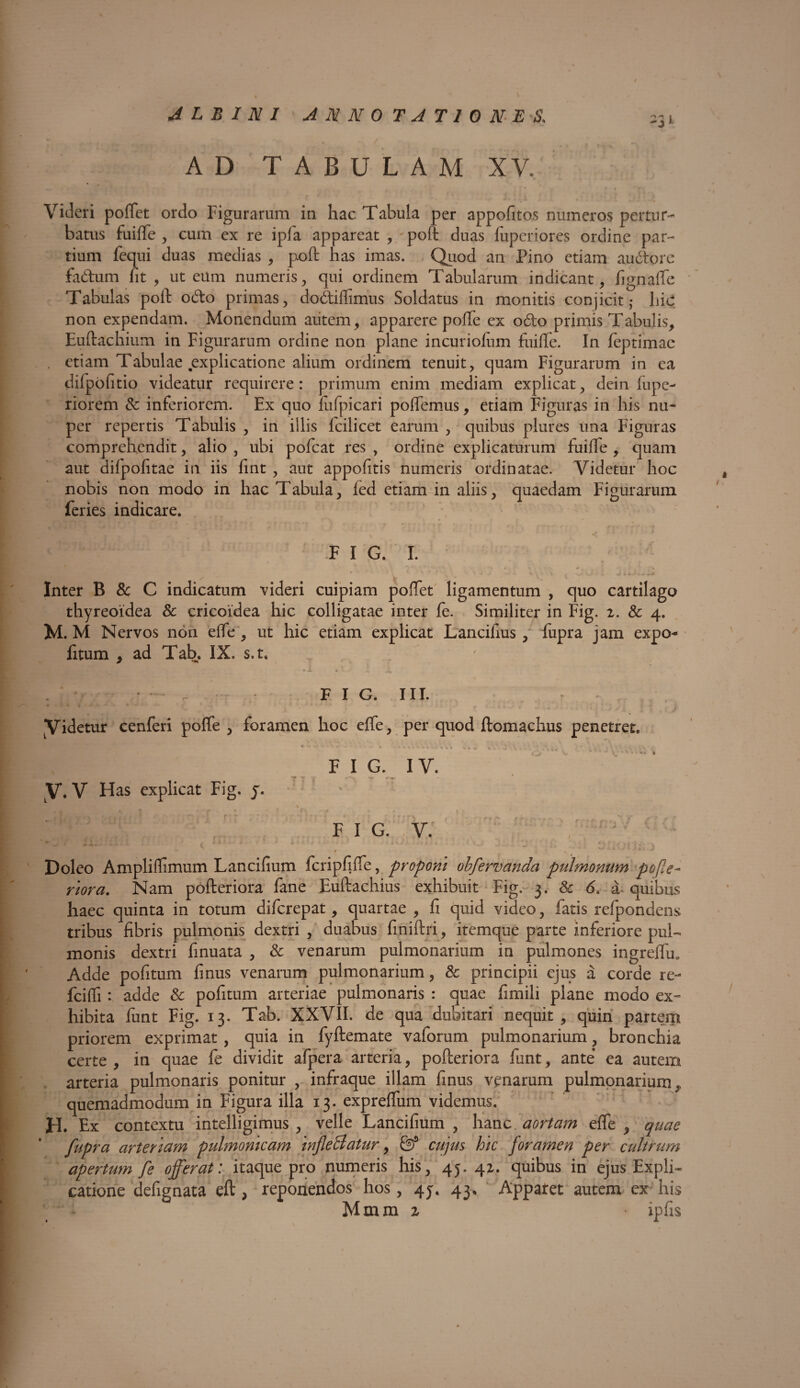 A L B I N I ANNOTATIONES, , , / AD TABULAM XV. Videri poffet ordo Figurarum in hac Tabula per appofitos numeros pertur¬ batus fuiffe , cum ex re ipfa appareat , poft duas fuperiores ordine par¬ tium fequi duas medias , poft has imas. Quod an Pino etiam auctore fa&um lit , ut eum numeris, qui ordinem Tabularum indicant, fignaffe Tabulas poft odo primas, dodiflimus Soldatus in monitis conjicit,- hic non expendam. Monendum autem, apparere poffe ex odo primis Tabulis, Euftachium in Figurarum ordine non plane incuriolum fuiffe. In feptimac . etiam Tabulae explicatione alium ordinem tenuit, quam Figurarum in ea difpofitio videatur requirere: primum enim mediam explicat, dein fupe- riQrem & inferiorem. Ex quo ftifpicari poffemus, etiam Figuras in his nu¬ per repertis Tabulis , in illis lcilicet earum , quibus plures una Figuras comprehendit, alio , ubi pofcat res , ordine explicaturum fuiffe , quam aut difpofitae in iis fint , aut appofitis numeris ordinatae. Videtur hoc nobis non modo in hac Tabula, fed etiam in aliis, feries indicare. F I G. I. Inter B & C indicatum videri cuipiam poffet ligamentum , quo cartilago thyreoidea & cricoidea hic colligatae inter fe. Similiter in Fig. z. & 4. M. M Nervos non effe , ut hic etiam explicat Lancifius, fupra jam expo* fitum , ad Tab, IX. s.t, • A. « l • ,4 - F I G. III. * ' • •  f , , . ■ ‘ x : Videtur cenferi poffe , foramen hoc effe, per quod ftomachus penetret. FIG. IV. y. V Has explicat Fig. j. % fig. v: ~ , fiU ( »* f * ■1 • ■ . : . Doleo Ampliflimum Lancifium fcripfiffe, proponi obfervanda pulmonum pofle- nor a. Nam pofteriora fane Euftachius exhibuit Fig. 3. & 6. a quibus haec quinta in totum diferepat, quartae , fi quid video, fatis refpondens tribus fibris pulmonis dextri , duabus finiftri, itemque parte inferiore pul¬ monis dextri finuata , & venarum pulmonarium in pulmones ingreffu. Adde pofitum finus venarum pulmonarium, & principii ejus a corde re- fciffi : adde Sc pofitum arteriae pulmonalis : quae fimili plane modo ex¬ hibita funt Fig. 13. Tab. XXVII. de qua dubitari nequit , quin partem priorem exprimat , quia in fyftemate v a forum pulmonarium, bronchia certe , in quae fe dividit afpera arteria, pofteriora funt, ante ea autem arteria pulmonaris ponitur , infraque illam finus venarum pulmonarium, quemadmodum in Figura illa 13. expreffum videmus. H. Ex contextu intelligimus , velle Lancifium , hanc aortam effe , quae fupra arteriam pulmomcam infleBatur, & cujus hic foramen per cultrum apertum fe offerat: itaque pro numeris his, 45. 41. quibus in ejus Expli¬ Mmm z ipfis quaedam Figurarum