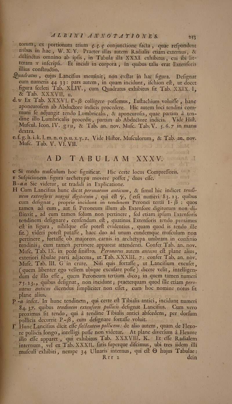 torum, cx portionum trium £ conjunctione taCta , quae refpondent tribus in hac, W. X. Y. Praeter illas autem Radialis etiam externus, & di (tinctus omnino ab ipfis , in Tabula illa XXXI. exhibitus, cui ibi lit¬ teram % infcripfi. Et incidi in corpora , in quibus talis erat Extenforis illius conftru&io. Gfiadratus , cujus Lancifius meminit, non exftat in hac figura. Defignat eum numeris 44 33 : pars autem, in quam incidunt, ilchion eft, ut docet figura fceleti Tab. XLIV., cum Quadratus exhibitus fit Tab. XXIX. 1, & Tab. XXXVII. u. d. \v Ex Tab. XXXVI.-F-/3 colligere poflemus, Euftachium volui fle , hanc aponeurofem ab AbduCtore indicis procedere. Hic autem loci tendini com¬ muni fe adjungit tendo Lumbricalis, & aponeurofis, quae partim a ten¬ dine illo Lumbricalis procedit, partim ab AbduCtore indicis. Vide Hift. Mufcul. Icon. IV. gru & Tab. an. nov. Mufc. Tab. V. 5.6.7 in manu dextra. e. f. g. h. i. k. 1. m. n. o p. u. x. y. z. Vide Hiftor. Mufculorum, & Tab. an. nov. Mufc. Tab. V. VI. VII. AD TABULAM XXXV. y' ! c Si modo mufculum hoc fignificat. Hic certe locus Comprefforis. r Sufpicionem figura archetypa movere pollet , duos effe. B-clcl Sic videtur, ut tradidi in Explicatione. H Cum Lancifius hunc dicat peronaeum anticum, & fimul hic indicet tendi¬ nem extenforis magni digitorum , qui eft y, (etfi numeri 83.23. quibus eum defignat , proprie incidunt in tendinem Peronei tertii I - /3 : quos tamen ad eum , aut fi Peroneum illum ab Extenfore digitorum non di- ftinxit , ad eum tamen folum non pertinere , fed etiam ipfiim Extenforis tendinem defignare, cenfendum eft , quatinus Extenforis tendo proximus eft in figura , nihilque effe poteft evidentius , quam quod is tendo ille fit.) videri poteft putafle , haec duo ad unum eundemque mufculum non pertinere , fortaffe ob majorem carnis in archetypa umbram in confinio tendinis ,* cum tamen pertinere appareat attendenti. Confer Tab. an. nov. Mufc. Tab. IX. in pede finiftro. Peronaeus autem anticus eft plane alius, exteriori fibulae parti adjacens, ut Tab. XXXIII. 7: confer Tab. an. nov. Mufc. Tab. III. G in crure. Nili quis fortaffe, ut Lancifium excufet, (quem libenter ego vellem ubique excufare poffe) dicere velit, intelligen- dum de illo effe , quem Peroneum tertium dico ,* in quem tamen numeri 75.23., quibus defignat, non incidunt; praeterquam quod ille etiam per0- naeus anticus dicendus fimpliciter non elfet, cum hoc nomine notus fit plane alius. P -ol infer. In hunc tendinem, qui certe eft Tibialis antici, incidunt numeri 84. 37. quibus tendinem extenforis pollicis defignat Lancifius. Cum vero proximus fit tendo, qui a tendine Tibialis antici abfcedens, per dorfum pollicis decurrit P-/3, eum defignare fortaffe voluit. r Hunc Lancifius dicit PXo. flectentem pollicem: de alio autem, quam de Flexo¬ re pollicis longo, intelligi poffe non videtur. At plane diverfum a Flexore illo effe apparet , qui exhibitus Tab. XXXVIII. K. Et effe Radialem internum, vel ex Tab. XXXII. fatis fuperque difeimus, ubi tres iidem illi mufculi exhibiti, nempe 34 Ulnaris internus, qui eft 0 hujus Tabulae: R r r 2 dein