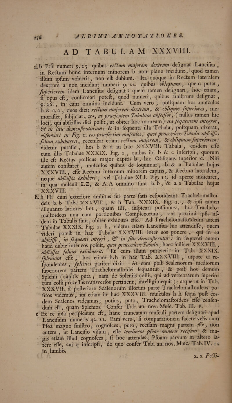 25$ AD TABULAM XXXVIII. a. b Etfi numeri 9. 23. quibus reBum majorem dextrum defignat Lancifius, in Rectum hunc internum minorem b non plane incidunt, quod tamen illum ipfiim voluerit, non eft dubium. Ita quoque in Rectum lateialcm dextrum a non incidunt numeri 9. 22. quibus obliquum , quem putat, fupenorem idem Lancifius defignat * quem tamen defignari, hoc etiam, fi opus eft, confirmari poteft, quod numeri, quibus fmiftrum defignat, o. 26. , in eum omnino incidunt. Cum vero , poftquam hos mufculos b & a.a , quos dicit reBum majorem dextrum, & obliquos [apertores, me- moraffet, lubjiciat, eos, ut praefentem Tabulam ab[ci[[os, ( nullus tamen hic loci, qdabfciflus dici poifit, ut obiter hoc moneam) ita fequentem integros, & in fitu demonflraturam ; & in lequenti illa Tabula, poftquam dixerat, obfervari in Fig. 1. eos praefertim mufculos, quos praecedens Tabula abfci[fos folum exhibuerit, recenfeat etiam reBum majorem, & obliquum fupenorem: videtur putaffe , hos b & a in hac XXXVIII. Tabula , eosdem effe cum illis Tabulae XXXIX. Fig. 1., quibus ibi b & c infcripfi, quorum ille eft Redus pofticus major capitis b , hic Obliquus fuperior c. Nifi autem conftaret , mufculos quibus de loquimur, b & a 'I abulae hujus XXXVIII., effe Rectum internum minorem capitis, & Rectum lateralem, neque abfeiffos exhiberi 5 vel Tabulae XLI. Fig. 13. id aperte indicaret, in qua mufculi S.S, & A.A omnino funt b.b, & a.a Tabulae hujus XXXVIII. fi.h Hi cum exteriore ambitus fui parte fatis refpondeant Trachelomaftoi- deis b. b Tab. XXXVII. , & h Tab. XXXIX. Fig. 1. , & ipfi tamen aliquanto latiores fint, quam illi, fufpicari pofTumus , hic Trachelo- maftoideos una cum portionibus Complexorum , qui proximi ipfis iif- dem in Tabulis funt, obiter exhibitos effe. Ad Trachelomaftoideum autem Tabulae XXXIX. Fig. x. h, videtur etiam Lancifius hic attendiife, quem videri poteft in hac Tabula'XXXVIII. inter eos ponere , qui in ea abfcijjt , in fequenti integri, in fitu demonftrentur : in fequenti autem haud dubie inter eos pofuit, quospraecedensTabula, haec fcilicet XXXVIII., abfeiffos folum exhibuerit. Et cum illum putaverit in Tab. XXXIX. fplenium effe , hos etiam h.h in hac Tab. XXXVIII. , utpote ei re- lpondentes , fplenios pariter dixit. At cum poft Scalenorum mediorum luperiorem partem Trachelomaftoidei fequantur , & poft hos demum Splenii (capitis puta ; nam de Spleniis colli, qui ad vertebrarum fuperio- rum colliproceffustransverfos pertinent, intelligi nequit),- atque ut in Tab. XXXVII. a pofteriore Scalenorum illorum parte Trachelomaftoldeos po- fitos videmus , ita etiam in hac XXXVIH1. mufculos h.h fequi poft eos¬ dem Scalenos videamus; potius, puto, Trachelomaftoldeos effe cenfen- dum eft, quam Splenios. Confer Tab. an. nov. Mule. Tab. III. e. t Ex re ipla perfpicuum eft, hanc truncatam mufculi partem defignari apud Lancifium numeris 42. 22. Eam vero, fi comparationem facere velis cum Pfoa magno fmiftro, cognofces, puto, recifam magni partem effe, non autem , ut Lancifio vilum , efte tendinem pfoae minoris recifam: 8c ma¬ gis etiam illud cognofces , fi hoc attendas, Pfoam parvum in altero la¬ tere effe, cui q infcripfi , de quo confer Tab. an. nov. Mule. Tab. IV. rs in lumbis. x. x PeBi-