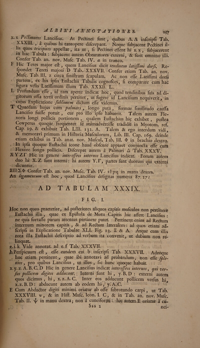 2*7 x. X PeBinaeos■' Lancifius. At Pe&inei funt , quibus A. A inrcripfi Tab. Xx XIII. , a quibus hi tantopere difcrepant. Neque fubj acent Pedinei il¬ is quos tricipites appellat, ita ut , fi Pedanei effent hi x. x , fiibjacerent in hac Tabula : lubjacent autem Obturatores externi, & funt omnino illi. Confei Tab. an. nov. Mule. Tab. IV. cc in trunco. • ■ F Hic Teres major eft , quem Lancifius dicit tendinem latiffimi dorfi. Re¬ condet Tereti majori D Tab.. XXXVlI. Confer etiam Tab. an. nov. Mule. Tab. III. z circa finiftram fcapulanx. Ac non elfe Latiffimi dorfi partem, ex his ipfis Euftachii Tabulis cognolces, fi comparare cum hac figura velis Latiffimum illum Tab. XXXIi. L. L Profundum elfe , id tam aperte indicat hoc, quod tendinibus fuis ad di¬ gitorum offa tertii ordinis pertinet, ut fugere id Lancifium nequiverit, * in cujus Explicatione fiublimem didum effe videmus. T Quaedam hujus cum palmari , longo puta, formae fimilitudo cauffa Lancifio fuiffe potuit , cur pro illo iplo habuerit. Talem autem Fle¬ xoris longi pollicis portionem , qualem Euftachius hic exhibet , poftea Cowperus quoque frequenter fe animadvertiffe tradidit in Myotom. ref. Cap. 29. & exhibuit Tab. LII1. 132. A. Talem 8c ego interdum vidi, & memoravi primum in Hiftoria Mufculorum, Lib. III. Cap. 169. deinde etiam exhibui in Tab. anat. nov. Mufcul. Tab. III. 0 in brachio dextro. , In ipfa quoque Euftachii icone haud obfcure apparet conjunda effe cum Flexore longo pollicis. Difcrepat autem a Palmari A Tab, XXXV. X YZr Hic in genere inter ojfieos 'internos Lancifius indicat. Torum autem duo hi: X.Z funt interni: hi autem Y.T, partes funt duorum qui externi dicuntur. &EI24> Confer Tab. an. nov. Mule. Tab. IV. sl p q in manu dextra. An ligamentum eft hoc, quod Lancifius defignat numeris 87.27? t., * * > r - I * 1 - . \ v - - • AD TABULAM XXXIX. > \ >> « ^ S. i F I G. I. , .4 2 1 x. JJoc non queo praeterire, ad pofteriores aliquos capitis mulculos non pertinere Euftachii illa , quae ex Epiftola de Motu Capitis hic affert Lancifius : ne quis fortaffe parum attentus pertinere putet. Pertinent enim ad Redum internum minorem capitis , & ad Redum lateralem: ad quos etiam ad> Icripli in Explicatione Tabulae XLI. Fig, 13. 2 & A. Atque cum illis tota illa Euftachii defcriptio ad verbum ita convenit, ut dubium non re¬ linquat. e. i. k Vide annotat, ad e. f Tab. XXXVII. ► k 1 JhPerlpicuum eft, effe eundem cui b infcripfi Tab. XXXVII. Adeoque huc etiam pertinent, quae ibi- annotavi ad probandum, non effe fiple* nios, pro quibus Lancifius , ut illos , fic hunc quoque habuit. -: x.y. z. A. B. C. D Hic in genere Lancifius indicat mterojfeos internos y qui ver* fus pollicem digitos adducant. ; Interni funt hi , y. B. D : externi autem quos dicimus , hi, x. z. A. C. Inter eos adducunt pollicem verfus hi x.z.B.D: abducunt autem ab eodem hi,;y.AvC. E Cum Abdudor digiti minimi oriatur ab offe fubrotundo carpi, ut Tab. XXXVIII. \v, & in Hift. Mufc. Icon. I. C, Sc in Tab. an. nov. Mufc. Tab. II. \J/ in manu dextra; non a cuneiformi: hic autem.E oriatur a cu- S s s 2 nei-