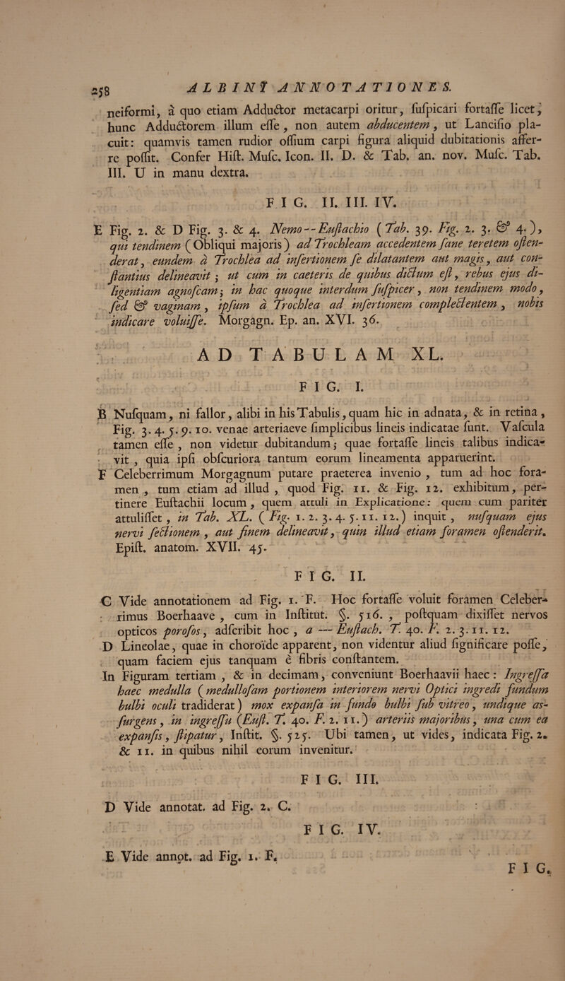 I 2J8 albini annotationes. neiformi, a quo etiam Addu&or metacarpi oritur, fufpicari fortafTe licet, hunc Addudorem illum elTe, non autem abducentem, ut Lancifio pla¬ cuit: quamvis tamen rudior oflium carpi figura aliquid dubitationis affer¬ re poflit. Confer Hift. Mufc. Icon. II. D. & Tab. an. nov. Mufc. Tab. III. U in manu dextra. F I G. II. III. IV. E Fig. 2. & D Fig. 3. & 4. Nemo^-Eufiachio ( Tab. 39. Fig. 2. 3. & 4. )> qui tendinem (Obliqui majoris) ad Trochleam accedentem [ane teretem ofien- der at, eundem d Trochlea ad infertionem [e dilatantem aut magis, aut con- fiantius delineavit ; ut cum in caeteris de quibus diBum efl, rebus ejus di¬ ligentiam agnofcam; in hac quoque interdum fuf picer, non tendinem modo, fed & vaginam, ipfum d Trochlea ad infertionem compleBentem , nobis indicare voluijfe. Morgagn. Ep. an. XVI. 3 6. AD TABULAM XL. • * - * * * . 4 . “V 4 - m * ■ f* ' 'T ' 0 ■* r * J * ) V J \ « •>.#« ! , ' ! / mr - * i « ^ -i- • — ^ * * > F I G. I. B Nufquam, ni fallor, alibi in his Tabulis, quam hic in adnata, & in retina , Fig. 3.4. 5. 9.10. venae arteriaeve fimplicibus lineis indicatae funt. Vafcula tamen efTe , non videtur dubitandum$ quae fortafTe lineis talibus indica¬ vit , quia ipfi obfcuriora tantum eorum lineamenta apparuerint. B Celeberrimum Morgagnum putare praeterea invenio , tum ad hoc fora¬ men , tum etiam ad illud , quod Fig. 11. & Fig. 12. exhibitum, per¬ tinere Euftachii locum , quem attuli in Explicatione; quem cum pariter attulifTet , in Tab. XL. ( Fig. 1.2. 3.4.5.11.12.) inquit, nufquam ejus nervi feBionem , aut finem delineavit, quin illud etiam foramen ofienderit. Epift. anatom. XVII. 45. F I G. II. t . ** T C Vide annotationem ad Fig. i. F. Hoc fortafTe voluit foramen Celeber-* rimus Boerhaave , cum in Inftitut. §. 516. , poftquam dixiffet nervos opticos porofos, adfcribit hoc , a — Euufiach. T. 40. F. 2. 3.11. 12. D Lineolae, quae in choroide apparent, non videntur aliud fignificare poffe, quam faciem ejus tanquam e fibris conflantem. In Figuram tertiam , & in decimam, conveniunt Boerhaavii haec: Ingreffa haec medulla ( medullofam portionem interiorem nervi Optici ingredi fundum bulbi oculi tradiderat) mox expanfa in fundo bulbi fub vitreo, undique as- [urgens, in ingreffu (Eufi. T 40. F. 2. 11.) arteriis majoribus, una cum ea expanfs, flipatur, Inftit. §. 525. Ubi tamen, ut vides, indicata Fig. 2. & 11. in quibus nihil eorum invenitur. F I G. III. D Vide annotat, ad Fig. 2. C. F I G. IV. E Vide annpt. ad Fig, 1» F. F I G.