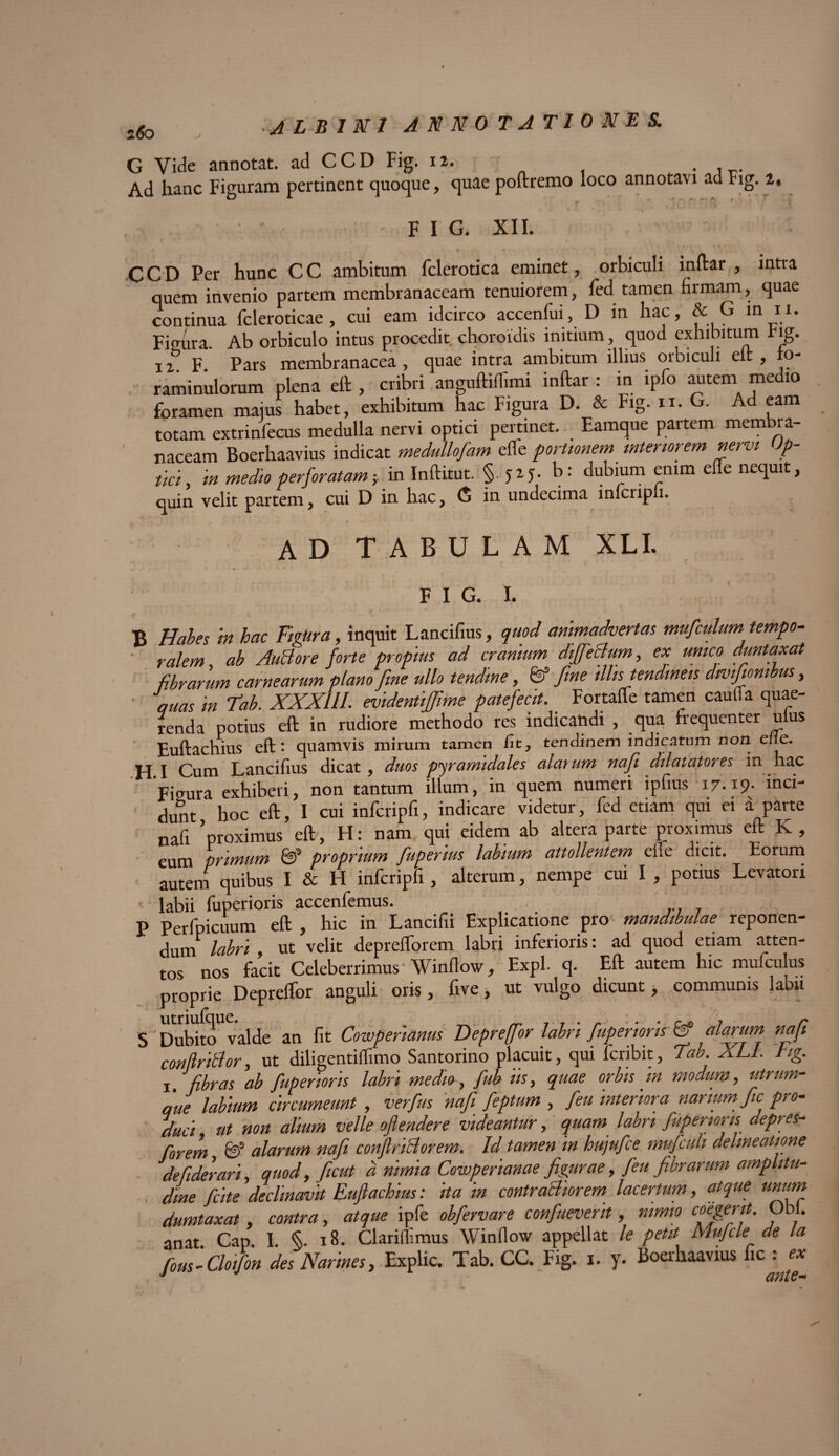 G Vide annotat, ad CCD Fig. 12. Ad hanc Figuram pertinent quoque, quae poftremo loco annotavi ad Fig. l, ' FIG. XII. CCD Per hunc C C ambitum fclerotica eminet, orbiculi inftar , intra quem invenio partem membranaceam tenuiorem, led tamen firmam, quae continua fcleroticae, cui eam idcirco accenfui, D in hac, & G in 11. Fimira. Ab orbiculo intus procedit choroidis initium, quod exhibitum r lg. 1F Pars membranacea, quae intra ambitum illius orbiculi elt , fo- raminulorum plena eft , cribri anguftiffimi inftar : in ipfo autem medio foramen maius habet, exhibitum hac Figura D. & Fig. 11. G. Ad eam totam extrinfecus medulla nervi optici pertinet. Eamque partem membra¬ naceam Boerhaavius indicat medullofam effe portionem interiorem nervi Op¬ tici, in medio perforatam-,, in Inftitut. §.yzj. b: dubium enim efle nequit, quin velit partem, cui D in hac, G in undecima inicripii. ad tabulam xli. FIG. I. B Habes in hac FigUra, inquit Lancifius, quod animadvertas mufculum tempo- ' ralem, ab AuBore forte propius ad cranium diffeBum, ex umeo duntaxat fibrarum carnearum plano fine ullo tendine, & fine illis tendineis dtvtfiombus, quas m Tab. XXXIII. evidentiffime patefecit. Fortafte tamen cauda quae¬ renda potius eft in rudiore methodo res indicandi , qua frequenter uius Euftachius eft: quamvis mirum tamen fit, tendinem indicatum non elle. H I Cum Lancifius dicat, duos pyramidales alai um nafi dilatatores in hac Figura exhiberi, non tantum illum, in quem numeri ipfius 17.19- ’I1C’“ dunt hoc eft, I cui infcripfi, indicare videtur, fed etiam qui ei a parte nafi * proximus eft, H: nam qui eidem ab altera parte proximus eft K, eum primum & proprium fupemus labium attollentem eue dicit. Eorum autem quibus I & H infcripfi, alterum, nempe cui I , potius Levatori - labii fuperioris accenfemus. P Perfpicuum eft , hic in Lancifii Explicatione pro mandibulae reponen¬ dum labri ut velit depreflorem labri inferioris: ad quod etiam atten¬ tos nos facit Celeberrimus'Winflow, Expl. q. Eft autem hic mufculus proprie Deprelfor anguli oris, five, ut vulgo dicunt, communis labii S calde an fit Cowperianus Deprefifor labri fuperioris & alarum nafi conflriBor, ut diligentilfimo Santorino placuit, qui feribit, Tab. XLI. Lg. x fibras ab fuperioris labri medio, fub iis, quae orbis m modum, utrum¬ que labium circumeunt , verfus nafi feptum , feu interiora narium fic pro¬ duci ut non alium velle ofiendere videantur, quam labri fuperioris. depres- fiorem &f alarum nafi conftriBorem. Id tamen in hujufce mufculi delineatione defiderari, quod, ficut d nimia Cowpenanae figurae, feu fibrarum amplitu¬ dine fcite declinavit Euftachius: ita in contraBiorem lacertum, atque unum dumtaxat, contra, atque ipfe obfervare confueverit, nimio °bl* anat Cap I §. iB. Clarillimus Winflow appellat le petit Mufcle de la