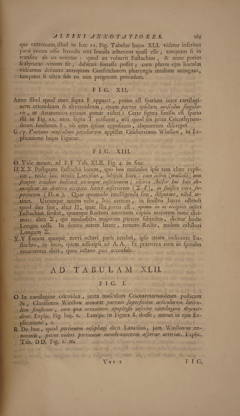 que extremum, illud in hac 11. Fig, Tabulae hujus XLL videtur inferiori parti cornu odis hyoidis una lineola adnexum quafi dTe , tanquam fi in tranfitu ab eo oriretur : quod an voluerit Euftachius , & anne potius fcalpturae vitium fit , dubitari fortaffe pollet ,• cum plures ejus lineolas videamus delinere antequam Condridorem pharyngis medium attingant, tanquam fi ultra fub eo non pergerent procedere. F I G. XII. Anne illud quod mox fupra F apparet , potius ed fpatium inter cartilagi¬ nem cricoideam Sc thyreoideam , quam parvus quidam mufculus fingula- r/s , ut Anatomico eximio potuit videri ? Certe figura fimilis ed fpatio illi in Fig. 11. mox fupra T exi denti, nifi quod ibi juxta Cricothyreoi- deum finiftrum S , ob eum ipfum appofitum , aliquantum difcrepet. G~y Parvum'mufculum peculiarem appellat Celeberrimus Winllow, in Ex¬ plicatione hujus Figurae. F I G. XIII. 0 Vide annot. ad F. F Tab. XLII. Fig. 2. in fine. \ FI.2,2 Poftquam Eudachii locum, quo hos mufcuios ipfe tam clare expli¬ cat , rede hic attulit Lancifius , fubjicit haec : cum udem (mufculi) non femper eandem habeant utrmque inferti unem • idcirco /hietor hoc loco de- .monfirat m dexter0 occipitis latere inferiorem (2-cf), m fmiflro vero fu- periorem (Fl-a). Quae quomodo intelligcnda fint, difputare, nihil at¬ tinet. Utcunque autem velis , hoc certum , in finiftro latere odendi quod duo fint, alter n, quae illa portio ed , quam m os occipitis inferi ‘Eudachius feribit, quamque Redum internum capitis majorem nunc dici¬ mus: alter 2, qui mododido majorem partem fubjedus , dicitur hodie Lonmis colli. In dextro autem latere, remoto Redo, nudum exhiberi Longum 2. Y. Y Exeunt quoque nervi odavi paris cerebri, ipfo etiam indicante Eu- ftachio, in loco, quem adfcripfi ad A. A. Et praeterea cum iis fpinales recurrentes didi, quos odavo pari accenfuit. AD TABULAM XLII. f* f« f * ii u t * FIG. I. A V ■ >' rr O In cartilagine cricoidea , juxta mufculum Cricoarytaenoideum podicum N , Clariflimus Winflow annotat parvam fuperficiem articularem latera¬ lem fimflram , cum qua articuletur apophyjis inferior cartilaginis thyreoi¬ deae. Explic. Fig. huj. n. Eamque in Figura 8. deelfe, monet in ejus Ex¬ plicatione , c. R De hoc, quod portionem oefophagi dicit Lancifius, jam AVindowus an¬ notavit , potius videri portionem membranaceam afperae arteriae. Explic. Tab. DD. Fig. 1. m. » V A . N. J