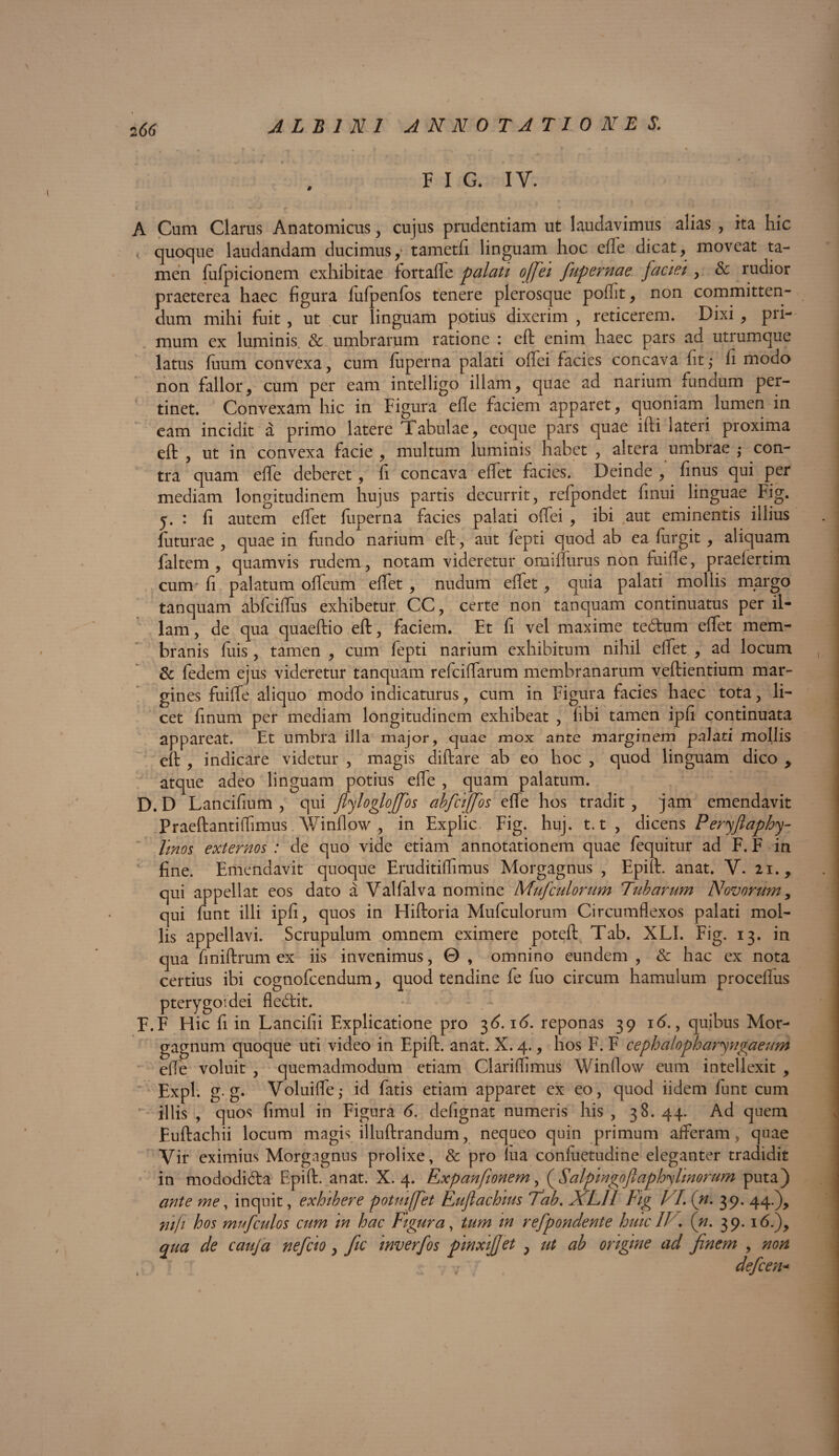 F I G. IV. A Cum Clarus Anatomicus, cujus prudentiam ut laudavimus alias , ita hic quoque laudandam ducimus, tametfi linguam hoc efle dicat, moveat ta¬ men fufpicionem exhibitae fortafle palati ojfei fupernae faciei , & rudior praeterea haec figura lufpenfos tenere plerosque poflit, non committen¬ dum mihi fuit , ut cur linguam potius dixerim , reticerem. Dixi , pri¬ mum ex luminis & umbrarum ratione : cft enim haec pars ad utrumque latus firam convexa, cum luperna palati oflei facies concava fit,- fi modo non fallor, cum per eam intelligo illam, quae ad narium fundum per¬ tinet. Convexam hic in Figura efle faciem apparet, quoniam lumen in cam incidit a primo latere Tabulae, coque pars quae ifti lateri proxima eft , ut in convexa facie , multum luminis habet , altera umbrae ,• con¬ tra quam efle deberet, fi concava eflet facies. Deinde , finus qui per mediam longitudinem hujus partis decurrit, refpondet finui linguae Fig. j. : fi autem eflet fuperna facies palati oflei , ibi aut eminentis illius futurae , quae in fundo narium eft, aut fepti quod ab ea furgit, aliquam faltem , quamvis rudem, notam videretur omiflurus non fuifle, praefertim cum fi palatum ofleum eflet , nudum eflet, quia palati mollis margo tanquam abfcifliis exhibetur CC, certe non tanquam continuatus per il¬ lam , de qua quaeftio eft, faciem. Et fi vel maxime tedtum eflet mem¬ branis fuis, tamen , cum fepti narium exhibitum nihil eflet , ad locum & fedem ejus videretur tanquam refciflarum membranarum veftientium mar¬ gines fuifle aliquo modo indicaturus, cum in Figura facies haec tota, li¬ cet finum per mediam longitudinem exhibeat , libi tamen ipfi continuata appareat. Et umbra illa major, quae mox ante marginem palati mollis eft , indicare videtur , magis diftare ab eo hoc , quod linguam dico > atque adeo linguam potius efle , quam palatum. D. D Lancifium , qui fyloglojfos abfciffos efle hos tradit , jam emendavit Praeftantiflimus Winflow , in Explic, Fig. huj. 1.1 , dicens Peryflaphy- Unos externos : de quo vide etiam annotationem quae fequitur ad F. F in fine. Emendavit quoque Eruditiflimus Morgagnus , Epift. anat. V. 21., qui appellat eos dato a Valfalva nomine Mufculorum Tabarum Novorum, qui funt illi ipfi, quos in Hiftoria Mufculorum Circumflexos palati mol¬ lis appellavi. Scrupulum omnem eximere poteft Tab. XLI. Fig. 13. in qua finiftrum ex iis invenimus, 0 , omnino eundem , & hac ex nota certius ibi cognofcendum, quod tendine fe luo circum hamulum proceflus pterygoidei fledlit. F.F Hic fi in Lancifii Explicatione pro 36.16. reponas 39 16., quibus Mor¬ gagnum quoque uti video in Epift. anat. X. 4., hos F. F cephalopharyngaeum efle voluit , quemadmodum etiam Clariflimus Winflow eum intellexit , Expl. g. g. Volui fle; id fatis etiam apparet ex eo, quod iidem funt cum illis , quos fimul in Figura 6. defignat numeris his , 38. 44. Ad quem Euftachii locum magis illuftrandum, nequeo quin primum afteram, quae Vir eximius Morgagnus prolixe, & pro iua conluetudine eleganter tradidit in mododida Epift. anat. X. 4. Expanfionem, (.Salpingoflaphy linorum puta) ante me, inquit, exhibere potmffet Eufiachius Tab. XL1I Fig VI. (n. 39. 44.), nifi hos mufculos cum 'm hac Figura, tum m refpondente hiitc IT. (n. 39. 16.), qua de cauja ne feto, fic inverfos pinxi]]et ? ut ab origine ad finem , non 7 r defeen-