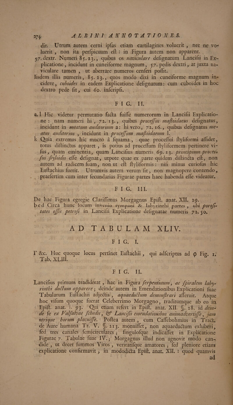 dit. Utrum autem cerni ipfas etiam cartilagines voluerit , nec ne vo-' luerit , non ita perfpicuum eft : in Figura autem non apparent. 57. dextr. Numeri 85.23., quibus os naviculare defignatum Lancifii in Ex¬ plicatione, incidunt in cuneiforme magnum, 57. pedis dextri, at juxta na¬ viculare tamen , ut aberrare numeros cenferi poffit. Iisdem illis numeris, 85.23., quos modo dixi in cuneiforme magnum in¬ cidere, cuboides in eadem Explicatione defignatum: cum cuboides in hoc dextro pede fit, cui 60. infcripfi. F I G. j II. a. 1 Hic videtur permutatio fa&a fuiffe numerorum in Lancifii Explicatio¬ ne : nam numeri hi , 72. 13., quibus proceffus mafloidaeus defignatus, incidunt in meatum auditorium a: hi vero, 72. 16., quibus defignatus me- atus auditorius , incidunt in procejfum mafioidaeum 1. k Quia extremus hic mucro a fquama , quae proceffui IFyliformi aflidet, totus diftin&us apparet , is potius ad proceflum ftyl i formem pertinere vi- fus, quam eminentia, quam Lancifius numeris 69.13. principium proces? fus fiyloidis effe defignat, utpote quae ex parte quidem diftinda eft , non autem ad radicem luam, non ut eft ftyliformis : nifi minus curiofiis hic Euftachius fuerit. Utrumvis autem verum fit, non magnopere contendo, praefertim cum inter fecundarias Figurae partes haec habenda effe videatur* F I G. III. De hac Figura egregie Clariffimus Morgagnus Epift. anat. XII. 29. bed Circa hunc locum invenio tympani Sc labyrinthi partes , ubi porojl* tates ojjis petrofi in Lancifii Explicatione defignatae numeris 72. 50* AD TABULAM XLIV- F I G. I. F &c. Huc quoque locus pertinet Euftachii, qui adferiptus ad (b Fig. 1; Tab.XLIII. v FIG. IL Lancifius primum tradiderat , hac in Figura ferpentinum, ac fpiralem laby* rinthi duBum apparere; deinde autem in Emendationibus Explicationi fuae Tabularum Euftachii adjecftis , aquaeduBum demonflrari afferuit. Atque hoc vifum quoque fuerat Celeberrimo Morgagno, traditumque ab eo in Epift. anat. I. 93. Qui etiam refert in Epift. anat. XII. §.28. id dein* de fe ex Valfahae fchedis, & Lancifii emendationibus animadvertijfe, jam utrique horum placuijfe. Poftea autem , cum Caffebohmius in Tra<5t. de Aure humana Tr. V. §.213. monuilfet, non aquaedu&um exhiberi, fed tres canales femicirculares ,• fingulofque indicalfet in Explicatione Figurae 7. Tabulae luae IV.- Morgagnus illud non agnovit modo can¬ dide , ut decet fiimmos Viros , veritatifque amatores $ fed pleniore etiam explicatione confirmavit, in mododi&a Epift. anat. XII. : quod quamvis ad 1