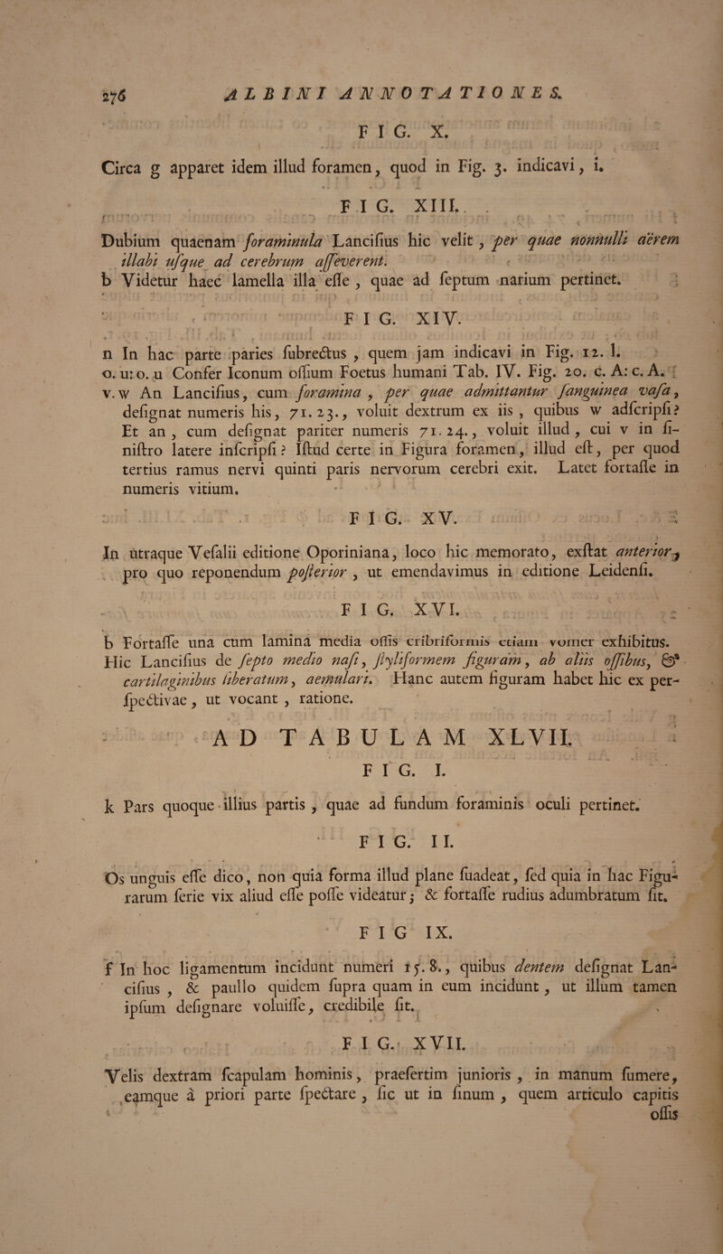 F I G. X. I I * i ■ i Li i 4J > , Circa g apparet idem illud foramen, quod in Fig. 3. indicavi, i. F.I G. XIII.. . .. i * * • * -v ^ r •' #-» r » a r l * J ‘ * * * 1 ' ’ J ‘ ' l - ' * ' 5 * s' < • Dubium quaenam foraminula Lancifius hic velit, per quae nonnulli aerem illabi ufque ad cerebrum affeverent. b Videtur haec lamella illa efle , quae ad feptum narium pertinet. \ i \. V FIG. XIV. * r Vp r r* 5 ' , > , ; : , ■ * • * * f * * »vp « - * p • , ; , v ♦ * ; i i )<- ** i - 4 u • / . v # f * _ * ' ■ r *••***'' - ' L • - - - • * - f . n In hac parte paries fubre&us , quem jam indicavi in Fig. 12. 1. o. u: o. u Confer Iconum offium Foetus humani Tab. IV. Fig. 20. c. A: c. A. v.w An Lancifius, cum foramina , per quae admittantur Janguinea vafa, defignat numeris his, 71.23., voluit dextrum ex iis , quibus vv adlcripfi? Et an, cum defignat pariter numeris 71.24., voluit illud, cui v in fi- niftro latere infcripfi ? Iftud certe in Figura foramen, illud eft, per quod tertius ramus nervi quinti paris nervorum cerebri exit. Latet fortafle in numeris vitium. FI G. XV. : j » ’ _■: . > In utraque Vefalii editione Oporiniana, loco hic memorato, exftat anterior^ pro quo reponendum poflerior , ut emendavimus in editione Leidenfi. r > Wo, VN. •* ;VV St- '<*• ■ \V - . FIG. XVI. . : b Fortafife una cum lamina media offis cribriformis etiam vomer exhibitus. Hic Lancifius de fepto medio nafi, filiformem figuram, ab alus ojfbus, & cartilaginibus liberatum, aemulari. Hanc autem figuram habet hic ex per- ipedtivae, ut vocant , ratione. /■ • . , ■■ r : : AD TABULAM XLVII. * FIG. I. k Pars quoque illius partis , quae ad fundum foraminis oculi pertinet. • F I G. I I. ; * - • ^ ( ' •’Y r* 9 Os unguis effe dico, non quia forma illud plane luadeat, fed quia in hac Figu- rarum ferie vix aliud effe poffe videatur; & fortaffe rudius adumbratum fit. FIG IX. * m ► » * •* • v' * * ♦ ‘ # # f In hoc ligamentum incidunt numeri ij. 8., quibus dentem defignat Lan¬ cifius , & paullo quidem fupra quam in eum incidunt, ut illum tamen ipfum defignare voluiffe, credibile fit. F I G.’ XVII. Velis dextram fcapulam hominis, praefertim junioris, in manum fiimere, eamque a priori parte fpedtare , fic ut in fmurn , quem articulo capitis c 5 offis