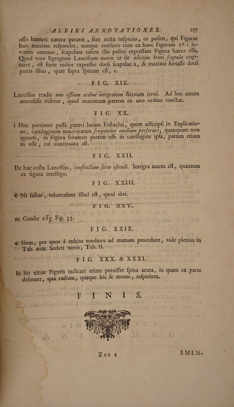 offis humeri natura paravit , fere reda infpicias, eo politu, qui Figurae huic maxime refpondet; tumque conferre cum ea hanc Figuram i7-: in¬ venies omnino , fcapulam talem illo politu expreffam Figura hacce effe. Quod vero Egregium Lancifium movit ut de alicujus bruti fcapula cogi¬ taret , eft forte rudior expreffio dorfi fcapulae a, & maxime fortalfe dorfi partis illius, quae fupra fpinam eft, e. F I G. XIX. /  ! c • r t • ^ r * Lancifius tradit uno oJJiurn ordine integratum fternum cerni. Ad hoc autem attendiffe videtur , quod maximam partem ex uno ordine conftat» .. .L ^ t i t * - 0*' »• i-! M > { 'Vv • Si . » j| j F I G. XX. ■ ' • * i * T T rl r * . * f s \ CX i Huc pertinere poffe putavi locum Euftachii, quem adfcripfi in Explicatio¬ ne, cartilaginem mucronatam frequenter mediam perforari; quanquam non ignorb, in Figura foramen partim effe in cartilagine ipfa, partim etiani in offe , cui continuata eft. ^ J r'- • • • • '  1 • B ♦..■* 9 -A v •k* ' « * • - t .r Vj * 'L • t * w v F I G. XXII. De hac cofta Lancifius, confraBam forte ofiendi. Integra autem eft, quantum ex figura intelligo. .£ - . -i ^ ’ F I G.. XXIII. - - 't‘-Ni fallor jtuberculum illud eft, quod dixi. I . i • J . U » J t.i . rs,*. r mh ±1 „ 1J \J F I G. XXV. m Confer efg Fig. 33. • w . - » F I G.! XXIX. - - wrn y — - — — •* «. /. ■c Sinus, per 'quos a cubito tendines ad manum procedunt, vide plenius in •i'Tab.anat. Sceleti novis, Tab. Iis ( O i:J .r...... F I G. XXX. & XXXI. / In his ulnae Figuris indicari etiam potuiffet fpina acuta, in quam ea parte delinunt, :qua radium, quaque hic fe mutuo, refpiciunt. » •% > rr- F I N I S. r. f * s: a ^ T f \ /B— Zzz i E M E N-