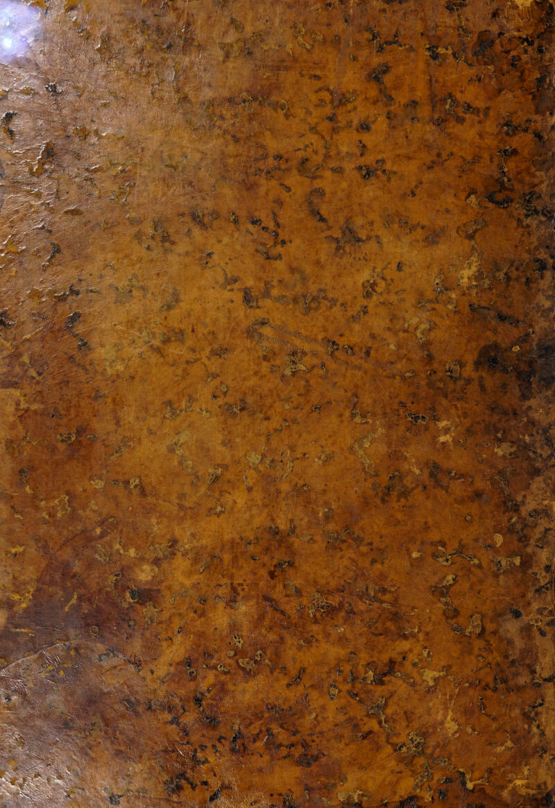 No text description is available for this image