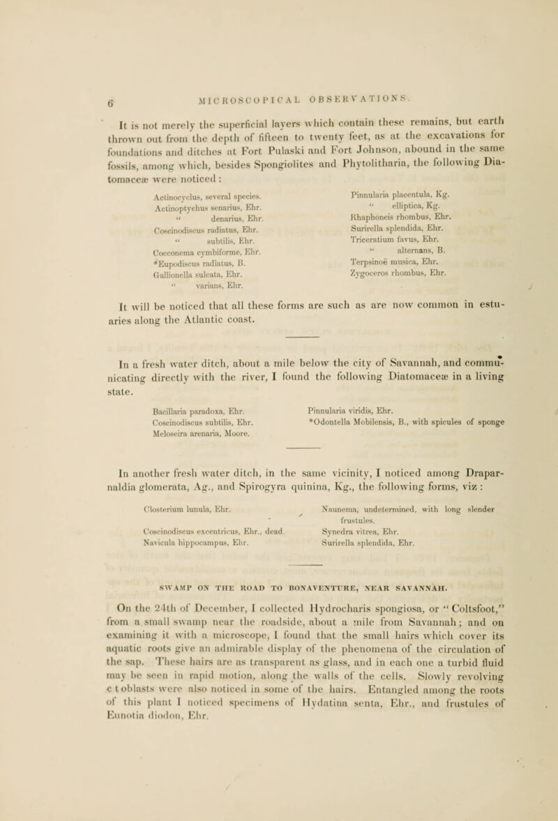 It is not merely the superficial layers which contain these remains, but earth thrown out from the depth of fifteen to twenty feet, as at the excavations lor foundations and ditches at Fort Pulaski and Fort Johnson, abound in the same fossils, among which, besides Spongiolites and Phytolitharia, the following Dia- tomacea? were noticed : Actinocyclus, several species. Actinoptychus senarius, Ehr. “ denarius, Ehr. Coscinodiscus radiatus, Ehr. “ subtilis, Ehr. Cocconema cymbiforme, Ehr. *Eupodiscus radiatus, B. Gallionella sulcata, Ehr. “ varians, Ehr. It will be noticed that all these forms are such as are now common in estu¬ aries along the Atlantic coast. Pinnularia placentula, Kg. “ elliptica, Kg. Rhaphoneis rhombus, Ehr. Surirella splendida, Ehr. Triceratium favus, Ehr. “ alternans, B. Terpsinoe musica, Ehr. Zygoceros rhombus, Ehr. In a fresh water ditch, about a mile below the city of Savannah, and commif- nicating directly with the river, I found the following Diatomaceae in a living state. Bacillaria paradoxa, Ehr. Pinnularia viridis, Ehr. Coscinodiscus subtilis, Ehr. *Odontella Mobilensis, B., with spicules of sponge Meloseira arenaria, Moore. In another fresh w ater ditch, in the same vicinity, I noticed among Drapar- naldia glomerata, Ag., and Spirogyra quinina, Ivg., the follow ing forms, viz : Closterium lunula, Ehr. Coscinodiscus excentricus, Ehr., dead. Navicula hippocampus, Ehr. Naunema, undetermined, with long slender frustules. Synedra vitrea, Ehr. Surirella splendida, Ehr. SWAMP ON THE ROAD TO BONAVENTTRE, NEAR SAVANNAH. On the 24th of December, I collected Hydrocharis spongiosa, or “ Coltsfoot,” from a small swamp near the roadside, about a mile from Savannah ; and on examining it with a microscope, 1 found that the small hairs which cover its aquatic roots give an admirable display of the phenomena of the circulation of the sap. These hairs are as transparent as glass, and in each one a turbid fluid may be seen in rapid motion, along the walls of the cells. Slowly revolving ct oblasts were also noticed in some of the hairs. Entangled among the roots of this plant I noticed specimens of Hydatina senta, Ehr., and frustules of Eunotia diodon, Ehr.