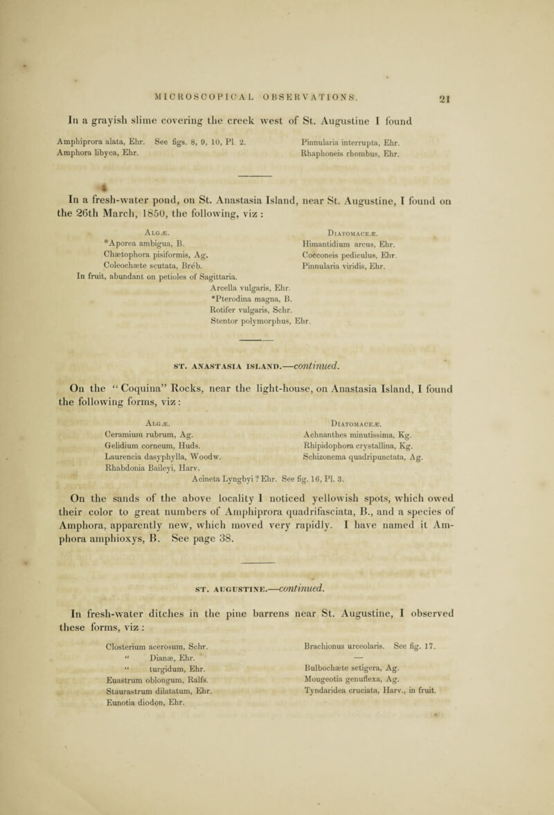 In a grayish slime covering the creek west of St. Augustine I found Amphiprora alata, Ehr. See figs. 8, 9, 10, PI 2. Pinnularia interrupta, Ehr. Amphora libyca, Ehr. Rhaphoneis rhombus, Ehr. $ In a fresh-water pond, on St. Anastasia Island, near St. Augustine, I found on the 26th March, 1850, the following, viz : Alg^e. *Aporea ambigua, B. Chaetophora pisiformis, Ag. Coleochaete scutata, Breb. In fruit, abundant on petioles of Sagittaria. Arcella vulgaris, Ehr. *Pterodina magna, B. Rotifer vulgaris, Schr. Stentor polymorphus, Ehr. Diatomace.e. Himantidium arcus, Ehr. Cocconeis pediculus, Ehr. Pinnularia viridis, Ehr. st. anastasia island.—continued. On the “ Coquina” Rocks, near the light-house, on Anastasia Island, I found the following forms, viz : Aeg^e. Ceramium rubrum, Ag. Gelidium corneum, Huds. Laurencia dasyphylla, Woodw. Rhabdonia Baileyi, Harv. Acineta Lyngbyi ? Ehr. See fig. 16, PL 3. Diatomace^e. Achnanthes minutissima. Kg. Rhipidophora crystallina, Kg. Schizonema quadripunctata, Ag. On the sands of the above locality 1 noticed yellowish spots, which owed their color to great numbers of Amphiprora quadrifasciata, B., and a species of Amphora, apparently new, which moved very rapidly. I have named it Am¬ phora amphioxys, B. See page 38. st. atjgustine.—continued. In fresh-water ditches in the pine barrens near St. Augustine, I observed these forms, viz : Closterium acerosum, Schr. “ Dianae, Ehr. “ turgidum, Ehr. Euastmm oblongum, Ralfs. Staurastrum dilatatum, Ehr. Eunotia diodon, Ehr. Brachionus urceolaris. See fig. 17. Bulbochaete setigera, Ag. Mougeotia genuflexa, Ag. Tyndaridea cruciata, Harv., in fruit.