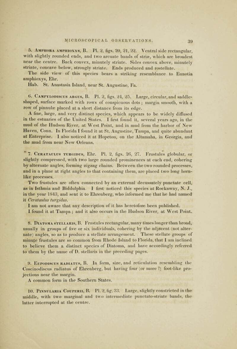 5. Ampiiora ampiiioxys, B. PI. 2, figs. 20, 21,22. Ventral side rectangular, with slightly rounded ends, and two arcuate bands of stria1, which are broadest near the centre. Back convex, minutely striate. Sides convex above, minutely striate, concave below, strongly striate. Ends produced and rostellate. 1 he side view ot this species bears a striking resemblance to Eunotia amphioxys, Ehr. Hab. St. Anastasia Island, near St. Augustine, Fa. 0. Campylodiscus argus, B. PI. 2, figs. 24, 25. Large, circular, and saddle- shaped, surface marked with rows of conspicuous dots ; margin smooth, with a row of pinnulae placed at a short distance from its edge. A fine, large, and very distinct species, which appears to be widely diffused in the estuaries of the United States. I first found it, several years ago, in the mud of the Hudson River, at West Point, and in mud from the harbor of New Haven, Conn. In Florida I found it at St. Augustine, Tampa, and quite abundant at Enterprise. I also noticed it at Hopeton, on the Altamaha, in Georgia, and the mud from near New Orleans. 7. Cerataulus turgidus, Ehr. PI. 2, figs. 26, 27. Frustules globular, or slightly compressed, with two large rounded prominences at each end, cohering by alternate angles, forming zigzag chains. Between the two rounded processes, and in a plane at right angles to that containing them, are placed two long horn¬ like processes. Two frustules are often connected by an external decussately punctate cell, as in Isthmia and Biddulphia. I first noticed this species at Rock away, N. J., in the year 1843, and sent it to Ehrenberg, who informed me that he had named it Cerataulus turgidus. I am not aware that any description of it has heretofore been published. I found it at Tampa; and it also occurs in the Hudson River, at West Point. 8. Diatoma stellaris, B. Frustules rectangular, many times longer than broad, usually in groups of five or six individuals, cohering by the adjacent (not alter¬ nate) angles, so as to produce a stellate arrangement. These stellate groups of minute frustules are so common from Rhode Island to Florida, that I am inclined to believe them a distinct species of Diatoma, and have accordingly referred to them by the name of D. stellaris in the preceding pages. 9. Eupodiscus radiates, B. In form, size, and reticulation resembling the Coscinodiscus radiatus of Ehrenberg, but having four (or more l) foot-like pro¬ jections near the margin. A common form in the Southern States. 10. Pinnularia Couperii, B. PI. 2, fig. 33. Large, slightly constricted in the middle, with two marginal and two intermediate punctato-striate bands, the latter interrupted at the centre.