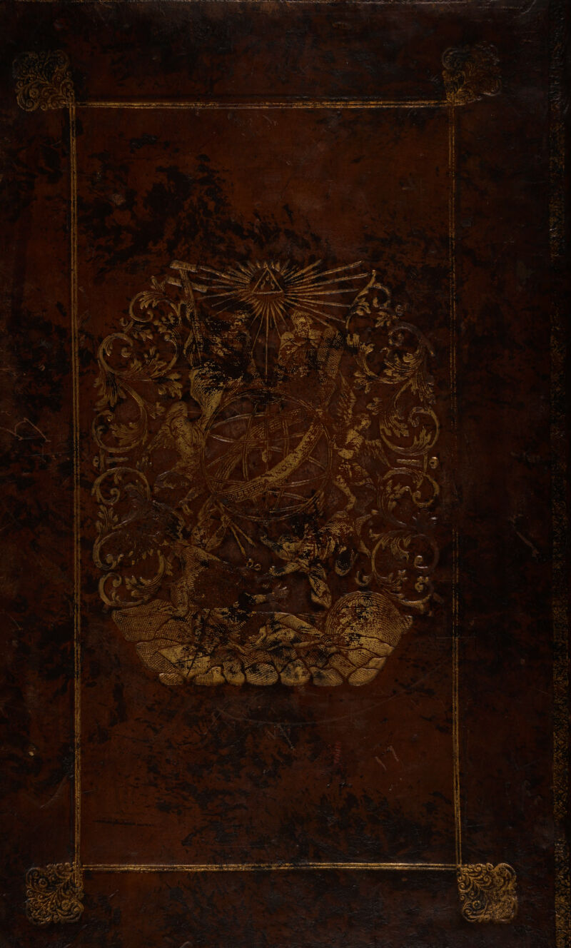 No text description is available for this image