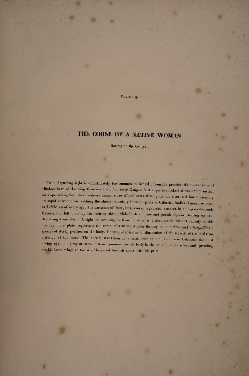 THE CORSE OF A NATIVE WOMAN floating on % ©anges. This disgusting sight is unfortunately too common in Bengal , from the practice the poorer class of Hindoos have of throwing their dead into the river Ganges. A stranger is shocked almost every instant on approaching Calcutta to witness human corse of both sexes floating on the river and borne away by its rapid current; on reaching the shores especially in some parts of Calcutta, bodies of men, women, and children of every age , the carcasses of dogs, cats , cows , pigs , etc. ; are seen in a heap on the sands thrown and left there by the retiring tide, while birds of prey and pariah dogs are tearing up and devouring their flesh. A sight so revolting to human nature is unfortunately without remedy in this country. This plate represents the corse of a native woman floating on the river and a hurguilla ( a species of stork) perched on the body, is intended more as an illustration of the sagacity of the bird than a design of the corse. This sketch was taken in a boat crossing the river near Calcutta ; the bird having eyed his prey at some distance pounced on the body in the middle of the river, and spreading out his large wings to the wind he sailed towards shore with his prize.