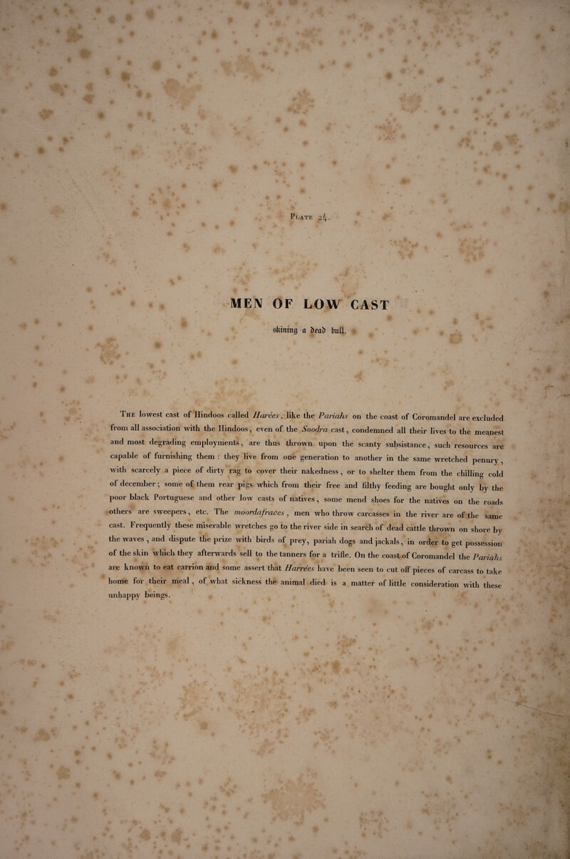P T, ATE 24. MEN OF LOW CAST slutting a ïteaît bull, a The lowest cast of Hindoos called Harées, like the Pariahs on the coast of Coromandel are excluded from all association with the Hindoos, even of the Soodra cast, condemned all their lives to the meanest and most degrading employments, are thus thrown upon the scanty subsistance, such resources are capable of furnishing them : they live from one generation to another in the same wretched penury , with scarcely a piece of dirty rag to cover their nakedness , or to shelter them from the chilling cold of december; some of them rear pigs which from their free and filthy feeding are bought only by the poor black Portuguese and other low casts of natives, some mend shoes for the natives on the roads others are sweepers, etc. The moordafraces, men who throw carcasses in the river are of the same cast, f requently these miserable wretches go to the river side in search of dead cattle thrown on shore by the waves , and dispute the prize with birds of prey, pariah dogs and jackals, in order to get possession of the skin which they afterwards sell to the tanners for a trifle. On the coast of Coromandel the Pariahs are known to eat carrion and some assert that Harrées have been seen to cut off pieces of carcass to take home for their meal , of what sickness the animal died is a matter of little consideration with these unhappy beings.