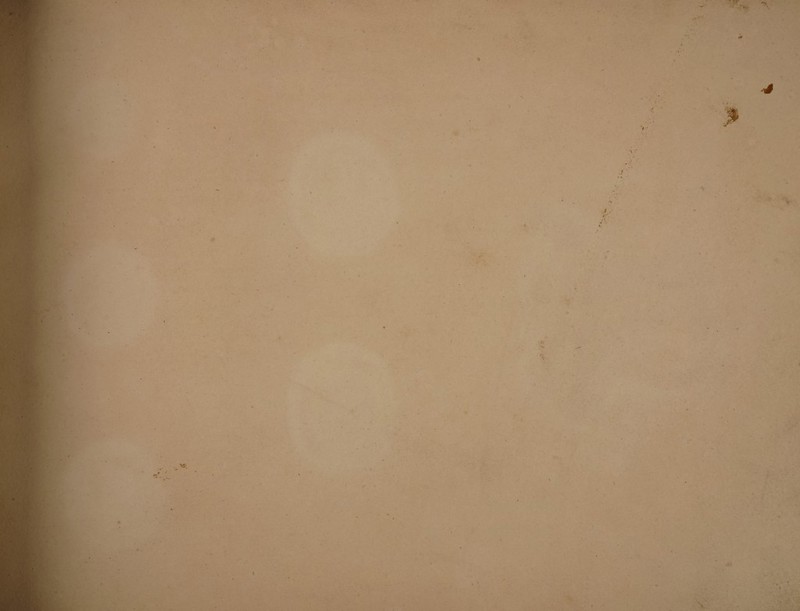 ■ \ ? I * * . \ ‘il ' JM t