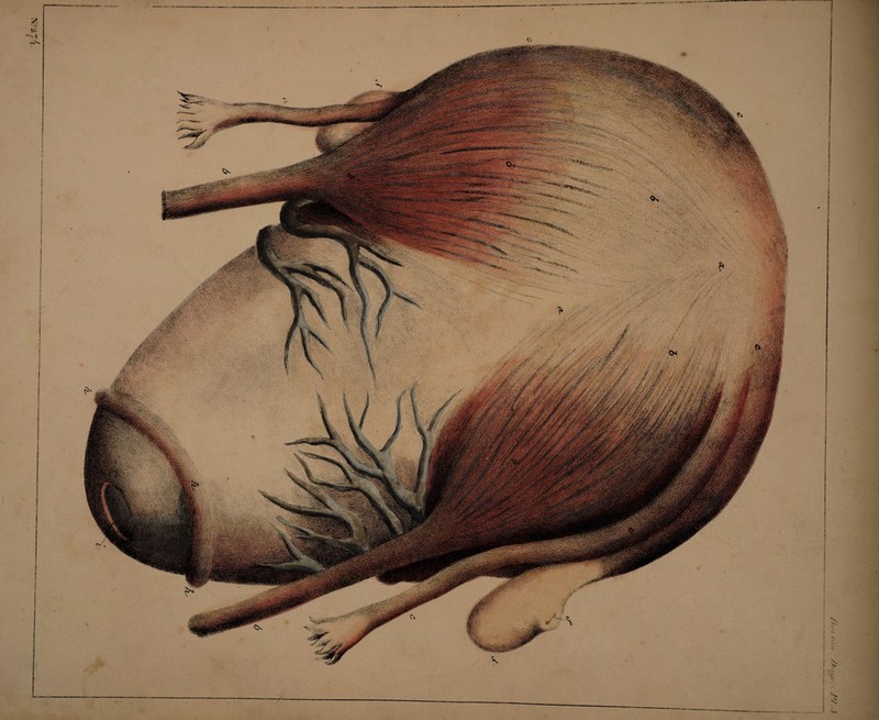 2! : ; ' ' i i I ! i * ' i c i >V' ■ “r. ;£££& < §* ' }: &•? .:•,•■■ V-4Ç*.' - ï-.-K'.' 4»•,^aCHS5îV •: •?• ' r>:ÎV:-v*•.>?'■ ' •••''•i:! ' »■ ■ . i?'- iK'tïvf*'; ] ■s. \ w