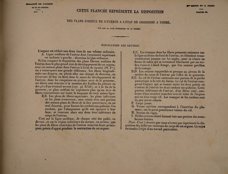 MALADIE^ SB L'ÜTBAV* BOIVZM ST A. DüG£■• ET DE SES ANNEXES. «l.“ » CETTE PLANCHE REPRÉSENTE LA DISPOSITION DES PLANS FIBREUX DE L'UTÉRUS A L'ÉTAT DE GROSSESSE A TERME, VÜE PAR LA FACE ANTÉRIEURE DE CE VISCÈRE. EXPLICATION Lorgane est réduit aux deux tiers de son volume ordinaire. A. Ligne médiane de 1 utérus dont l’extrémité supérieure est inclinée a gauche : direction lavplus ordinaire. > Si Ion compare la disposition des plans fibreux médians de l’utérus dans le plus grand état de développement de cet organe, avec ces mêmes plans dans l’utérus à letat de vacuité (Pl.lre), on y remarquera une grande différence. Les fibres longitudi¬ nales ont disparu, ou plutôt elles ont changé de direction , en s écartant de bas en haut dans le cours du développement de 1 utérus; dans les cinquième ou sixième mois delà grossesse, ces fibres sont écartées 'a la manière des feuilles du palmier ou des plis d’un éventail ouvert (voj. pl. X\I1), et à la fin de la grossesse, ce plan médian ne représente plus qu’un lacis de fibres entrecroisées sur toute la longueur de cette même ligne. B, B. Les plans de fibres supérieurs, les plans inférieurs et les plans transverses, sont réunis avec une portion des mêmes plans de fibres de la face postérieure, en un seul faisceau, pour former les cordons sus-pubiens. Ces cordons, par l’alongement qu’ils ont éprouvé à leur base, se trouvent alors aux deux tiers inférieurs du corps de l’utérus. C’est sur la ligne médiane, de chaque côté des pubis, en devant, et sur la région inférieure du sacrum , en arrière, que les plans de fibres extérieurs de l’utérus trouvent leurs princi¬ paux points d’appui pendant la contraction de cet organe. DES LETTRES. C,C. Les trompes dont les fibres prennent naissance sur la ligne médiane du fond de l’utérus, et s’étendent trans¬ versalement jusques sur les angles, pour se réunir en forme de tubes cpii se terminent librement par un ori¬ fice évasé et à bord frangé, que l’on nomme pavillon de la trompe. D, D. Les ovaires rapprochés et presque au niveau de la surlace du corps de l’utérus par l’effet de la grossesse. E, E. Le col de Fulérus contenant une portion de la poche amniotique et la tète du fœtus. Le col de l’utérus com¬ prend l’espace qui se trouve entre les deux points où s’isolent de l’utérus les deux cordons sus-pubiens. Cette portion inférieure de l’utérus, d’un blanc rosé, con¬ traste d’une manière tranchée avec le reste cle l’organe qui est d’un rouge vif. Les trompes et les cordons sont un peu moins colorés. F, Corps jaune. G- Veines utérines correspondant a l’insertion du pla¬ centa, sur la paroi postérieure voisine du col. H. Section du vagin. I. Orifice externe dilaté laissant voir une portion des mem¬ branes fœtales. Nota. C’est a dessein que nous n’avons pas représenté la dis¬ position des diiîérens vaisseaux du corps de cet organe. Ce suiefc deviendra l’objet d’un travail particulier. ë 1