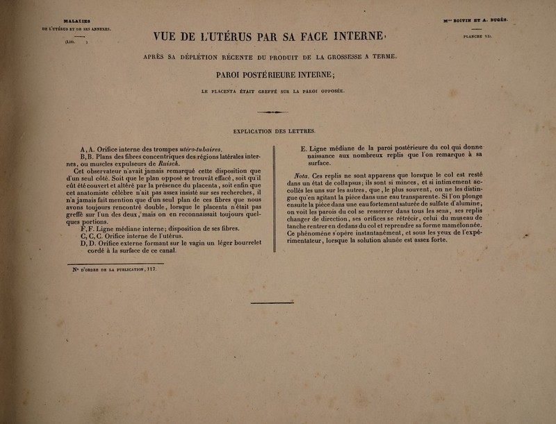 DE I'dTÉRüS ET DE SES ANNEXES. (Lin. ) VUE DE L’UTÉRUS PAR SA FACE INTERNE- APRÈS SA DÉPLÉTION RÉCENTE DD PRODUIT DE LA GROSSESSE A TERME. PAROI POSTÉRIEURE INTERNE; LE PLACENTA ÉTAIT GREFFÉ SUR LA PAROI OPPOSÉE. PLANCHE Vil. EXPLICATION DES LETTRES. A, A. Orifice interne des trompes utèro-tubaires. B, B. Plans des fibres concentriques des régions latérales inter¬ nes, ou muscles expulseurs de Ruisch. Cet observateur n’avait jamais remarqué cette disposition que d’un seul côté. Soit que le plan opposé se trouvât effacé, soit qu’il eût été couvert et altéré par la présence du placenta , soit enfin que cet anatomiste célébré n’ait pas assez insisté sur ses recherches, il n’a jamais fait mention que d’un seul plan de ces fibres que nous avons toujours rencontré double, lorsque le placenta n était pas greffé sur l’un des deux, mais on en reconnaissait toujours quel¬ ques portions. F,F. Ligne médiane interne; disposition de ses fibres. C, C, C. Orifice interne de l’utérus. D, D. Orifice externe formant sur le vagin un léger bourrelet cordé à la surface de ce canal. E. Ligne médiane de la paroi postérieure du col qui donne naissance aux nombreux replis que l’on remarque à sa surface. Nota. Ces replis ne sont apparens que lorsque le col est resté dans un état de collapsus; ils sont si minces, et si intimement ac- collés les uns sur les autres, que , le plus souvent, on ne les distin¬ gue qu’en agitant la pièce dans une eau transparente. Si l’on plonge ensuite la pièce dans une eau fortement saturée de sulfate d’alumine, on voit les parois du col se resserrer dans tous les sens, ses replis changer de direction, ses orifices se rétrécir, celui du museau de tanche rentrer en dedans du col et reprendre sa forme mamelonnée. Ce phénomène s’opère instantanément, et sous les yeux de l’expé¬ rimentateur, lorsque la solution alunée est assez forte.