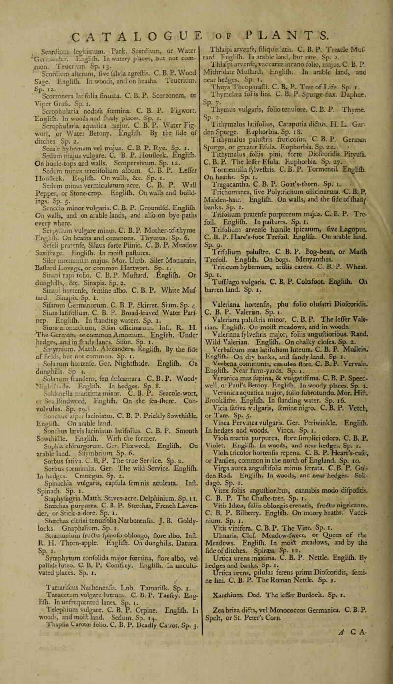 Scordium legitim urn. Park. Scordium, or Water ^Germander. Englifh. In watery places, but not com- jnon. Teucrium. Sp. 13. Scordium alterum, five falvia agreftis. C.B. P. Wood Sage. Engliih. In woods, and on heaths. Teucrium. Sp. 12. Scorzonera latifolia fmuata. C. B. P. Scorzonera, or Viper Grafs. Sp. 1. Scrophularia nodofa fcemina. C. B. P. Eigwort. Englifh. In woods and fhady places. Sp. 1. Scrophularia aquatica major. C. B. P. Water Fig- wort, or Water Betony. Englifh. By the fide of ditches. Sp. 2. Secale hybernum vel majus. C.B. P. Rye. Sp. 1. Sedum majus vulgare. C. B. P. Eioufleek. Englifh. On houfe-tops and walls. Sempervivum. Sp. 12. Sedum minus teretifolium album. C. B. P. Leffer Houfleek. Englifh. On walls, &c. Sp. 1. Sedum minus vermiculatum acre. C. B. P. Wall Pepper, or Stone-crop. Englifh. On walls and build¬ ings. Sp. 5. Senecio minor vulgaris. C. B. P. Groundfel. Englifh. On walls, and on arable lands, and alfo on bye-paths every where. Serpyllum vulgare minus. C. B. P. Mother-of-thyme. Englifh. On heaths and commons. Thymus. Sp. 6. Sefeli pratenfe, Silaus forte Plinio. C. B. P. Meadow Saxifrage. Englifh. In moifl paftures. Siler montanum majus. Mor. Umb. Siler Mountain, Baftard Lovage, or common Elartwort. Sp. 1. Sinapi rapi folio. C. B. P. Muftard. Englifh. On dunghills, &c. Sinapis. Sp. 2. Sinapi hortenfe, femine albo. C. B. P. White Muf¬ tard. Sinapis. Sp. l. Sifarum Germanorum. C. B. P. Skirret. Sium. Sp. 4. Sium latifolium. C. B. P. Broad-leaved Water Parf- nep. Englifh. In Handing waters. Sp. 1. Sium aromaticum, Sifon officinarum. Inft. R. H. The German, or common Amomum. Englifh. Under hedges, and in fhady lanes. Sifon. Sp. 1. Smyrnium. Matth. Alexanders. Englifh. By the fide of fields, but not common. Sp. 1. Solanum hortenfe. Ger. Nightfhade. Englifh. On dunghills. Sp 1. Solanum fcandens, feu dulcamara. C. B. P. Woody Nightfhade. Englifh. In hedges. Sp. 8. Soldanella maritima minor. C. B. P. Seacole-wort, or Sea Bindweed. Englifh. On the fea-fhore. Con¬ volvulus. Sp. 29. *; ■ Sonchus afper laciniatus. C. B. P. Prickly Sowthiftle. Englifh. On arable land. Sonchus kevis laciniatus latifolius. C. B. P. Smooth Sowthiftle. Englifh. With the former. Sophia chirurgorum. Ger. Flixweed. Englifh. On arable land. Silymbrium. Sp. 6. Sorbus fativa. C. B. P. The true Service. Sp. 2. Sorbus torminalis. Ger. The wild Service. Englifh. In hedges. Crataegus. Sp. 2. Spinachia vulgaris, capfula feminis aculeata. Inft. Spinach. Sp. 1. Staphyfagria. Matth. Staves-acre. Delphinium. Sp. 11. Stcechas purpurea. C.B. P. Stcechas, French Laven¬ der, or Stick-a-dore. Sp. 1. Stcechas citrini tenuifolia Narbonenfis. J. B. Goldy- locks. Gnaphalium. Sp. 1. Stramonium frudtu fpinofo oblongo, flore albo. Inft. R. FI. Thorn-apple. Englifh. On dunghills. Datura. Sp. 1. Symphytum confolida major foemina, flore albo, vel pallideluteo. C. B. P. Comfrey. Englifh. In unculti¬ vated places. Sp. 1. Tamarifcus Narbonenfis. Lob. Tamarifk. Sp. 1. Tanacetum vulgare luteum. C. B. P. Tanfey. Eng¬ lifh. In unfrequented lanes. Sp. 1. Telephium vulgare. C. B. P. Orpine. Englifh. In woods, and moift land. Sedum. Sp, 14. Thapfia Carotas folio. C. B. P. Deadly Carrot. Sp, 3. Thlafpi arvenfe, filiquis latis. C. B. P. Treacle Muf¬ tard. Englifh. In arable land, but rare. Sp. 2. Thlafpi arvenfe, vaccarias incano folio, majus. C. B. P. Mithridate Muftard. Engliih. In arable land, and near hedges. Sp. r. Thuya Theophrafti. C. B. P. Tree of Life. Sp. 1. Thymelaea foliis lini. C. B. P. Spurge-flax. Daphne. Sp. 7. Thymus vulgaris, folio tenuiore. C. B. P. Thyme. Sp. 2. Tithymalus latifolius, Cataputia didlus. H. L. Gar¬ den Spurge. Euphorbia. Sp. 18. Tithymalus paluftris fruticofus. C. B. P. German Spurge, or greater Efula. Euphorbia. Sp. 22. Tithymalus foliis pini, forte Diofcoridis Pityufa. C. B. P. The leffer Efula. Euphorbia. Sp. 27. Tormentilla fylveftris. C. B. P. Tormentil. Englifh. On heaths. Sp. 1. Tragacantha. C. B. P. Goat’s-thorn. Sp. 1. - Trichomanes, five Polytrichum officinarum. C. B. P. Maiden-hair. Englifh. On walls, and the fide of fhady banks. Sp. 1. Trifolium pratenfe purpureum majus. C. B. P. Tre¬ foil. Englifh. In paftures. Sp. 1. Trifolium arvenfe hymile fpicatum, five Lagopus. C. B. P. Hare’s-foot Trefoil. Englifh. On arable land. Sp. 9. ill ■ • cn i > ‘ Trifolium paluftre. C. B. P. Bog-bean, or Marfh Trefoil. Englifh. On bogs. Menyanthes, Triticum hybernum, ariftis carens. C. B. P. Wheat. Sp. 1. Tu-flilago vulgaris. C. B. P. Coltsfoot. Englifh. On barren land. Sp. 1. Valeriana hortenfis, phu folio olufatri Diofcoridis. C. B. P. Valerian. Sp. 1. Valeriana paluftris minor. C. B. P. The lefier Vale¬ rian. Englifh. On moift meadows, and in woods. Valeriana fylveftris major, foliis anguftioribus. Rand. Wild Valerian. Englifh. On chalky clofes. Sp. 2. Verbafcum mas latifolium luteum. C. B. P. Mullein. Englifh. On dry banks, and fandy land. Sp. 1. Verbena communis, casruleo flore. C. B.P. Vervain. Englifh. Near farm-yards. Sp. 1. Veronica mas fupina, & vulgatiflima. C. B. P. Speed¬ well, or Paul’s Betony. Englifh. In woody places. Sp. 1. Veronica aquatica major, folio fubrotundo. Mor. Hift. Brooklime. Englifh. In Handing water. Sp. 16. Vicia fativa vulgaris, femine nigro. C. B. P. Vetch, or Tare. Sp. 5. Vinca Pervinca vulgaris. Ger. Periwinkle. Englifh. In hedges and woods. Vinca. Sp. 1. Viola martia purpurea, flore fimplici odoro. C. B. P. Violet. Englifh. In woods, and near hedges. Sp. 1. Viola tricolor hortenfis repens. C. B. P. Heart’s-eafe, or Panfies, common in the north of England. Sp. 10. Virga aurea anguftifolia minus ferrata. C. B. P. Gol¬ den Rod. Englifh. In woods, and near hedges. Soli- dago. Sp. 1. Vitex foliis anguftioribus, cannabis modo difpofitis. C. B. P. The Chafte-tree. Sp. 1. Vitis Idaea, foliis oblongis crenatis, frudlu nigricante. C. B. P. Bilberry. Englifh. On moory heaths. Vacci- nium. Sp. 1. Vitis vinifera. C. B.P. The Vine, Sp. 1. Ulmaria. Cluf. Meadow-fweec, or Queen of the Meadows. Englifh. In moift meadows, and by the fide of ditches. Spiraea. Sp. 12, Urtica urens maxima. C. B. P. Nettle. Englifh. By hedges and banks. Sp. 1. Urtica urens, pilulas ferens prima Diofcoridis, femi¬ ne lini. C. B. P. The Roman Nettle. Sp. 1. Xanthium. Dod. The leffer Burdock. Sp. 1. Zea briza di&a, vel Monococcos Germanica. C. B. P. Spelt, or St. Peter’s Corn. A C A-