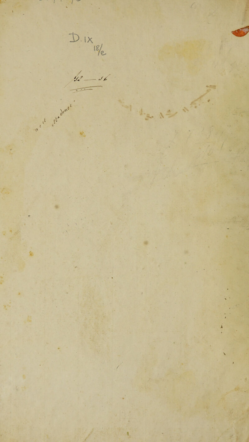 I { L N *v< \> 1 • * •vi « > I \ > i 3 \ / y . i V