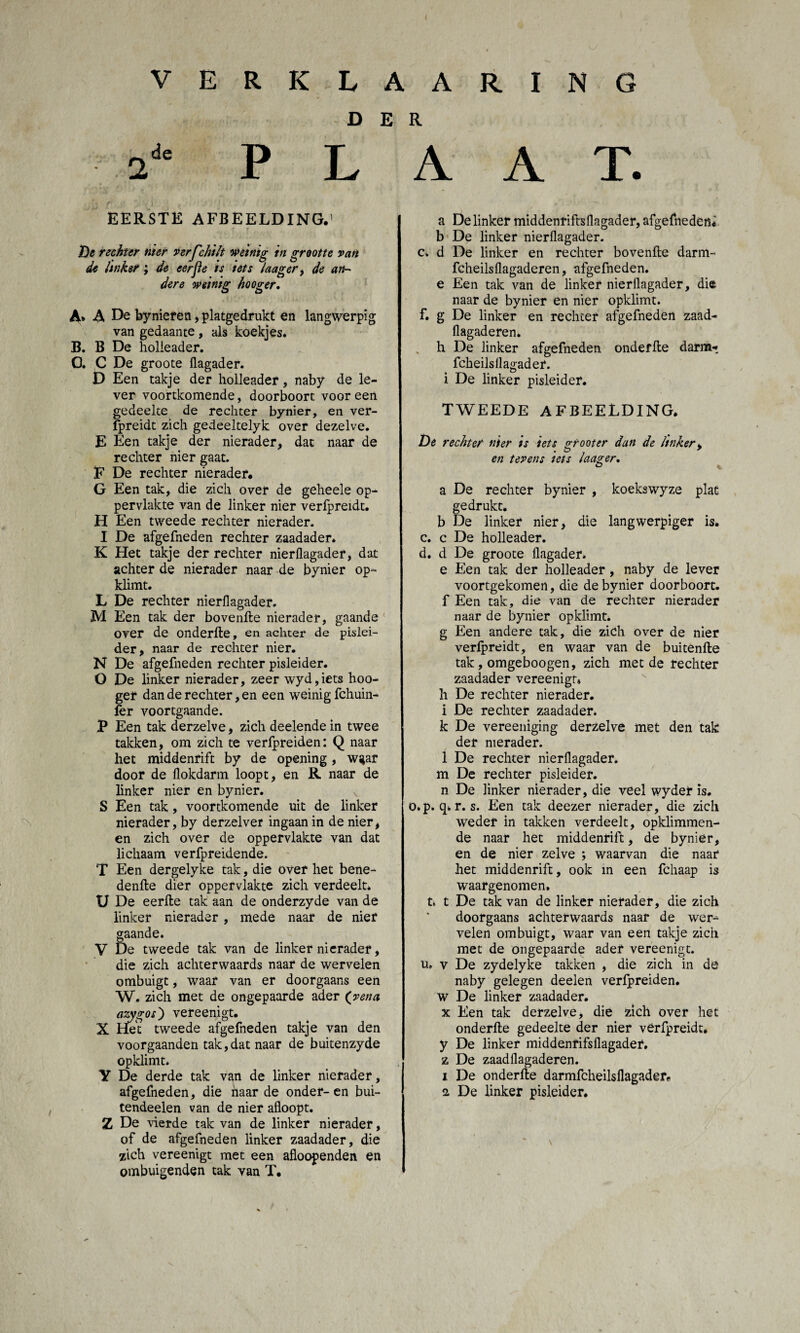 DER ade PLAAT. EERSTE AFBEELDING.' r f De rechter nier verfchilt weinig in grootte van de linker ; de eerjie ts tets laager, de an¬ dere weinig hooger. A* A De bynieren, platgedrukt en langwerpig van gedaante , als koekjes. B. B De holieader. O. C De groote flagader. D Een takje der holieader, naby de le¬ ver voortkomende, doorboort voor een gedeelte de rechter bynier, en ver- fpreidt zich gedeeltelyk over dezelve. E Een takje der nierader, dat naar de rechter nier gaat. F De rechter nierader. G Een tak, die zich over de geheele op¬ pervlakte van de linker nier verfpreidt. H Een tweede rechter nierader. I De afgefneden rechter zaadader. K Het takje der rechter nierflagader, dat achter de nierader naar de bynier op¬ klimt. L De rechter nierflagader. M Een tak der bovenfte nierader, gaande over de onderfte, en achter de pislei¬ der, naar de rechter nier. N De afgefneden rechter pisleider. O De linker nierader, zeer wyd,iets hoo¬ ger dan de rechter, en een weinig fchuin- fer voortgaande. P Een tak derzelve, zich deelendein twee takken, om zich te verfpreiden: Q naar het middenrift by de opening, w^ar door de flokdarm loopt, en R naar de linker nier en bynier. S Een tak , voortkomende uit de linker nierader, by derzelver ingaan in de nier, en zich over de oppervlakte van dat lichaam verfpreidende. T Een dergelyke tak, die over het bene- denfte dier oppervlakte zich verdeelt* U De eerfte tak aan de onderzyde van de linker nierader , mede naar de nier gaande. V De tweede tak van de linker nierader, die zich achterwaards naar de wervelen ombuigt, waar van er doorgaans een W. zich met de ongepaarde ader (vena azygos) vereenigt. X Het tweede afgefneden takje van den voorgaanden tak,dat naar de buitenzyde opklimt. Y De derde tak van de linker nierader, afgefneden, die haarde onder-en bui- tendeelen van de nier afloopt. Z De vierde tak van de linker nierader, of de afgefneden linker zaadader, die zich vereenigt met een afloopenden en ombuigenden tak van T. a De linker middenriftsflagader, afgefneden* b De linker nierflagader. c. d De linker en rechter bovenfte darm- fcheilsflagaderen, afgefneden. e Een tak van de linker nierflagader, die naar de bynier en nier opklimt, f. g De linker en rechter afgefneden zaad- flagaderen. h De linker afgefneden onderfte darm- fcheilsflagader. i De linker pisleider. TWEEDE AFBEELDING. De rechter nier ts iets grooter dan de Itnker, en tevens tets laager. a De rechter bynier , koekswyze plat gedrukt. b De linker nier, die langwerpiger is. c. c De holieader. d. d De groote flagader. e Een tak der holieader, naby de lever voortgekomen, die de bynier doorboort, f Een tak, die van de rechter nierader naar de bynier opklimt, g Een andere tak, die zich over de nier verfpreidt, en waar van de buitenfte tak, omgeboogen, zich met de rechter zaadader vereenigt* h De rechter nierader. i De rechter zaadader* k De vereeniging derzelve met den tak der nierader. 1 De rechter nierflagader. m De rechter pisleider, n De linker nierader, die veel wydef is. o.p. q. r. s. Een tak deezer nierader, die zich weder in takken verdeelt, opklimmen¬ de naar het middenrift, de bynier, en de nier zelve ; waarvan die naar het middenrift, ook in een fchaap is waargenomen, t. t De tak van de linker nierader, die zich doorgaans achterwaards naar de wer¬ velen ombuigt, waar van een takje zich met de ongepaarde ader vereenigt. u, v De zydelyke takken , die zich in de naby gelegen deelen verfpreiden. w De linker zaadader. x Een tak derzelve, die zich over het onderfte gedeelte der nier verfpreidt. y De linker middenrifsflagader, z De zaadflagaderen. 1 De onderfte darmfcheilsflagader» 2 De linker pisleider.