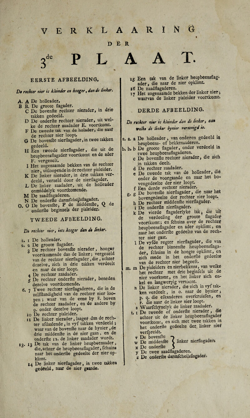 DER 3d' P L A A T. y ' * 1» EERSTE AFBEELDING. De recht et nier is kletnder en hooger , dan de linker» A, A De holle ader. B B. De groote llagader. . C De bovenfte rechter nierader, in drie takken gedeeld. D De onderfte rechter nierader, uit wel¬ ke de rechter zaadader E. voortkomt. F De tweede tak van de holader, die naar de rechter nier loopt. G De bovenfte nierllagader, in twee takken gedeeld. . H Een tweede nierllagader, die uit de heupbeensflagader voortkomt en de ader F. vergezelt. I Het zogenaamde bekken van de rechter nier, uitloopende in de rechter pisleider. IC De linker nierader, in drie takken ver- ' deeld, verzeld door de nierllagader. L De linker zaadader, uit de holleader onmiddelyk voortkomende. M De zaadüagaderen. N De onderfte darmfchéjlsflagader. Q. O De bovenfte, P de middenfte, Q de onderfte beginzels der pisleider. TWEEDE AFBEELDING. De rechter nier, iets hooger dan de hnker. i. i De holleader. ai 2 De groote llagader. o De rechter bovenfte nierader, hooger ó voortkomende dan de linker; vergezeld van de rechter nierllagader, die , achter dezelve, zich in drie takken verdeelt en naar de nier loopt. 4 De rechter zaadader. 5 De rechter onderfte nierader, beneden dezelve voortkomende. 6. 7 Twee rechter nierllagaderen, die in de zelfftandigheid van de rechter nier loo- pen ; waar van de eene by 8. boven de rechter zaadader, en de andere by 9. onder dezelve loopt. 10 De rechter pisleider. 11 De linker nierader, laager dan de rech¬ ter afdaalende, in vyf takken verdeeld ; waar van de bovenfte naar de bynier , de drie middenfte in de nier gaan, en de onderfte m. de linker zaadader wordt. 13, 13 De tak van de linker heupbeensader, die, achter de heupbeensflagader, fchuins naar het onderfte gedeelte der nier op¬ klimt. X4 De linker nierllagader, in twee takken gedeeld, naar de nier gaande. xc Een tak van de linker heupbeensflag¬ ader , die naar de nier opklimt. 16 De zaadüagaderen. ï y Het zogenaamde bekken der linker nier ; waarvan de linker pisleider voortkomt’. DERDE AFBEELDING. De rechter nier is kletnder dan de linker, aan welke de linker bynier vereenigd is» a. a. a De holleader , van onderen gedeeld in heupbeens- of bekkensaderen. b. b. b De groote llagader, onder verdeeld in twee heupbeensflagaderen. c De bovenfte rechter nierader, die zich in takken deelt, d De rechter zaadader. e De tweede tak van de holleader, die onder de voorgaande en naar het bo¬ vengedeelte der nier loopt, f Een derde rechter nierader. g. cr De bovenfte nierllagader, die naar het bovengedeelte der rechter nier loopt, h De rechter middenfte nierllagader. i De onderfte nierllagader. ^ k De vierde flagaderlyke tak, die ufe ’ de verdeeling der groote llagader voortkomt; en fchuins over de rechter heupbeensflagader en ader opklimt, en naar het onderfte gedeelte van de rech¬ ter nier gaat. 1 De vyfde regter nierllagader, die van de rechter binnenfte heupbeensflaga¬ der, fchuins in de hoogte opklimt, en zich mede in het onderfte gedeelte van de rechter nier begeeft, m. m De pisleiders en nierbekkens, van welke het rechter met drie beginfels uit de nier voorkomt, en liet linker zich en¬ kel en langwerpig vertoont, n De linker nierader, die zich in vyf tak¬ ken verdeelt, in o. naar de bynier; p. q. die elkanderen overkruisfen, en r. die naar de linker nier loopt, s Waarfchynelyk de linker zaadader. t. t De tweede of onderfte nierader, die achter uit de linker heupbeensflagader voortkomt, en zich met twee takken in het onderfte gedeelte der linker nier verfpreidt. v De bovenfte w De middenfte C linker nierllagader* x De onderfte 5 y De twee zaadüagaderen. i De onderfte darmfcheilsflagader.