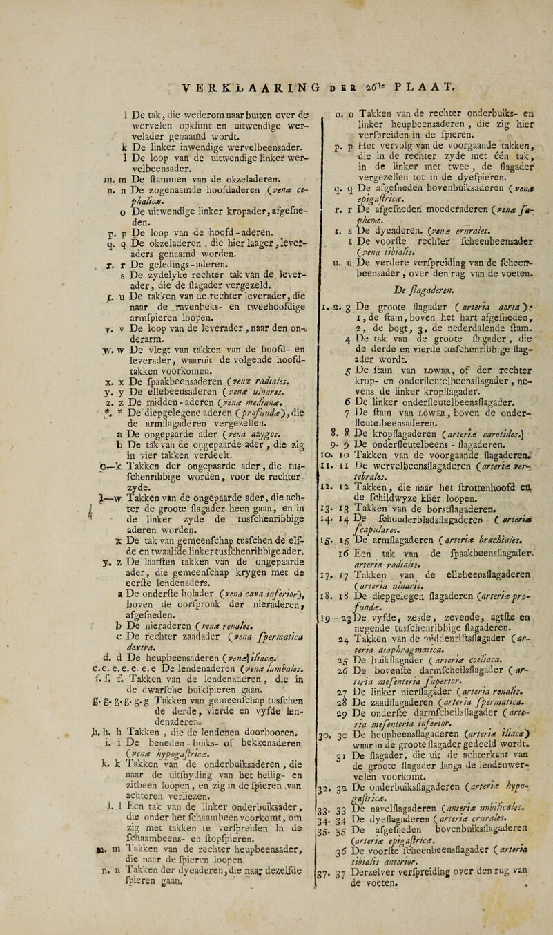 VERKLAARING der PLAAT, i De tak, die wederom naar buiten over de: wervelen opklimt en uitwendige wer- velader genaamd wordt, k De linker inwendige wervelbeensader. 1 De loop van de uitwendige linker wer¬ velbeensader. m. m De Hammen van de okzeladeren. n. n De zogenaamde hoofdaderen (vena ce- phahca. o De uitwendige linker kropader,afgefne- den. p. p De loop van de hoofd-aderen. q. q De okzeladeren , die hier laager, lever- aders genaamd worden. r. r De geledings- aderen. s De zydelyke rechter tak van de lever¬ ader , die de flagader vergezeld, t. u De takken van de rechter leverader, dié naar de _ravenbeks- en tweehoofdige armfpieren loopen. y. v De loop van de leverader, naar den on-* derarm. >v. w De vlegt van takken van de hoofd- en leverader, waaruit de volgende hoofd¬ takken voorkomen. x. x De fpaakbeensaderen (venx radiaks. y. y De ellebeensaderen (vena utnarts. z. z De midden-aderen (vena mediana, * De diepgelegene aderen (profmda')i^ie de armflagaderen vergezellen, a De ongepaarde ader (vena azygos. b De tak van de ongepaarde ader , die zig in vier takken verdeelt. G—k Takken der ongepaarde ader, die tus- fchenribbige worden, voor de rechter- zyde. w Takken van de ongepaarde ader, die ach- l ter de groote flagader heen gaan, en in de linker zyde de tusfchenribbige aderen worden. X De tak van gemeenfchap tusfchen de elf¬ de en twaalfde linker tusfchenribbige ader. y. z De laatHen takken van de ongepaarde ader, die gemeenfchap krygen met de eerfle lendenaders. a De onderHe holader (vena cava inferior), boven de oorfpronk der nieraderen* afgefneden. b De nieraderen (vena renaks. c De rechter zaadader (vena fpermatica dextra, d. d De heupbeensaderen (vena\ iliaca/ e. e. e.e. e-e.e De lendenaderen (vena lumhaks. f. f. f. Takken van de lendenaderen, die in de dwarfche buikfpieren gaan. g. S* d* g- g* g Takken van gemeenfchap tusfchen de derde, vierde en vyfde len¬ denaderen. Ji. h. h Takken , die de lendenen doorbooren. i, i De beneden - buiks- of bekkenaderen (vena hypogafnea. k. k Takken van de onderbuiksaderen , die naar de uitfnyding van het heilig- en zitbeen loopen, en zig in de fpieren wan acnteren verliezen. 1. 1 Een tak van de linker onderbuiksader, die onder het fchaambeenvoorkomt, om zig met takken te verfpreiden ln de fchaambeens- en Hopfpieren. tl. m Takken van de rechter heupbeensader, die naar de fpieren loopen. n. n 'hakken der dyeaderen,die naar dezelfde fpieren gaan. o. o Takken van de rechter onderbuiks- en linker heupbeensaderen , die zig hier verfpreiden in de fpieren. p. p Het vervolg van de voorgaande takken, die in de rechter zyde met één tak, in de linker met twee, de flagader vergezellen tot in de dyefpieren. q. q De afgefneden bovenbuiksaderen (vena epigajlrica. r. r De afgefneden moederaderen (vena fa* phena. s. s De dyeaderen. (vena crurales. t De voorHe rechter fcheenbeensader (vena tibiahs. u. u De verdere verfppeiding van de fcheeff- beensader , over den rug van de voeten. De flagader en, I. 2. 3 De groote flagader (arteria aorta ) .* 1, de Ham, boven het hart afgefneden, 2, de bogt, 3, de nederdalende Ham. 4 De tak van de groote flagader , die de derde en vierde tusfchenribbige flag¬ ader wordt. 5 De Ham van lower, of der rechter krop- en onderfleutelbeensflagader , ne¬ vens de linker kropflagader. 6 De linker onderfleutelbeensflagader. 7 De Ham van lower, boven de onder- fleutelbeensaderen. 8. 8 De kropllagaderen (arteria carotides.] 9- 9 De onderfleutelbeens - flagaderen. 10. 10 Takken van de voorgaande flagaderen* 11. ii De wervelbeensflagaderen {arteria ver* tebrales. II. 12 Takken, die naar het flrottenhoofd ea de fchildwyze klier loopen. 13. 13 Takken van de borstflagaderen. 14. 14 De fchouderbladsflagaderen ( arteria fcapulares. 15. 15 De armüagaderen (arteria bracht aks. 16 Een tak van de fpaakbeensllagader. arteria radiaks* 17. ï7 Takken van de ellebeensflagaderen (arteria ulnaris. 18. 18 De diepgelegen üagaderen (arteriapro* f'inda. 19-23De vyfde, zesde, zevende, agtfle en negende tusfchenribbige üagaderen. 24 Takken van de middenriftsflagader (ar- terta dtaphragmatica. 25 De buikflagader (arteria coehaca. 26 De bovenfte darmfcneilsflagader ( ar¬ teria mefenteria fuperior. 27 De linker nierflagader (arteria renahs. 28 De zaadflagaderen (arteria fpermatica. 29 De onderüe darmfcheilsllagader (arte- na mefenteria inferior. 30. 30 De heiipbeensflagaderen (arteria iiiacx') waar in de groote Üagader gedeeld wordt. 31 De flagader, die uit de achterkant van de groote flagader langs de lendenwer¬ velen voorkomt. 32. 32 De onderbuiksllagaderen (arteria hypo* g afin ca. 33. 33 De navelflagaderen (anteria unbihcxks. 34. 34 De dyeflagaderen (arteria crurales. 35. 35 De afgefneden bovenbuiksllagaderen (arteria epigajlrica. 36 De voorfte fcheenbeensflagader (arteria tibtahs anterior. 37. 37 Derzelver verfpreiding over den rug van de voeten.
