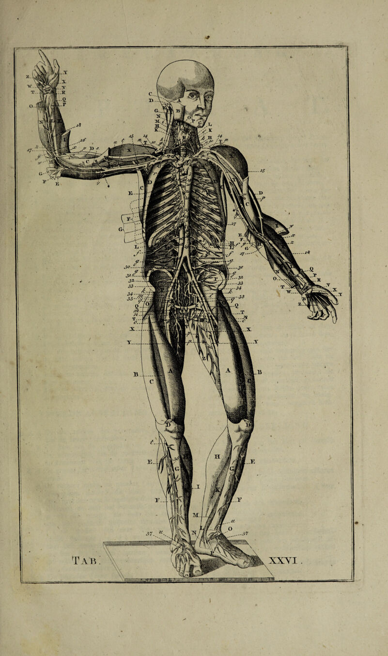 * iHl \m-~-3* « fflfi -----34 MMA \M i i f WvmJïi 1 W M- 1 VS8ï.-rT$81 Irfi’ta K /LA ff£ «VvPBk-----T \V Mj / fêvwMfmm -n O y