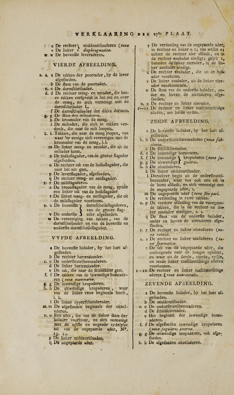 VERKLAARING d e st 47»* P L A A T. p < u De rechter^ middenriftsaderen {ven# v De linker 1 dtaphragmatic#. w. w De bovenfte leveraderen. VIERDE AFBEELDING. a. a. a De takken der poortader, by de lever afgefneden. b De ftam van de poortader, c, c De darmfcheilsader. d. d De rechter maag- en netader, die haa- re takken verfpreidt in het net en over de maag, en zieh vereenigt met de darmfcheilader L. f De darmfcheilsader der dikke darmen, g, g De ftam der miltadcren. h De kroonader van de maag. i De miltader, die zich in takken ver¬ deelt , die naar de milt loopen. k. k Takken, die naar de maag loopen, van waar 'er eenige zich vereenigen met de kroonader van de maag, 1.1. m De linker maag- en netader, die uit de miltader komt. n De buiksflagader, van de groote flagader afgefneden. o De rechter tak van de buiksflagader, die naar het net gaat. p De leverflagader, afgefneden. q De rechter maag- en netflagader. r. r De miltllagadercn. s De kroonflagader van de maag, zynde een linker tak van de buikflagader t De linker maag- en netflagader, die uit de miltflagader voorkomt. v. u De bovenfte j darmfcheilsflagaderen, S van de groote flag- v De onderfte j ader afgefneden. w De vereeniging van takken , van de darmfcheilsader en van de bovenfte en onderfte darmfcheilsflagader. VYFDE AFBEELDING. a De bovenfte holader, by het hart af¬ gefneden b De rechter hartezaksader. c. c De onderfleutelbeensaderen. d De linker hartezaksader. e De tak, die naar de fchildklier gaat. f. f De takken van de inwendige borstade¬ ren {ven# mamman#. g. g De inwendige kropaderen. h. h De uitwendige kropaderen , waar van de linker twee beginzels heeft, i. k. 1 De linker opperfchouderader. xn. m De afgefneden beginzels der okzel- aderen. n. o Een ader, die van dé linker ftam der holader voorkomt, en zich vereenigt met de agtfte en negende zydelyke tak van de ongepaarde ader, N9, 13. M. p De linker middenriftsader* q De ongepaarde ader. r De verdeeling van de ongepaarde ader, in rechter en linker s. t; van welke s$ achter de rechter nier afdaalt, en in de rechter zaadader eindigt; gelyk t, beneden de linker nierader, in de lin¬ ker zaadader eindigt, u De rechter zaadader , die uit de hol¬ ader voorkomt. v De linker zaadader, uit de linker nier¬ ader voorkomende. w De ftam van de onderfte holader, on¬ der en boven de nieraderen afge- fneden, x. x De rechter en linker nierader. i—12, De rechter cn linker tusfchenribbige aderen, aan beide zyden. ZESDE AFBEELDING, a De bovenfte holader, by het hart af¬ gefneden. b. b De onderfleutelbeensaderen {ven# fub- cïavt#. c De fchildkliersader. d. e De inwendige borstvaten. f. f De inwendige \ kropaderen {ven# ju- g. g De uitwendige! guiares• h. h De okzeladeren. k De linker middenriftsader. 1 Derzelver begin uit de onderfleutel- beensader, waar van ook een tak in de borst afdaalt, zich vereenigt met de ongepaarde ader, t. m De ongepaarde ader {vena JïneparL n De verdeeling in twee takken, o. p De verdere afdaaling van de voorgaan-' de takken, die in de rechter en liivj ker zaadader eindigen, s. s. q De ftam van de onderfte holader, onder en boven de nieraderen afge¬ fneden. r. r De rechter en linker nieraderen {ve- n# ren aids. s. s De rechter en linker zaadaderen {ve- n#' Jp erm atic#. t De tak van de ongepaarde ader, die ombuigende naar de hoogte opklimt, en waar uit de derde, vierde, vyfde, en zesde linker tusfchenribbige aderen voorkomen. 1-12 De rechter en linker tusfchenribbige aderen ( ven# intercostaks, ZEVENDE AFBEELDING. a De bovenfte holader, by het hart af¬ gefneden. b De middenriftsader. c. c De onderfleutelbeensaderen. d De fchildkliersader. e Het beginzel der inwendige borst¬ aderen. f. f De afgefneden inwendige kropaderen {ven# jugu/ares intern#. g. g De uitwendige kropaderen, ook afge¬ fneden. h. b De afgefneden okzeladeren.