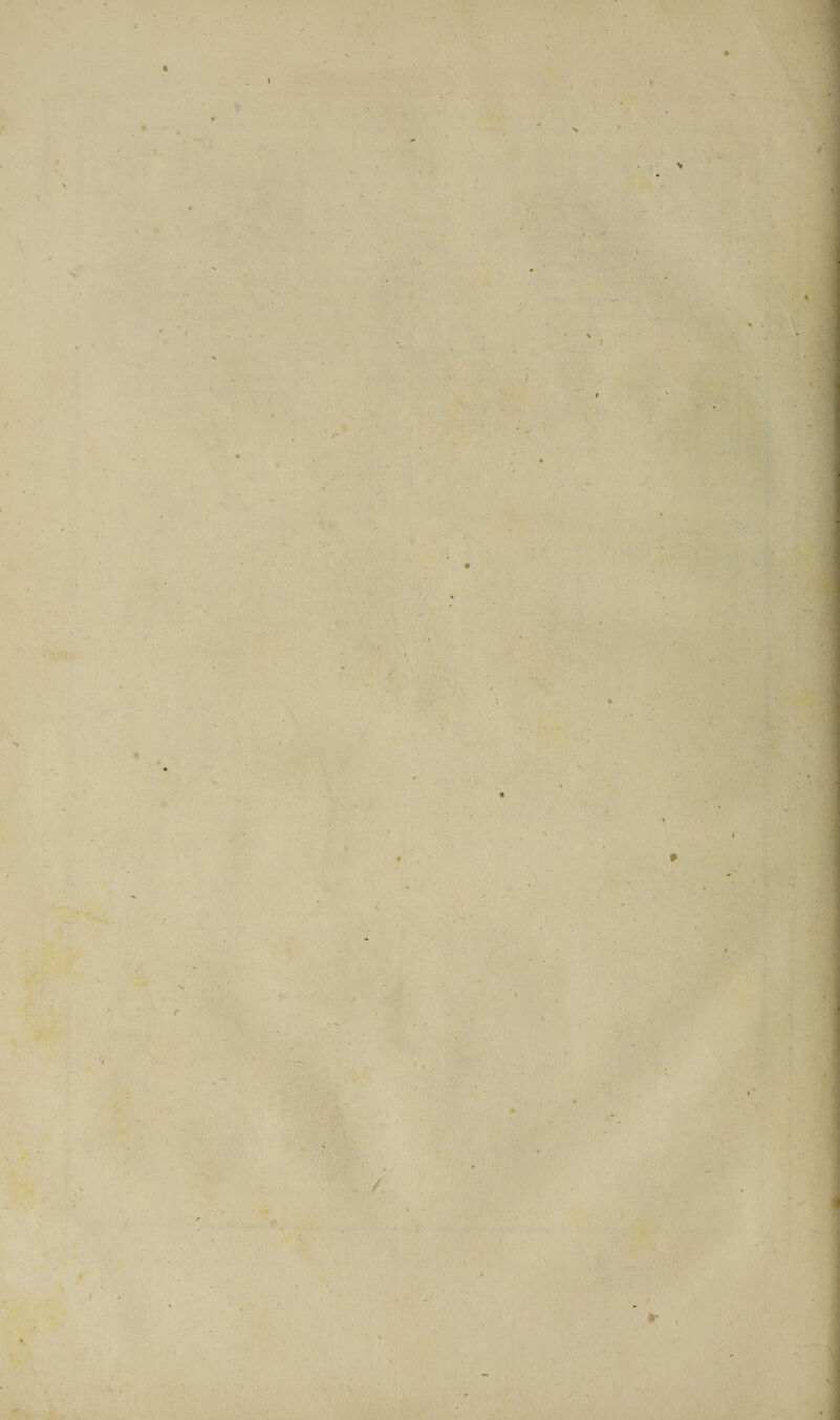 4 \ « \ N 4 •*> * > ft • V X ' r / * \ i *