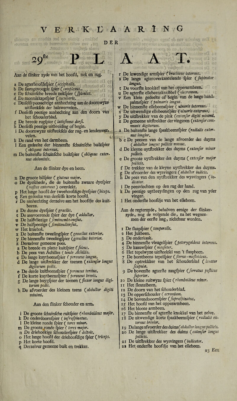 DER 07 b ob 29 fte P L A A 5 / t üvj |> f':- : - _ .. F » , . ^ T-jidïq ? n Aan de flinker zyde van het hoofd, nek en rug. a De agterhoofdsfpier (occipitalis. ,J‘ b De faaragevoegde fpier (complexus.. c De fchuinfche breede nekfpier (fplenius. d De monnikkapsfpier ( cucullaris. e Desfelfs peesachtige aanhechting aan de doomwyze uitfleekfels der hals wervelen, f Desfelfs peezige aanhechting aan den doorn van het fchouderblad. g De breede rugfpier (latisfmus dorji. h Desfelfs peezige uitbreiding of begin, i De doomwyze uitfleekfels der rug- en lenden wer¬ velen. , k De rand van het darmbeen. 1 Een gedeelte der binnenfle fchuinfche buikfpier ( obliquus internus. m De buitenfle fchuinfche buikfpier (obliquus exter- nus abdominis. Aan de flinker dye en been. n De groote bilfpier f gluteus major. o De dyefchede, die de buitenfle zwaare dyefpier ( vaftus externus) overdekt, p Het lange hoofd der tweehoofdige dyefpier (biceps. q Een gedeelte van desfelfs korte hoofd, r De aanhechting derzelve aan het hoofdje des kuit- beens. s De dunne dyefpier ( gracilis. t De aanvoerende fpier der dye f adduttor. u De halfvliezige (femimembranofus. v De halfpeezige (femitendimfus, w Het kniehol. x De buitenfle tweelingfpier (gemellus exterior. y De binnenfle tweelingfpier (gemellus interior. z Derzelver gemeene pees. a De breede en platte kuitfpier (foleus. b De pees van Achilles (tendo Achillis. c De lange kuytbeensfpier ( peroneus longus. d De lange uitflrekker der teenen (extenfor longus digitorwn pedis. e De derde kuitbeensfpier (peroneus tertius. f De korte kuytbeensfpier (peroneus brevis. g De lange buygfpier der teenen (flexor longus digi- lorum pedis. h De afvoerder des kleinen teens Qabduttor digiti minimU Aan den flinker fchouder en arm- i De groote fchuinfche ruitfpier (rhomboideus major. k De onderdoornfpier (infrafpinatus. 1 De kleine ronde fpier ( teres minor. m De groote ronde fpier (teres major. n De driehoekige fchouderfpier ( deltois. o Het lange hoofd der driehoofdige fpier (triceps. p Het korte hoofd, q Derzelver gemeene buik en trekker. r De inwendige armfpier (btachieus interims. s De lange agteroverkantelende fpier (fupinator longus. > . t De voorfle knokkel van het opperarmbeen. u De agterfle ellebeensknobbel (olecranum. v Een klein gedeelte of begin van de lange hand- palmsfpier ( palmaris longus. w De binnenfle ellebeensfpier ( ulnaris internus. x De uitwendige ellebeensfpier ( ulnaris externus. . y De uitflrekker van de pink (extenfor digiti minimi. z De gemeene uitflrekker der vingeren (extenfor com¬ munis digitorum- a De buitenfle lange fpaakbeensfpier (radialis exter¬ nus longior. b c De peezen van de lange afvoerder des duyms ( abductor longus pollicis manus. d Dekleyne uytflrekker des duyms (extenfor minor pollicis. e De groote uytflrekker des duyms (extenfor major pollicis. f De trekker van de kleyne uytflrekker des duyms. g De afvoerder des wysvingers (abdutlor indicis. h De pees van den uytflrekker des wysvingers (in¬ dicator. i De pees vlechten op den rug der hand. k De peezige uytbreydingen op den rug van yder vinger. 1 Het onderfle hoofdje van het ellebeen. Aan de regterzyde, behalven eenige der flinker- zyde, nog de volgende die, na het wegnee- men der eerfle laag, zichtbaar worden. 1 De flaapfpier (temporalis. 2 Het Jukbeen. 3 De onderkaak. 4 De binnenfle vleugelfpier (peterygoideus interims. 5 De kaauwfpier (masfeter. 6 Het tepelwyze uitfleekfel van ’t flaapbeen. 7 De borstbeens tepelfpier (Jterno - mafloideus. 8 De optrekkker van het fchouderblad (levator fcapula. 9 De bovenfle agterfle zaagfpier (ferratus poflicus fuperior. 10 De kleine ruitwyze fpier (rhomboideus minor. 11 Het fleutelbeen. 12 De doorn van het fchouderblad. 13 De opperfchouder ( acromium. 14 De bovendooornfpier (fuprafpinatus. 15 Het hoofd van het opperarmbeen. 16 Het bloote arm been. 17 De binnenfle of agterfle knokkel van het zelve. 18 De uitwendige korte fpaakbeensfpier (radialis ex¬ ternus brevior. 19 De lange afvoerder des duims(abductor longus pollicis. 20 De lange uitflrekker des duims (extenfor longus pollicis. 21 De uitflrekker des wysvingers (indicator. 22 Het onderfle hoofdje van het ellebeen. 23 Een