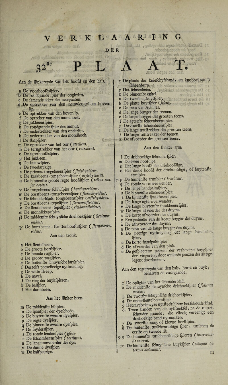 4 P DER L Aan de flinkerzyde van het hoofd en den hals. ♦CUl ( ' !''*• t f ■ ï t - *, r ' * a De voorhopfdsfpier. b De rondgaande fpier der oogleden, c De famendrukker der neusgaaten. d De optrekker van den neusvleugel en boven- . hp# e De optrekker van den bovenlip, f De optreker van den mondhoek, g De jukbeensfpier. h De rondgaande fpier des monds.. i De nedertrekker van den onderlip, k De nedertrekker van den mondhoek* 1 De flaapfpier. m De optrekker van het oor ( attollens. n De terugtrekker van het oor ( retrahens. o De agterhoofdsfpier. p Het jukbeen, q De kaauwfpier. r De tweebuykige. s De priems - tongebeensfpier (flylohyoideus, t De kaakbeens - tongebeensfpier ( mylohyoideus. u De binnenfte groote regte hoofdfpier ( rechts ma¬ jor capitis. v De tongebeens - fchildfpier ( hyothyreoideus. w De borstbeens - tongebeensfpier (fternohyoideus* x De fchouderblads-tongebeensfpier (cofiohyoideus. y De borstbeens tepelfpier (,fternomaftoideus. z De fleutelbeens-tepelfpier ( cleidomaftoideus. a De monnikkapsfpier. |S De middenfte fchuynfche driehoekfpier ( Scalems medius. y De borstbeens - ftrottenhoofdsfpier (Jlernothyre- oideus. Aan den tronk. a Het fteutelbeen. b De groote borftfpien c De breede rugfpier. d De groote zaagfpier. e De buitenfte fchuynfche buykfpiefi f Deszelfs peesvliezige uytbreiding* g De witte ftreep. h De navel. i De ring der buykfpieren* k De balfpier. 1 Het darmbeen. Aan het flinker been* m De middenfte bilfpier. n De fpanfpier der dyefchede. o De buytenfte zwaare dyefpier. p De regte dyefpier. q De binnenfte zwaare dyefpier. » r De fnydersfpier. s De ronde lendenfpier (pfoay t De fchaambeensfpier ( pectineus. u De lange aanvoerder der dye# v De dunne dyefpier. x De plaats der kniefchyfsband, en knobbel van ’t fcheenbeep. . , , y Het fcheenbeen. z De binnenfte enkel, a De tweeling-kuytfpier. b De platte kuytfpier ((jfoleus, c De pees van Achilles. d De lange buyger der teenen. e De lange buyger des grooten teéns. f De agterfte fcheenbeensfpier. g Devoorfte fcheenbeensfpier, h De lange uytftrekker des grooten teensi i De lange uitftrekker der teenen. k De af voerder des grooten teens. Aan den flinker arm* 1 De driehoekige fcbouderfpier. m De twee hoofdige, n Het lange hoofd der driehoofdige, o Het derde hoofd der driehoofdige ? of buytenfte armfpier. p.p De binnenfte armfpier (hrachieiis* q De ronde vooroverwender. r De lange bandpalmfpier,. s De binnenfte ellebeensfpier. t De binnenfte fpaakbeensfpier. u De lange agteroverwender. v De lange buytenfte fpaakbeensfpier. w De lange af voerder des duyms. x De korte af voerder des duyms. y Een gedeelte van de korte buyger des duyms. z De aanvoerder des duyms. a De pees van de lange buyger des duyms. ^ b De peezige uytbreyding der lange hancpalm- fpier. c De korte handpalmfpier^ d De af voerder van den pink. e De gefpleetene peezen der verhevene buyg-pier der vingeren 5 door welke de peezen der diepge • legene doorkomen. Aan den regterzyde van den hals, borst en buyk, behalven de voorgaande. 1 De oplister van het fchouderbM. 2 De middenfte fchuynfche driehoekfpier (fcalenüs medius. 3 De voorfte fchuynfche driehoekfpier. 4 De onderfleutelbeensfpier ^ Hetravebekswyzeuytfteekfelvan hetfchouderblad. 6. Twee banden van dit uytfteekfel, na de opper- fchouder gaande, die vliezig vereenigt een driehoekige band uytmaaken, 7 De voorfte zaag- of kleyne borftfpier. 8 De buitenfte tusfehenribbige fpier, tusfehen de eerfte en tweede rib. 9.9 De binnenfte tusfehenribbige fpieren (intercosta- lis lYiteTyii* 10 De binnenfte fchuynfche buykfpier (obliqms in. ter mts abdominis.