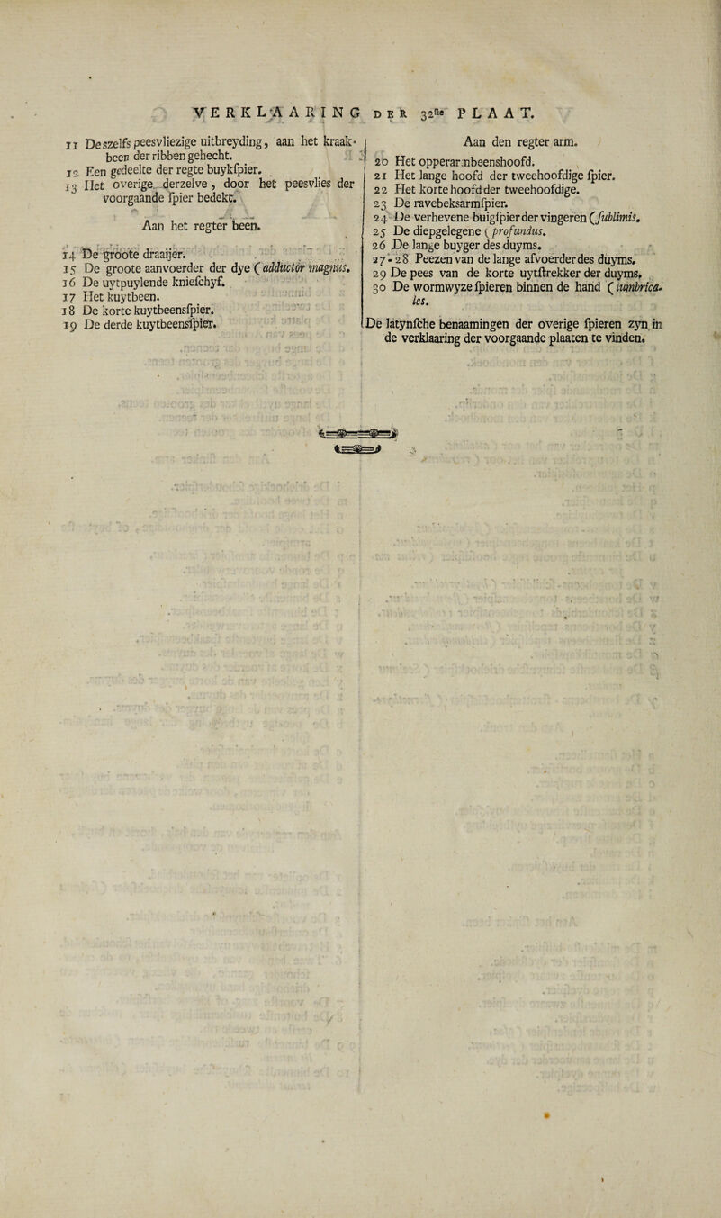 Deszelfspeesvliezige uitbreyding, aan het kraak* been der ribben gehecht. 12 Een gedeelte der regte buykfpier. 13 Het overige, derzeive, door het peesvlies der voorgaande fpier bedekt. Aan het regter been. t .. . - J y, , -y ^ * * f 14 De groote draaijer. 15 De groote aanvoerder der dye ( adductor mcignus. 16 De uytpuylende kniefchyf. 17 Het kuytbeen. 18 De korte kuytbeensfpier. 19 De derde kuytbeensfpier. ;iruv Aan den regter arm. 20 Het opperarmbeenshoofd. 21 Het lange hoofd der tweehoofdige fpier. 22 Het korte hoofd der tweehoofdige. 23 De ravebeksarmfpier. 24 De verhevene buigfpier der vingeren (fublimis. 25 De diepgelegene profundus. 26 De lange buyger des duyms. 27-28 Peezen van de lange afvoerderdes duyms. 29 De pees van de korte uytftrekker der duyms. 30 De wormwyze fpieren binnen de hand (iiimbrica. les. De latynfche benaamingen der overige fpieren zyn in de verklaaring der voorgaande plaaten te vinden.