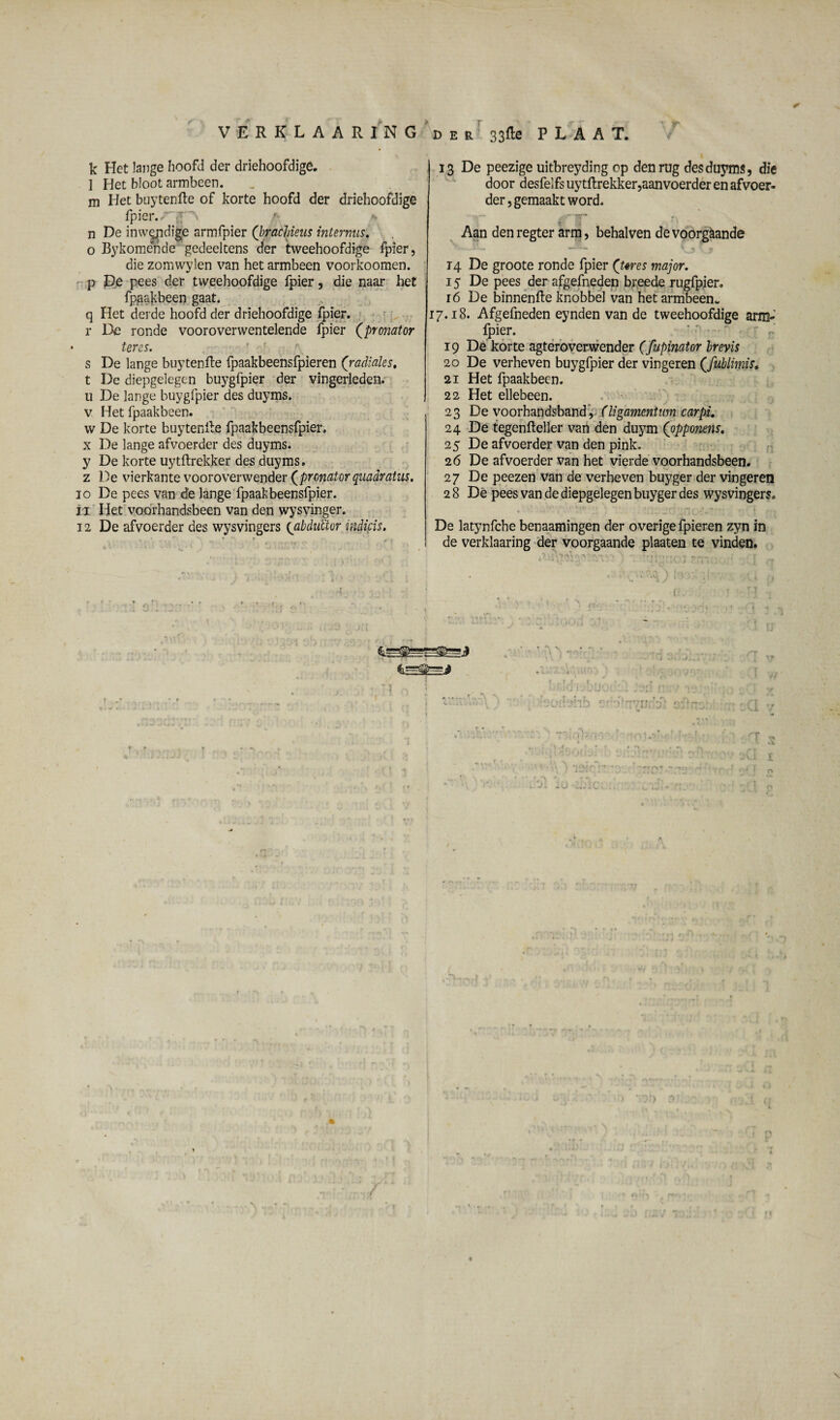 * VERKLAARING der 33fte PLAAT. k Het lange hoofd der driehoofdige. 1 Het bloot armbeen. m Het buytenfte of korte hoofd der driehoofdige fpier.£ -\ r- n De invvepdifee armfpier (brachieus internus. o Bykomende gedeeltens der tweehoofdige fpier, die zomwylen van het armbeen voorkoomen. p De pees der tweehoofdige fpier, die naar het fpgaRbeen gaat. q Het derde hoofd der driehoofdige fpier. r De ronde vooroverwentelende fpier (pronator teres. s De lange buytenfte {paakbeensfpieren (radiales, t De diepgelegen buygfpier der vingerleden, u De lange buygfpier des duyms. v Het fpaakbeen. w De korte buytenfte fpaakbeensfpier. x De lange afvoerder des duyms. y De korte uytftrekker des duyms. z De vierkante vooroverwender (pronator quadratus. io De pees van de lange fpaakbeensfpier. i i Het voorhandsbeen van den wysvinger. 12 De afvoerder des wysvingers {abdul'tor indicis. 13 De peezige uitbreyding cp den rug des duyms, die door desfelfs uytftrekker,aanvoerder en afvoer¬ der, gemaakt word. Aan denregter arm, behalven de voorgaande 14 De groote ronde fpier (’Ures major. 15 De pees der afgefneden breede rugfpier. 16 De binnenfte knobbel van het armbeen- 17.18. Afgefneden eynden van de tweehoofdige arm¬ fpier. 19 De korte agteroverwender (fupinator brevis 20 De verheven buygfpier der vingeren (fublimis. 21 Het fpaakbeen. 22 Het ellebeen. 23 De voorhandsband, (ligamentnm carpi. 24 De tegenfteller van den duym (opponens. 25 De afvoerder van den pink. 26 De afvoerder van het vierde voorhandsbeen. 27 De peezen van de verheven buyger der vingeren 2 8 Dé pees van de diepgelegen buyger des wysvingers. De latynfche benaamingen der overige fpieren zyn in de verklaaring der voorgaande plaaten te vinden. ■ -> ' ••. . n-