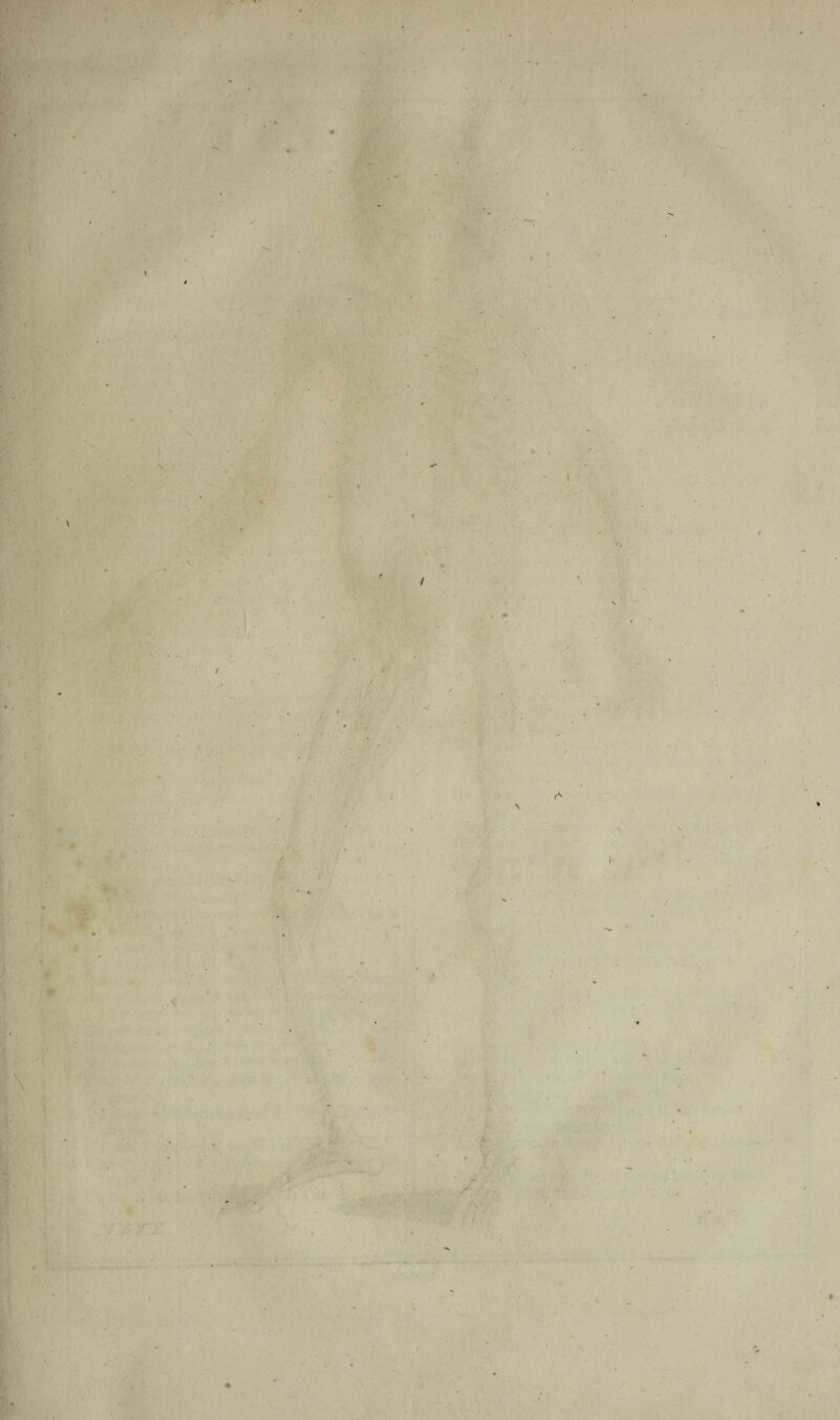 \ f . '■ v ' •• !* ' . / r< :\ : • ' /.