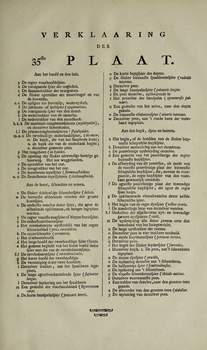 VERKLAARING L. , DER 35”e PLAAT. Aan bet hoofd en den bals. a De regter voorhoofdsfpier. b De rondgaande fpier der oogleden, c De faamendrukker der neusgaaten. d De flinker optrekker der neusvleugel en van de bovenlip. c. e De opligter der bovenlip, wederzydsch. f De jukbeens- of lachfpier ( zygomaticus. g De rondgaande fpier van den mond. h De nedertrekker van de onderlip, ï De nedertrekker van den mondhoek, k. k. k De maaltand. tongbeensfpieren (mylohyoidei), en derzelver famenkomst. 1.1 De priems*tongbeensfpieren (ftylohyoidei. m.n. o De tweebuikige onderkaaksfpier, (biventer, m De buyk, die van het flaapbeen komt; ra. de buyk die van de onderkaak begint; o. derzelver gemeene pees. p Het tongebeen ( os hyoides. q De opening der flinker uitwendige beenige ge. hoorweg. Het oor weggefneden. r De optrekker van het oor. s De terugtrekker van het oor. t De borstbeens tepelfpier (ftemomaftoideuSi U. u De fleutelbeens-tepelfpieren (cleidomaftoidei. Aan de borst, fchouders en armen. V De flinker driehoekige fchouderfpier (deltois. w De bovenfte afdaalende vezelen der groote borstfpier. x De onderfte vezelen dezer fpier, die agter de afdaalende opklimmen,en hooger ingeplant worden. y De regter voorfte zaagfpier of kleyne borstfpier. z De onderfleutelbeensfpier. a Het ravebekswyze uytfteekfel van het regter fchouderblad (proc• coracoidcus. b De opperfchouder (acromium. c Het armbeenshoofd. d Het lange hoofd der tweehoofdige fpier (biceps. e Het gemeen beginfel van het korte hoofd dezer fpier met dat van de ravebeksarmfpier. f.f De ravebeksarmfpier ( coracobrachialis. g Het korte hoofd der tweehoofdige, h De vereeniging dezer twee hoofden* i -Derzelver trekker, aan het fpaakbeen inge¬ plant. k De lange agteröverkantelende fpier (.fupinator longus. 1 Derzelver inplanting aan het fpaakbeen. m Een gedeelte der voorhandsband (ligamentum carpi. n De.korte handpalmfpier (palmaris brevis. \ o De korte buygfpier des duyms. p De flinker binnenfte fpaakbeensfpier (radialis interms. q Derzelver pees. r De lange handpalmfpier (palmaris longus. s De pees derzelve, uytloopende in t Het peesvlies der handpalm ( aponeurofis paU maris. u Een gedeelte van het zelve, naar den duym gaande. v De binnenfte ellebeensfpier (ulnaris intermU w Derzelver pees, aan ’t ronde been der voor¬ hand ingeplant. Aan den buyk, dyen en beenen. a Het begin > of de hoofden van de flinker buy- tenfte Ichuynfche buykfpier. b Derzelver aanhechting aan het darmbeen, c De peesviiezige uytbreyding derzelve. d Een gedeelte van het peesviiezige der regter buitenfte buykfpier. e De affneyding van dit peesvlies, als mede van de voorfte peesviiezige plaat der binnenfte fchuynfche buykfpier, die, nevens de voor* gaande, de regte buykfpier van den voor¬ kant gewoonlyk overdekt, f De agterfte peesviiezige plaat der inwendige fchuynfche buykfpier, die agter de regte fpier loopt. g De opklimmende vleeschvezelen dezer zelfde fchuynfche fpier. h Het begin van de regte dyefpier (reStus cruris. i De zonderlinge loop Van derzelver vezelen. k.1 Gedeelten der afgefnedene uyt- en inwendige zwaare dyefpieren (vasti. m De uytbreyding alle dezer peezen over den beursband van het kniegewricht. n De lange uytftrekker der teenen. o Derzelver pees in vier trekkers verdeeld, p De derde kuytbeensfpier (peroneus testius, q Derzelver pees. r Het begin der flinker fnyderfpier (fartorius. s Derzelver buyk. t. De pees, aan’t fcheenbeen ingeplant. u De dunne dyefpier (gracilis. v De inplanting derzelve aan ’t fcheenbeen. w De halfpeezige fpier (femitendinofus. x De inplanting aan ’t fcheenbeen. y De voorfte fcheenbeensfpier f tibialis anticus. z Derzelver voornaamfte pees. 1 Een trekker van dezelve, naar den grooten teen gaande. 2 De afvoerder van den grooten teen ([abduftor, 3 De inplanting van derzelver pees.