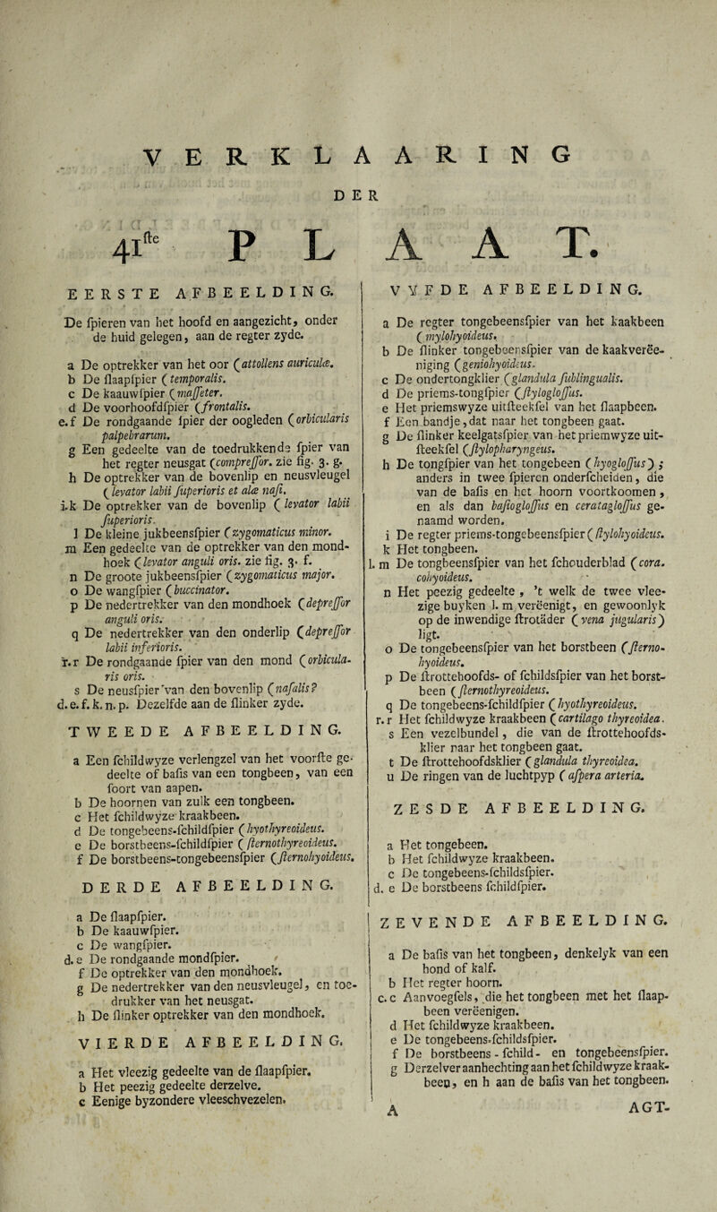DER 4I”‘ ■ P L EERSTE AFBEELDING. De fpieren van het hoofd en aangezicht, onder de huid gelegen, aan de regter zyde. a De optrekker van het oor (attollens auricula. b De flaapfpier (temporalis. c De kaauwlpier ('majfeter. d De voorhoofdfpier (frontalis. e.f De rondgaande Ipier der oogleden (orbicularis palpebrarum. g Een gedeelte van de toedrukkende fpier van het regter neusgat (comprejfor. zie fig- 3. g. h De optrekker van de bovenlip en neusvleugel levator labii fuperioris et ala nafe. ik De optrekker van de bovenlip ( levator labii fuperioris. ] De kleine jukbeensfpier (zygomaticus minor. m Een gedeelte van de optrekker van den mond¬ hoek (levator anguli oris. zie lig. 3. f. n De groote jukbeensfpier ( zygomaticus major. o De wangfpier (buccinator. p De nedertrekker van den mondhoek (depreffor anguli oris.- • t . q De nedertrekker van den onderlip (depreffor labii inferioris. T.r De rondgaande fpier van den mond (orbicula- ris oris. s De neusfpier'van den bovenlip (nafalis? d.e.f.k.n.p. Dezelfde aan de flinker zyde. TWEEDE AFBEELDING. a Een fchildwyze verlengzel van het voorfte ge¬ deelte of bafis van een tongbeen, van een foort van aapen. b De hoornen van zulk een tongbeen, c Het fchildwyze kraakbeen, d De tongebeens-fchildfpier (hyothyreoideus. e De borstbeens-fchildfpier ( (iernothyreoideus. f De borstbeens-tongebeensfpier (,fternohyoideus. DERDE AFBEELDING. 4 a De flaapfpier. b De kaauwfpier. c De wangfpier. d. e De rondgaande mondfpier. f De optrekker van den mondhoek, g De nedertrekker van den neusvleugel, en toe- drukker van het neusgat, h De flinker optrekker van den mondhoek. • ^ VIERDE AFBEELDING. a Het vleezig gedeelte van de flaapfpier. b Het peezig gedeelte derzelve. c Eenige byzondere vleeschvezelen. A A TV VU F D E AFBEELDING. I a De regter tongebeensfpier van het kaakbeen ( mylohyoideus. b De flinker tongebeensfpier van de kaakverëe- niging (geniohyoideus- c De ondertongklier (glandula fuhlingualis. d De priems-tongfpier C(lylogloffus. e Het priemswyze uitfteekfel van het flaapbeen. f Een bandje, dat naar het tongbeen gaat. g De flinker keelgatsfpier van hetpriemwyze uit- fteekfel (,ftylopharyngeus. h De tongfpier van het tongebeen ( hyogloffus) ,* anders in twee fpieren onderfcheiden, die van de bafis en het hoorn voortkoomen , en als dan bafioglojjus en ceratagloffus ge¬ naamd worden. i De regter priems-tongebeensfpier ( (lylohyoideus. k Het tongbeen. 1. m De tongbeensfpier van het fchouderblad (cora. cohyoideus. n Het peezig gedeelte , ’t welk de twee vlee- zige buyken 1. m verëenigt, en gewoonlyk op de inwendige flrotader ( vena jugularis') ligt. ’ ' o De tongebeensfpier van het borstbeen (fterno- hyoideus. p De ftrottehoofds- of fchildsfpier van het borst¬ been (/Iernothyreoideus. q De tongebeens-fchildfpier £ hyothyreoideus. r.r Het fchildwyze kraakbeen (cartilago tkyreoidea. s Een vezelbundel, die van de lirottehoofds- klier raar het tongbeen gaat. t De flrottehoofdsklier f glandula tkyreoidea. u De ringen van de luchtpyp ( afpera arteria. ZESDE AFBEELDING. a FT et tongebeen. b Het fchildwyze kraakbeen, c De tongebeens-fchildsfpier. d. e De borstbeens fchildfpier. 'ZEVENDE AFBEELDING. | a De bafis van het tongbeen, denkelyk van een hond of kalf. b Het regter hoorn. c.c Aanvoegfels, die het tongbeen met het flaap¬ been verëenigen. d Het fchildwyze kraakbeen, e De tongebeensTchildsfpier. f De borstbeens - fchild- en tongebeensfpier. g Derzelver aanhechting aan het fchildwyze kraak¬ been , en h aan de bafis van het tongbeen. 5 . A AGT-
