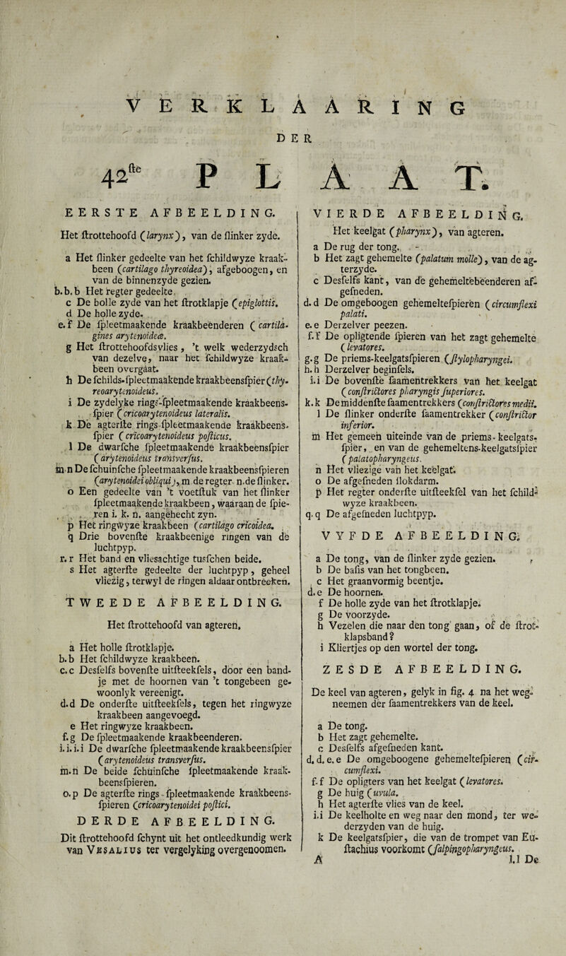 f DER EERSTE AFBEELDING. Het flrottehoofd (larynx), van de flinker zyde. a Het flinker gedeelte van het fchüdwyze kraak¬ been (cartilago thyreoidea'), afgeboogen, en van de binnenzyde gezien, b.b.b Het fegter gedeelte, , .. , c De bolle zyde van het flrotklapje fepiglottis. d De holle zyde. e. ï De fpleetmaakende kraakbeenderen ( cartila- gines arytenoidece. g Het flrottehoofdsvlies, ’t welk wederzydsch van dezelve, naar het fchüdwyze kraak¬ been overgèat. h De fchilds-fpleetmaakende kraakbeensfpier (thy. reoarytenoideus. i De zydelyke rings-fpleetmaakende kraakbeens¬ fpier {cncoarytenoideus lateralis. k De agterile rings fpleetmaakende kraakbeens- fpier f crïcoarytenoideus pofticus. 1 De dwarfche fpleetmaakende kraakbeensfpier ( arytenoideus iransverfus. m n De fchuinfcbe fpleetmaakende kraakbeensfpieren (arytenoideïobliquij) m de regter n.de flinker, o Een gedeelte van ’t voetftuk van het flinker fpleetmaakende kraakbeen, waaraan de fpie- , v . ren i. k. n. aangehecht zyn. p Het ringWyze kraakbeen (cartilago cricoidea. q Drie bovenfte kraakbeenige ringen van de luchtpyp. r. r Het band en vliesachtige tusfchen beide, s Het agterfle gedeelte der luchtpyp, geheel vliezig, terwyl de ringen aldaar ontbréeken. TWEEDE AFBEELDING. Het flrottehoofd van agteren. a Het holle flrotklapje. b. b Het fchüdwyze kraakbeen. , c. c Desfelfs bovenfle uitfleekfels, door een band¬ je met de hoornen van ’c tongebeen ge- woonlyk vereenigt. d. d De onderfle uitfleekfels, tegen het ringwyze kraakbeen aangevoegd, e Het ringwyze kraakbeen, f.g De fpleetmaakende kraakbeenderen, ii.i.i De dwarfche fpleetmaakende kraakbeensfpier (<arytenoideus transverfus. m.n De beide fchuinfche fpleetmaakende kraak¬ beensfpieren. o.p De agterfle rings • fpleetmaakende kraakbeens¬ fpieren Ccricoarytenoidei poftici. DERDE AFBEELDING. Dit flrottehoofd fchynt uit het ontleedkundig werk van V e § a l x u s ter vergelyking o vergenoomen. VIERDE AFBEELDING. Het keelgat (pharynxvan agteren. a De rug der tong., b Het zagt gehemelte (palatum molle'), van de ag- terzyde. c Desfelfs kant, van de gehemeltebeenderen af- gefneden. d. d Deomgeboogen gehemeltefpierën (circumflexi p alati. * e. e Derzelver peezen. f. f De opligtende fpieren van het zagt gehemelte (levatores. g. g De priems-keelgatsfpieren (flylopharyngei. h. h Derzelver beginfels. i.i De bovenflè faamentrekkers Van het keelgat (conftnctores pharyngis juperiores. k.k De middenfle faamentrekkers (conflriftoresmedii. 1 De flinker onderfle faamentrekker (conftriüor inferior. in Het gemeen uiteinde van de priems-keelgats- fpier, en van de gehemeltens-keelgatsfpier ( palatopharyngeus. n Het vliezige van het keelgat, o De afgefneden ilokdarm. p Het regter onderfle uitfleekfel van het fchild^ wyze kraakbeen, q. q De afgefneden luchtpyp. VYFDE afbeelding; a De tong, van de flinker zyde gezien. ? b De bafis van het tongbeen, c Het graanvormig beentje, d. e De hoornen. f De holle zyde van het flrotklapje* g De voorzyde. h Vezelen die naar den tong gaan, of de flrot- klapsband? i Kliertjes op den wortel der tong. ZESDE AFBEELDING. De keel van agteren, gelyk in fïg. 4 na het weg- neemen der faamentrekkers van de keel. a De tong. b Het zagt gehemelte, c Desfelfs afgefneden kant. d. d. e.e De omgeboogene gehemeltefpieren (cif- cumflexi. f.f De opligters van het keelgat (levatores. g De huig (uvula. r h Het agterfle vlies van de keel. i.i De keelholte en weg naar den mond, ter we- dcrzyden van de huig. k De keelgatsfpier, die van de trompet van Eu- flachms voorkomt (falpimopharyngeus. A 3.1 De