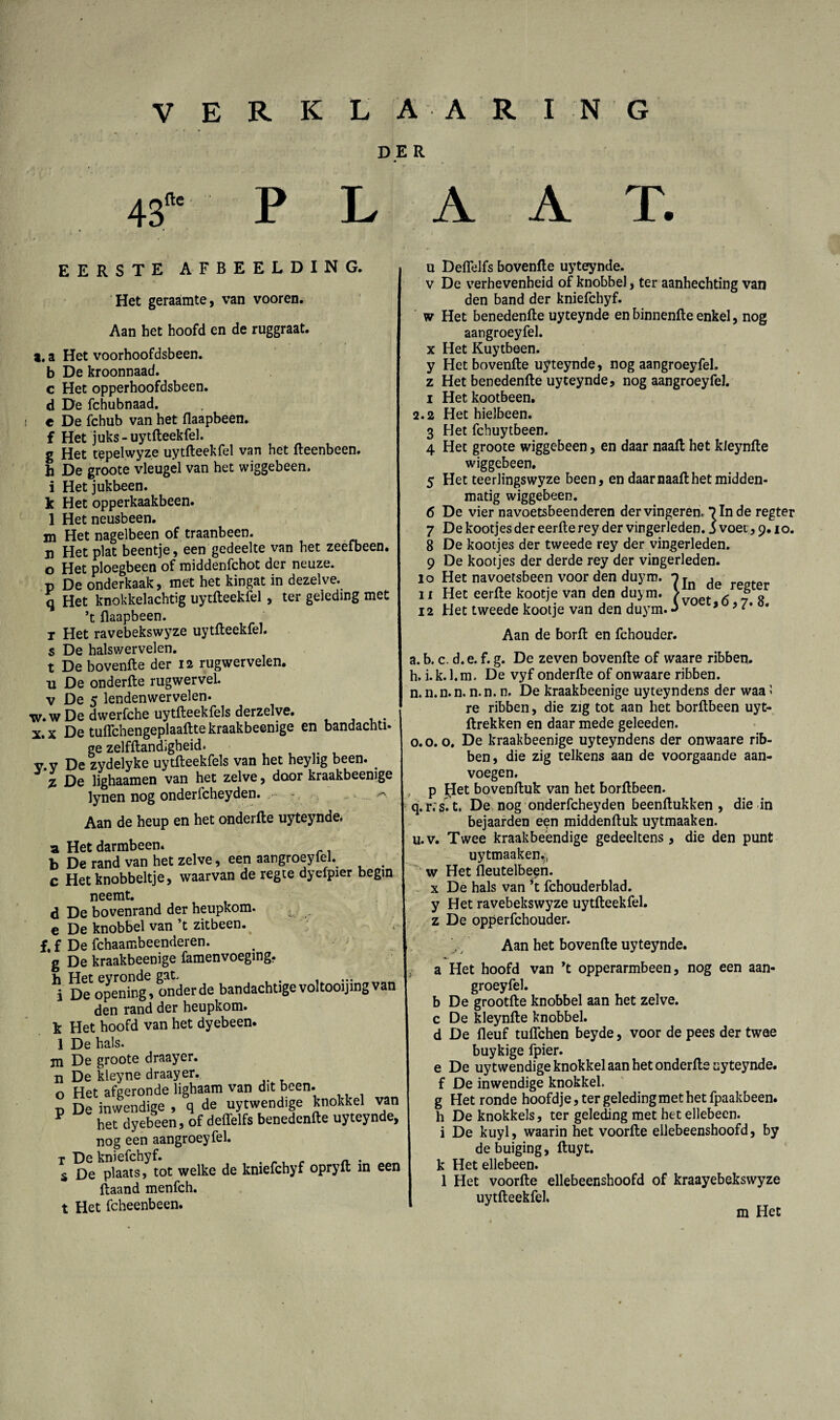 DER 4tf' PLAAT. EERSTE AFBEELDING. Het geraamte, van vooren. Aan het hoofd en de ruggraat. a. a Het voorhoofdsbeen, b De kroonnaad. c Het opperhoofdsbeen. d De fchubnaad. e De fchub van het flaapbeen. f Het juks-uytfteekfel. g Het tepelwyze uytfteekfel van het fteenbeen. h De groote vleugel van het wiggebeen. i Het jukbeen, k Het opperkaakbeen. 1 Het neusbeen, m Het nagelbeen of traanbeen, n Het plat beentje, een gedeelte van het zeefbeen. o Het ploegbeen of middenfchot der neuze. p De onderkaak, met het kingat in dezelve, q Het knokkelachtig uytfteekfel , ter geleding met ’t flaapbeen. t Het ravebekswyze uytfteekfel. s De halswervelen. t De bovenfte der 12 rugwervelen. Ti De onderfte rugwerveL v De 5 lendenwervelen. w. w De dwerfche uytfteekfels derzelye. .... x. x De tuffchengeplaaftte kraakbeenige en bandacnti. ge zelfftandigbeid. v.y De zydelyke uytfteekfels van het heylig been. _ Z De lighaamen van het zelve, door kraakbeenige lynen nog onderfcheyden. - . Aan de heup en het onderfte uyteynde. a. Het darmbeen. b De rand van het zelve, een aangroeyfel. . c Het knobbeltje, waarvan de regte dyefpier begin neemt. d De bovenrand der heupkom. , e De knobbel van ’t zitbeen. f. f De fchaambeenderen. g De kraakbeenige famenvoeging. hj De opening6, onder de bandachtige voltooijing van den rand der heupkom. k Het hoofd van het dyebeen. 1 De hals. Ti De groote draayer. n De kleyne draayer. o Het afgeronde lighaam van dit been. p De inwendige , q de uytwendige knokkel van V het dyebeen, of deffelfs benedenfte uyteynde, nog een aangroeyfel. r De kniefchyf. . „, _ - . s De plaats, tot welke de kniefchyf opryft in een ftaand menfch. t Het fcheenbeen. u Deffelfs bovenfte uyteynde. v De verhevenheid of knobbel, ter aanhechting van den band der kniefchyf. w Het benedenfte uyteynde enbinnenfte enkel, nog aangroeyfel. x Het Kuytbeen. y Het bovenfte uyteynde, nog aangroeyfel. z Het benedenfte uyteynde, nog aangroeyfel. i Hetkootbeen. 2.2 Het hielbeen. 3 Het fchuytbeen. 4 Het groote wiggebeen, en daar naaft het kleynfte wiggebeen. 5 Het teerlingswyze been, en daar naaft het midden* matig wiggebeen. 6 De vier navoetsbeenderen der vingeren. *? In de regter 7 De kootjes der eerfte rey der vingerleden. $ voet, 9.10. 8 De kootjes der tweede rey der vingerleden. 9 De kootjes der derde rey der vingerleden. 10 Het navoetsbeen voor den duym. , rpof.pr ix Het eerfte kootje van den duym. > f 12 Het tweede kootje van den duym. J 9 • Aan de borft en fchouder. a. b. c. d.e. f. g. De zeven bovenfte of waare ribben, h. i.k.l.m. De vyf onderfte of onwaare ribben, n. n.n.n. n.n. n. De kraakbeenige uyteyndens der waa 1 re ribben, die zig tot aan het borftbeen uyt- ftrekken en daar mede geleeden. 0.0.0. De kraakbeenige uyteyndens der onwaare rib¬ ben, die zig telkens aan de voorgaande aan¬ voegen. p pet bovenftuk van het borftbeen. q. rrs. t. De nog onderfcheyden beenftukken , die in bejaarden een middenftuk uytmaaken. u.v. Twee kraakbeendige gedeeltens , die den punt uytmaaken.- w Het fleutelbeen. x De hals van ’t fchouderblad. y Het ravebekswyze uytfteekfel. z De opperfchouder. Aan het bovenfte uyteynde. a Het hoofd van ’t opperarmbeen, nog een aan¬ groeyfel. b De grootfte knobbel aan het zelve, c De kleynfte knobbel. d De fleuf tuffchen beyde, voor de pees der twee buykige fpier. e De uytwendige knokkel aan het onderfte uyteynde. f De inwendige knokkel. g Het ronde hoofdje, ter geleding met het fpaakbeen. h De knokkels, ter geleding met het ellebeen. i De kuyl, waarin het voorfte ellebeenshoofd, by de buiging, ftuyt. k Het ellebeen. 1 Het voorfte ellebeenshoofd of kraayebekswyze uytfteekfel.