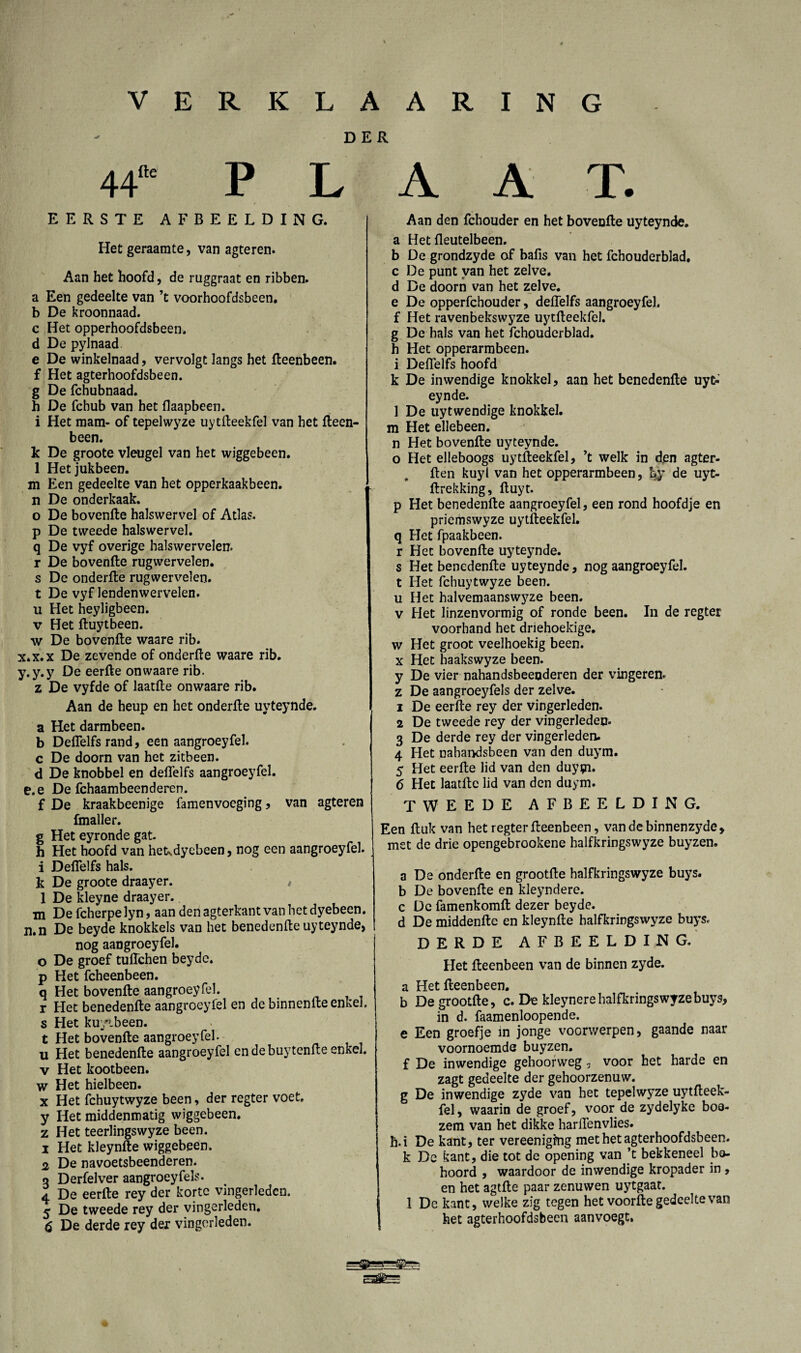 DER P L A A T. 44”' EERSTE AFBEELDING. Het geraamte, van agteren. Aan het hoofd, de ruggraat en ribben. a Een gedeelte van ’t voorhoofdsbeen, b De kroonnaad. c Het opperhoofdsbeen. d De pylnaad e De winkelnaad, vervolgt langs het fteenbeen. f Het agterhoofdsbeen. g De fchubnaad. h De fchub van het flaapbeen. i Het mam- of tepelwyze uytfteekfel van het Reen¬ been. k De groote vleugel van het wiggebeen. 1 Het jukbeen. m Een gedeelte van het opperkaakbeen. n De onderkaak. o De bovenfte halswervel of Atlas, p De tweede halswervel, q De vyf overige halswervelen. r De bovenfte rugwervelen. s De onderfte rugwervelen. t De vyf lendenwervelen, u Het heyligbeen. v Het ftuytbeen. w De bovenfte waare rib. x. x.x De zevende of onderfte waare rib. y. y.y De eerfte on waare rib. z De vyfde of laatfte onwaare rib. Aan de heup en het onderfte uyteynde. a Het darmbeen, b Deffelfs rand, een aangroeyfel. c De doorn van het zitbeen. d De knobbel en deffelfs aangroeyfel. e.e De fchaambeenderen. f De kraakbeenige famenvoeging, van agteren fmaller. g Het eyronde gat. h Het hoofd van hetvdyebeen, nog een aangroeyfel. i Deffelfs hals. k De groote draayer. # 1 De kleyne draayer. m De fcherpe lyn, aan den agterkant van het dyebeen. n.n De beyde knokkels van het benedenfte uyteynde, nog aangroeyfel. o De groef tuffchen beyde. p Het fcheenbeen. q Het bovenfte aangroeyfel. r Het benedenfte aangroeyfel en de binnenfte enkel, s Het ku/ibeen. t Het bovenfte aangroeyfel. u Het benedenfte aangroeyfel endebuytenfteenkel. v Het kootbeen. w Het hielbeen. x Het fchuytwyze been, der regter voet. y Het middenmatig wiggebeen. z Het teerlingswyze been. 1 Het kleynfte wiggebeen. 2 De navoetsbeenderen. o Derfelver aangroeyfels. a De eerfte rey der korte vingerleden. 5 De tweede rey der vingerleden. 6 De derde rey der vingerleden. Aan den fchouder en het bovenfte uyteynde. a Het fleutelbeen. b De grondzyde of bafis van het fchouderblad. c De punt van het zelve, d De doorn van het zelve, e De opperfchouder, deffelfs aangroeyfel. f Het ravenbekswyze uytfteekfel. g De hals van het fchouderblad. h Het opperarmbeen. i Deffelfs hoofd k De inwendige knokkel, aan het benedenfte uyt¬ eynde. 1 De uytwendige knokkel, m Het ellebeen. n Het bovenfte uyteynde. o Het elleboogs uytfteekfel, ’t welk in den agter- ften kuyl van het opperarmbeen, by de uyt- ftrekking, ftuyt. p Het benedenfte aangroeyfel, een rond hoofdje en priemswyze uytfteekfel. q Het fpaakbeen. r Het bovenfte uyteynde. s Het benedenfte uyteynde, nog aangroeyfel. t Het fchuytwyze been. u Het halvemaanswyze been. v Het linzenvormig of ronde been. In de regter voorhand het driehoekige, w Het groot veelhoekig been. x Het haakswyze been. y De vier nahandsbeeoderen der vingeren, z De aangroeyfels der zelve. 1 De eerfte rey der vingerleden. 2 De tweede rey der vingerleden- 3 De derde rey der vingerleden. 4 Het nahandsbeen van den duym. 5 Het eerfte lid van den duypi. 6 Het laatfte lid van den duym. TWEEDE AFBEELDING. Een ft uk van het regter fteenbeen, vandebinnenzyde, met de drie opengebrookene halfkringswyze buyzen. a De onderfte en grootfte halfkringswyze buys. b De bovenfte en kleyndere. c De famenkomft dezer beyde. d De middenfte en kleynfte halfkringswyze buys. DERDE AFBEELDING. Het fteenbeen van de binnen zyde. a Het fteenbeen. b De grootfte, c. De kleynere halfkringswyze buys, in d. faamenloopende. e Een groefje in jonge voorwerpen, gaande naar voornoemde buyzen. f De inwendige gehoorweg, voor het harde en zagt gedeelte der gehoorzenuw, g De inwendige zyde van het tepelwyze uytfteek¬ fel, waarin de groef, voor de zydelyke boe¬ zem van het dikke harffenvlies. h.i De kant, ter vereenigfng met het agterhoofdsbeen. k Dc kant, die tot de opening van ’t bekkeneel be¬ hoord , waardoor de inwendige kropader in , en het agtfte paar zenuwen uytgaat. 1 De kant, welke zig tegen het voorfte gedeelte van het agterhoofdsbeen aanvoegt, f—