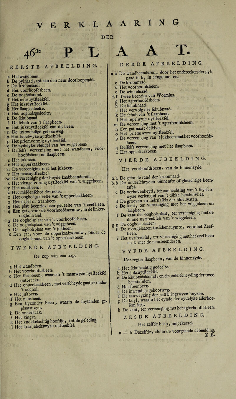 DER 4 6fte P L A A T. EEPvSTE AFBEELDING, a Hetwandbeen. b De pylnaad, tot aan den neus doorloopende» c De kroonnaad. d Het voorhoofdsbeen, e De oogholsrand. f Het neusuytfteekfel. g Het juksuytfteekfel. h Het flaapgedeelte. i Het oogholsgedeelte. k De fchubnaad 1 De fchub van ’t flaapbeen. m Het juksuytfteekfel van dit been. n De uytwendige gehoorweg. o Het tepelwyze uytfteekfel. p Het priemvormig uytfteekfel. q De zydelyke vleugel van het wiggebeen. r Deftelfs vereeniging met het wandbeen, voor¬ hoofdsbeen en flaapbeen. s Het jukbeen. . t Het opperkaakbeen. u De vereeniging met het jukbeen, v Het neusuytfteekiel. w De vereeniging der beyde kaakbeenderen, x Het vleugelvormig uytfteekfel van t wiggebeen. y Het neusbeen, z Het middenfchot des neus. 1 Het oogholsgedeelte van ’t opperkaakbeen. 2 Het nagel of traanbeen. 3 Het plat beentje, een gedeelte van C zeef been. 4 Een gat, voor de voorhoofdszenuw , in de linker- oogholsrand. 5 De oogholsplaat van ’t voorhoofdsbeen. 6 De oogholsplaat van ’t wiggebeen. 7 De oogholsplaat van’t jukbeen. 8 Een gat, voor de opperkaakszenuw, onder de oogholsrand van ’t opperkaakbeen. tweede afbeelding. De kop van ecu aap. a Het wandbeert. b Het voorhoofdsbeen. c Het flaapbeen, waaraan t mamwyzeuytfteekfel d Het opperkaakbeen, met verfcheyde gaatjes onder ’t ooghol. e Het jukbeen. f Het neusbeen. . . r t , g Een byzonder been , waarin de fnytanden g plaatst zyn. h De onderkaak. i Het kingat. . ' , k Het knokkelachtig hoofdje, tot de geleding. 1 Het kraaijebekswyze uitfteekfeh derde afbeelding. a a De wandbeenderen, door het ontbreeken der pyl¬ naad in b, in ééngefmolten. c De kroonnaad. d Het voorhoofdsbeen, e De winkelnaad. f. f Twee beentjes van Wormius. g Het agterhoofdsbeen. h De fchubnaad. i Het vervolg der fchubnaad. k De fchub van ’t flaapbeen. 1 Het tepelwyfè uytfteekfel. m De vereeniging met ’t agterhoofdsbeen. n Een gat naast defelve. o Het priemswyze uytfteekfel. p De vereeniging van ’t jukbeen met het voorhoofds¬ been. q Defleïfs vereeniging met het flaapbeen. r Het opperkaakbeen. VIERDE AFBEELDING. Het voorhoofdsbeen, van de binnenz} de. a/a De getande rand der kroonnaad. b. b De onderfcheyden binnenfte of glasachtige been- c De verhevenheyd, ter aanhechting van t feysfen- wyze verlengfel van ’t dikke hersfenvhes. d De groeven en indrukfels der bloedvaten, e De kant, ter vereeniging met het wiggebeen en f Detot der oogholsplaat, ter vereeniging metde dunne uytfteekfels van t wiggebeen. g. ff De oogholsplaaten. . rr g h De overgelaaten tusfchenruymte, voor het Zeef- i Hetuy tfteekfel, ter vereeniging met het zeef been en k met de neusbeenderen. VYFDE AFBEELDING. Fet regter flaapbeen, van de binnenzyde- a Het fchubachtig gedeelte, b Het iuksüy tfteekfel. c De fchubnaadsrand, en de onderfcheydmg der twee beentafelen. d Hetfteenbeèn. e De inwendige gehoorweg. _ f De aanweyzing der halfkringswyze buyzen. ff De kuyl, waarin het eynde der zydelyke aderboe- h De kant, ter vereenigingmct het agterhoofdsbeen. ZESDE AFBEELDING. Het zelfde been, omgekeerd. a — h Dezelfde, als in de voorgaande afbeelding. L E-