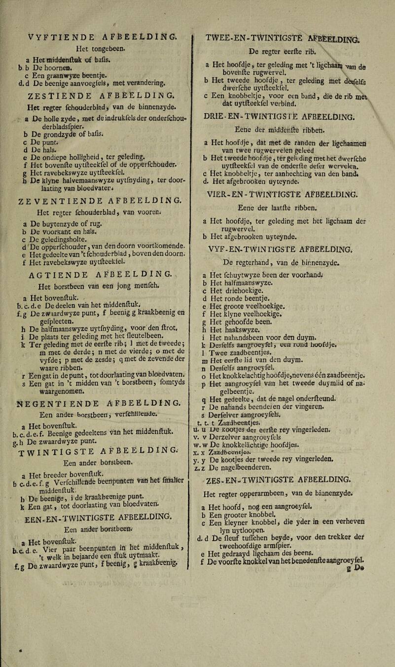 vyftiende afbeelding. Het tongebeen. a Het middenstuk of bafis. b. b De hoornen. c Een graanwyze beentje, d.d De beenige aanvoegleis, met verandering. ZESTIENDE AFBEELDING. Het regter fchouderbkd, van de binnenzyde. a De holle zyde, met deindrukfelsder onderfchou- derbladsfpier. b De grondzyde of bafis. c De punt; d De hals. e De ondiepe holligheid, ter geleding, f Het bovenfte uytfteekfel öf de opperfchouder. g Het ravebekswyze uytfteekfel. h Deklyne halvemaanswyze uytfnyding, ter door- laatihg van bloedvaten; ZEVENTIENDE AFBEELDING. Het regter fchouderblad * van vooren. a De buytenzyde of rug. b De voorkant en hals. c De geledingsholte. d De opperfchouder, van den doorn voortkomende, e Het gedeelte van ’t fchouderbiad, boven den doorn, f Het ravebekswyze uytfteekfel. AGTIENDE AFBEELDING. Het borstbeen van een jong menfch. a Het bovenftuk. . b. c. d.e De deelen van het middenftuk. f.g De zwaardwyze punt, f beenig g kraakbeenig en gefpleeten. h De halfmaansvvyze uytfnyding, voor den ftrot. i De plaats ter geleding met het fleutelbeen. k Ter geleding met de eerfte rib; 1 met de tweede; m met de derde; n met de vierde; o met de vyfde; p met de zesde; q met de zevende der waare ribben. r Een gat in de punt, tot doorlating van bloedvaten, s Een gat in ’t midden van ’t borstbeen, fomtyds waargenomen. NEGENTIENDE AFBEELDING. Een ander borstbeen, verfchiliende. a Het bovenftuk. b.c. d.e.f. Beenige gedeeltens van het middenftuk. g. h De zwaardwyze punt. TWINTIGSTE AFBEELDING. Een ander borstbeen. a Het breeder bovenftuk. . _ u b c.d.e. f. g Verfchiliende beenfmftten van het fmafler middenftuk. h De beenige , i de kröakbeenige punt. k Een gat, tot doorlaating van bloedvaten. EEN-EN-TWINTIGSTE AFBEELDING. Een ander borstbeen. a Het bovenftuk. t . ... a . b.c.d e. Vier paar beenpunten in bet middenituk, ’t welk in bejaarde een ftuk uytmaakt. f.g De zwaardwyze punt, f beenig, § kraakbeenig. TWEE-EN-TWINTIGSTE AFBEELDING. De regter eerfte rib. a Het hoofdje, ter geleding met ’t ligchaam van de bovenfte rugwervel. b Het tweede hoofdje , ter geleding met déifelfs dwerfche uytfteekfel. c Een knobbeltje, voor een band, die de rib met dat uytfteekfel verbind. DRIE-EN-TWINTIGSTE AFBEELDING. Eene der middenfire ribben. a Het hoofdje, dat met de randen der ligchaamen van twee rugwerveien geleed b Het tweede hoofdje, ter geleding met het dwerfche uytfteekfel van de onderfte defer wervelen, c Het knobbeltje, ter aanhechting van den band. d. Het afgebrooken uyteynde. VIER-EN-TWINTIGSTE AFBEELDING. Eene der laatfte ribben. a Het hoofdje, ter geleding met het ligchaam der rugwervel. b Het afgebrooken uyteynde. VYF-EN-TWINTIGSTE AFBEELDING. De regterhand, van de binnenzyde. a Het fchuytwj^ze been der voorhand* b Het halfmaanswyze. c Het driehoekige, d Het ronde beentje, e Het groote veelhoekige, f Het klyne veelhoekige, g Het gehoofde been. h Het haakswyze. i Het nahandsbeen voor den duym. k Desfelfs aangroeyfel, een rond hoofdje. 1 Twee zaadbeentjes. m Het eerfte lid van den duym. n Desfelfs aangroeyfel. o Het knokkelachtig hoofdje,nevens één zaadbeentje. p Het aangroeyfel van het tweede duymiid of na» gelbeentje. q Het gedeelte, dat de nagel onderfteund. r De nahands beenderen der vingeren, s Derfëlver aangroeyfels. t. t. t Zaadbeentjes. u. u uq Kootjes der eerfte rey vingerleden. v. v Derzelver aangroeyfels w. w De knokkelachtige hoofdjes. X. X Zaadbccnejco. y. y De kootjes der tweede rey vingerleden. z. z De nagelbeenderen. ZES - EN - TWINTIGSTE AFBEELDING. Het regter opperarmbeen, van de bianenzyde. * a Het hoofd, nog een aangroeyfel. b Een grooter knobbel, e Een kleyner knobbel, die yder in een verheven lyn uytloopen. d. d De fleuf tuflchen beyde, voor den trekker der tweehoofdige armfpier. e Het gedraayd ligchaam des beens. f De voorfte knokkel van het benedenfte aangroeyfel. g De