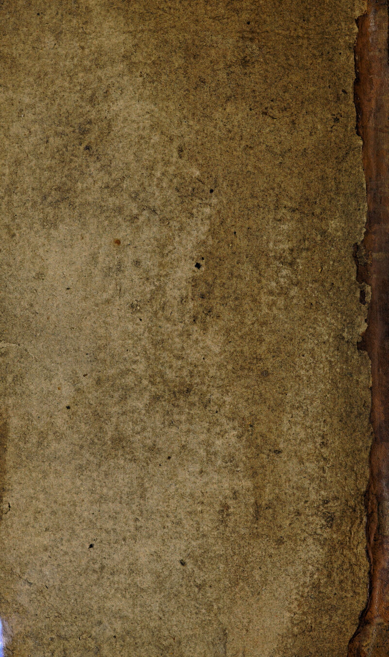 WÈÈÈ MBié: ■ «3» v. 1 'ïV •!'.*. WM